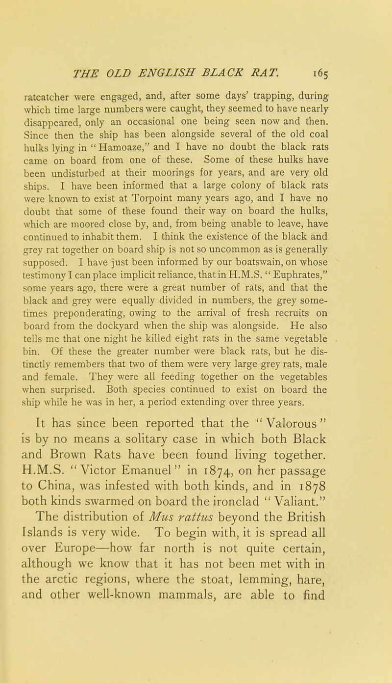 ratcatcher were engaged, and, after some days' trapping, during which time large numbers were caught, they seemed to have nearly disappeared, only an occasional one being seen now and then. Since then the ship has been alongside several of the old coal hulks lying in  Hamoaze, and I have no doubt the black rats came on board from one of these. Some of these hulks have been undisturbed at their moorings for years, and are very old ships. I have been informed that a large colony of black rats were known to exist at Torpoint many years ago, and I have no doubt that some of these found their way on board the hulks, which are moored close by, and, from being unable to leave, have continued to inhabit them. I think the existence of the black and grey rat together on board ship is not so uncommon as is generally supposed. I have just been informed by our boatswain, on whose testimony I can place implicit reliance, that in H.M.S.  Euphrates, some years ago, there were a great number of rats, and that the black and grey were equally divided in numbers, the grey some- times preponderating, owing to the arrival of fresh recruits on board from the dockyard when the ship was alongside. He also tells me that one night he killed eight rats in the same vegetable bin. Of these the greater number were black rats, but he dis- tinctly remembers that two of them were very large grey rats, male and female. They were all feeding together on the vegetables when surprised. Both species continued to exist on board the ship while he was in her, a period extending over three years. It has since been reported that the  Valorous  is by no means a solitary case in which both Black and Brown Rats have been found living together. H.M.S. Victor Emanuel in 1874, on her passage to China, was infested with both kinds, and in 1878 both kinds swarmed on board the ironclad  Valiant. The distribution of Mus rattus beyond the British Islands is very wide. To begin with, it is spread all over Europe—how far north is not quite certain, although we know that it has not been met with in the arctic regions, where the stoat, lemming, hare, and other well-known mammals, are able to find