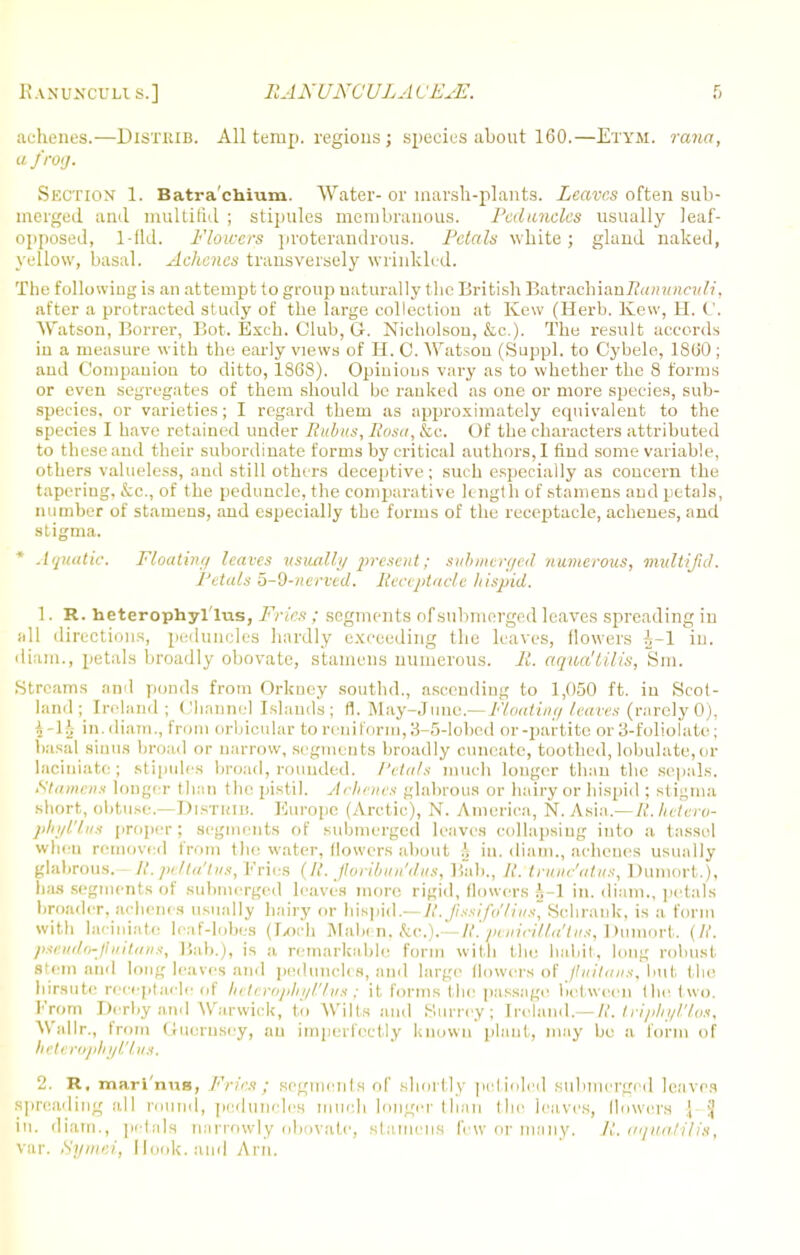 achenes.—DlSTRlB. All temp, regions j species about 160.—Etym. rana, a frog. Section 1. Batra'chium. Water- or marsh-plants. Leaves often sub- merged and multifid ; stipules membranous. Peduncles usually leaf- opposed, 1-fld. Flowers proterandrous. Petals white; gland naked, yellow, basal. Achenes transversely wrinkled. The following is an attempt to group naturally the British Batrachianifanuncttft, after a protracted study of the large collection at Kew (Herb. Kew, H. C. Watson, Borrer, Bot. Exch. Club, G. Nicholson, &c.). The result accords in a measure with the early views of H. C. Watson (Suppl. to Cybele, 1800 ; and Companion to ditto, 1808). Opinions vary as to whether the 8 forms or even segregates of them should be ranked as one or more species, sub- species, or varieties; I regard them as approximately equivalent to the species I have retained under Rubies, Rosa, &c. Of the characters attributed to these and their subordinate forms by critical authors, I find some variable, others valueless, anil still others eleceptive; such especially as concern the tapering, &c., of the peduncle, the comparative length of stamens and petals, number of stamens, and especially the forms of the receptacle, achenes, and stigma. * Aquatic. Floatin;/ leaves usually present; submerged numerous, multifid. Petals 5-9-nerved. Receptacle hispid. 1. R. heterophyi'lus, Fries ; segments of submerged leaves spreading in all directions, peduncles hardly exceeding the leaves, flowers £-1 in. diam., petals broadly obovate, stamens numerous. 11. aqua'tilis, Sin. Streams and ponds from Orkney southd., ascending to 1,050 ft. in Scot- land; Ireland; Channel Islands; 0. May-June.—Floating leaves (rarely 0), 4-1^ in. diam., from orbicular to reniforin, 3-5-lobed or-partite or 3-foliolato; basal sinus broad or narrow, segments broadly cuncatc, toothed, tabulate,Or laciniate ; stipules broad, rounded. Petals much longer than the sepals. Stamens longer than the pistil. Achenes glabrous or hairy or hispid ; stigma short, obtuse.—DiSTBiB. Europe (Arctic), N. America, N. Asia.—R.hetero- phyl'lus proper; segments of submerged leaves collapsing into a tassel when removed from the water, flowers about h in. diam., achenes usually glabrous. It. pdta'tus, Fries (It. jloribun'dus, Bab., It. trunt/atus, Dumort.), has segments of submerged leaves more rigid, flowers h-i in. diam., petals broader, achenes usually hairy or hispid.—B. ftssifeflivs Sehrank, is a form with laciniate leaf-lobes (Loch Maben, &c.).—R. veiiicilla'tiis, Dumort. (It. pseudo-fuitans, Bab.), is a remarkable form with the habit, long robust stem and long leaves and peduncles, ami large flowers of fuitans, but the hirsute receptacle of heterophyt'lus : it forms the passage between the two. From Derby and Warwick, to Wilts and Surrey; [reland.—R. triphyl'los, Wallr., from Guernsey, an imperfectly known plant, may be a form of hrttniphyl'liis, 2. R, mari'nus, Fries; segments of shortly petioleil submerged leaves spreading a.lI round, peduncles much longer tlinn the leaves, Mowers ] jj iii. diam., petals narrowly obovate, stamens lew or many. It. aquatilis, var. Symei, Hook, and Arn.