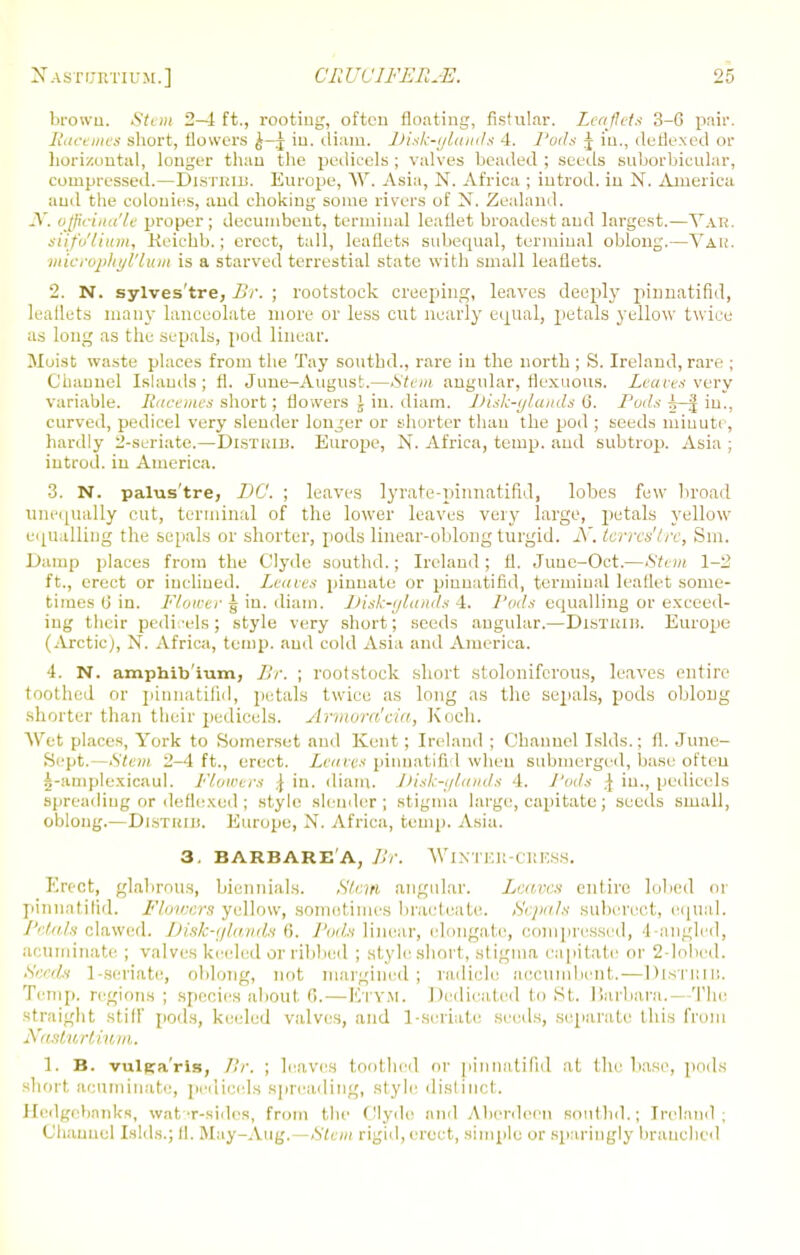 brown. Stent 2-4 ft., rooting, often floating, fistular. Leaflets 3-6 pair. Raa mes short, flowers £-j in. diam. Disk-ylands 4. Pods j in., cleflexed or horizontal, longer than the pedicels ; valves headed ; seeds suborbicular, compressed.—DlSTHlB. Europe, W. Asia, N. Africa ; iutrod. in N. America aud the colonies, and choking some rivers of N. Zealand. J\. officinale proper; decumbent, terminal leaflet broadest and largest.—Yar. siifo'lium, Ki'ichb.; erect, tall, leaflets subequal, terminal oblong.—Yak. niicrophyl'lum is a starved terrestial state with small leaflets. 2. N. sylves'tre, Br. ; rootstock creeping, leaves deeply pinuatifid, Irallets many lanceolate more or less cut nearly equal, petals yellow twice as long as the sepals, pod linear. Moist waste places from the Tay southd., rare in the north ; S. Ireland, rare ; Channel Islands; fl. June-August.—Stem angular, liexuous. Leaves wavy variable. Racemes short; flowers J in. diam. Disk-ylands (3. Puds ^—^ in., curved, pedicel very slender longer or shorter than the pod ; seeds minute, hardly 2-seriate.—Distuib. Europe, N. Africa, temp, and subtrop. Asia ; iutrod. in America. •3. N. palus'tre, DC. ; leaves lyrate-pinnatifid, lobes few broad unequally cut, terminal of the lower leaves very large, petals yellow- equalling the sepals or shorter, pods linear-oblong turgid. X.tcrrcs'lrc, Sin. Damp places from the Clyde southd.; Ireland ; fl. Juue-Oct.—Stem 1-2 ft., erect or inclined. Lea res pinnate or pinuatifid, terminal leaflet some- times 6 in. Flower § in. diam. Disk-glands 4. Pods equalling or exceed- ing their pedicels; style very short; seeds angular.—Distrib. Europe (Arctic), N. Africa, temp, aud cold Asia and America. 4. N. amphib'ium, Br. ; rootstock short stolonifcrous, leaves entire toothed or pinnatifid, petals twice as long as the sepals, pods oblong shorter than their pedicels. Armora'eia, Koch. Wet places, York to Somerset and Kent; Ireland ; Channel Islds.; fl. June- Sept, Stem 2-4 ft., erect. Leaves pinnatifid when submerged, base often 5-ampIexicaul. Flowers \ in. diam. Disk-ylands 4. Pods \ in., pedicels spreading or deflexod ; style slender; stigma large, capitate; seeds small, oblong.—DisTUin. Europe, N. Africa, temp. Asia. 3. BARB ARE'A, Br. WlNTER-CRESS. Erect, glabrous, biennials. Stem angular. Leaves entire lobcd oi pinnatifid. Flowers yellow, sometimes bracteate. Sepals subereet, equal. Petals clawed. Disk-glands <>. Pods linear, elongate, compressed, 1-angled, acuminate ; valves keeled or ribbed ; style short, stigma capitate or 2-lobcd. Seeds 1-seriate, oblong, not margined; radicle accurnbent. — DiSTltlii. Temp, regions; species about. 0.—Etv.m. Dedicated to St. Barbara.—The straight stiff pods, keeled valves, and 1-seriate seeds, separate this from Nasturtium. 1. B. vulgaris, Br. ; leaves toothed or pinuatifid at the base, pods short, acuminate, pedicels spreading, style distinct. Hedgebonks, wat T-sides, from the Clyde and Aberdeen southd.; Ireland; Channel Islds.; fl. May-Aug.—Stem rigid, erect, simple or sparingly branched