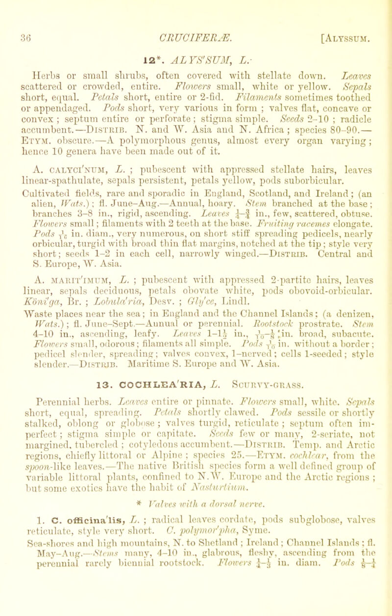 12*. ALYS'SUM, L.- Herbs or small slirubs, often covered with stellate down. Leaves scattered or crowded, entire. Flowers small, white or yellow. Sepals short, equal. Petals short, entire or 2-fid. Filaments sometimes toothed or appendaged. Pods short, very various in form ; valves flat, concave or convex ; septum entire or perforate ; stigma simple. Seeds 2-10 ; radicle accumbent.—Distrib. N. and W. Asia and N. Africa; species 80-90.— Etym. obscure.—A polymorphous genus, almost every organ varying ; hence 10 genera have been made out of it. A. calyci'num, L. ; pubescent with apprcssed stellate hairs, leaves linear-spathulate, sepals persistent, petals yellow, pods suborbicular. Cultivated fields, rare and sporadic in England, Scotland, and Ireland ; (an alien, Wats.); fl. Juue-Aug.—Annual, hoary. Stem branched at the base ; blanches 3-8 in., rigid, ascending. Leaves in., few, scattered, obtuse. Flowers small; filaments with 2 teeth at the base. Fruiting racemes elongate. Pods fa in. diam., very numerous, on short stiff spreading pedicels, nearly orbicular, turgid with broad thin flat margins, notched at the tip; style very short; seeds 1-2 in each cell, narrowly winged.—Distrib. Central and S. Europe, W. Asia. A. mArit'imum, L. ; pubescent with appressed 2-partito hairs, leaves linear, sepals deciduous, petals obovate white, pods obovoid-orbicular. Koni'ga, Br. ; Lobula'ria, Desv. ; Glijce, Lindl. Waste places near the sea; in England and the Channel Islands; (a denizen, Wats.); fl. June-Sept.—Annual or perennial. Rootstock prostrate. Stem 4-10 in., ascending, leafy. Leaves 1-1J in., T\j-§^in. broad, subacute. Flowers small, odorous; filaments all simple. Pods fa- in. without a border ; pedicel slender, spreading; valves convex, 1-nerved; cells 1-seeded; style slender.—Distrjb. Maritime S. Europe and W. Asia. 13. COCHIjEA'RIA, L. Scurvy-grass. Perennial herbs. Leaves entire or pinnate. Flowers small, white. Sepals short, equal, spreading. Petals shortly clawed. Pods sessile or shortly stalked, oblong or globose; valves turgid, reticulate; septum often im- perfect; stigma simple or capitate. Seeds few or many. 2 seriate, not margined, tubercled ; cotyledons accumbent.—Distrib. Temp, and Arctic regions, chiefly littoral or Alpine; species 25.—Etym. cochlear, from the spoon-like leaves.—The native British species form a well defined group of variable! littoral [danIs, confined to N.W. Europe and the Arctic regions ; but some exotics have the habit of Nasturtium. * I'ulres with a dorsal nerve. 1. C. officinalis, L. ; radical loaves cordate, pods subglobose, valves reticulate, style very short. O. polymor'pha, Syme. Sen-shores and high mountains, N. to Shetland ; Ireland ; Channel Islands : 11. May-Aug.—Stems many, 4-10 in., glabrous, fleshy, ascending from the perennial rarely biennial rootstock. Flowers ^-J in. diam. Pods