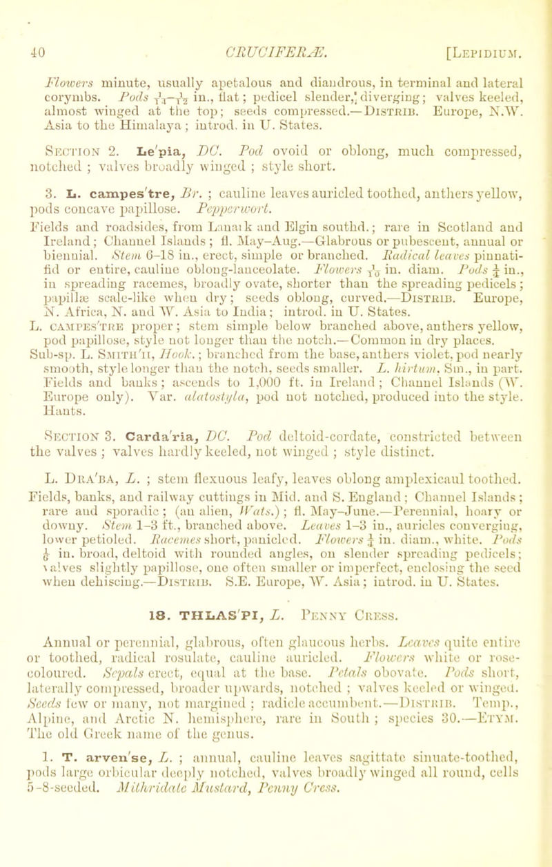 Flowers minute, usually apetalous and diandrous, in terminal and lateral corymbs. Pods j\—T'2 in., fiat; pedicel slender, diverging; valves keeled, almost winged at the top; seeds compressed.— DistrIB. Europe, N.W. Asia to the Himalaya ; introd, in U. States. Section 2. Le'pia, DC. Pod ovoid or oblong, much compressed, notched ; valves broadly winged ; style short. 3. Ij. campes'tre, Br. ; eauline leaves auricled toothed, antliers yellow, pods concave papillose. Pepperwort. Fields and roadsides, from L inni k and Elgin southd.; rare in Scotland and Ireland; Channel Islands ; 11. May—Aug,—Glabrous or pubescent, annual or biennial. Stem 0-1S in., erect, simple or branched. Radical lean* piunati- fid or entire, eauline oblong-lanceolate. Flowers ^ in. diam. Pods J in., in spreading racemes, broadly ovate, shorter than the spreading pedicels; papillae scale-like when dry; seeds oblong, curved.—Disthib. Europe, N. Africa, N. aud W. Asia to India; introd. in U. States. L. campes'tre proper; stem simple below branched above, anthers yellow, pod papillose, style not longer than the notch.—Common in dry places. Sub-sp. L. Smith'n, Hook.; branched from the base, anthers violet, pod nearly smooth, style longer than the notch, seeds smaller. L. hirtum. Sin., iu part. Fields and banks ; ascends to 1.000 ft. in Ireland ; Channel Islands (W. Europe only). Var. alatostyla, pod not notched, produced iuto the style. Hants. Section 3. Carda'ria, DC. Pod deltoid-cordate, constricted between the valves ; valves hardly keeled, not winged ; style distinct. L. Dra'ba, L. ; stem flexuous leafy, leaves oblong amplexicaul toothed. Fields, banks, and railway cuttings in Mid. and S. England ; Channel Islands; rare aud sporadic ; (an alien, Wats.); fl. May-June.—Perennial, hoary or downy. Stem 1-3 ft., branched above. Leaves 1-3 in., auricles converging, lower petioled. Racemes short,paniclcd. Flowers & in. diam., white. J'ods J in. broad, deltoid with rounded angles, on slender spreading pedicels; \a!ves slightly papillose, one often smaller or imperfect, enclosing the seed when dehiscing.—Disthib. S.E. Europe, *\V. Asia; introd. in U. States. 18. thlas'pi, L. Penny Cress. Annual or perennial, glabrous, often glaucous herbs. Leaves quite entire or toothed, radical rosulate, eauline auricled. Flowers white or rose- coloured. Sepals erect, equal at the base. Petals obovate. Pods short, laterally compressed, broader upwards, notched ; valves keeled or winged. Seeds lew or many, not margined ; radicleaccumbent.—Distkib. Temp., Alpine, and Arctic N. hemisphere, rare in South ; species 30.—Ety.m. The old Greek name of the genus. 1. T. arven'se, Ij. ; annual, eauline leaves sagittate sinuate-toothed, pods large orbicular deeply notched, valves broadly winged all round, cells 5-8-seoded. MUhridalc Mustard, Penny Cress.