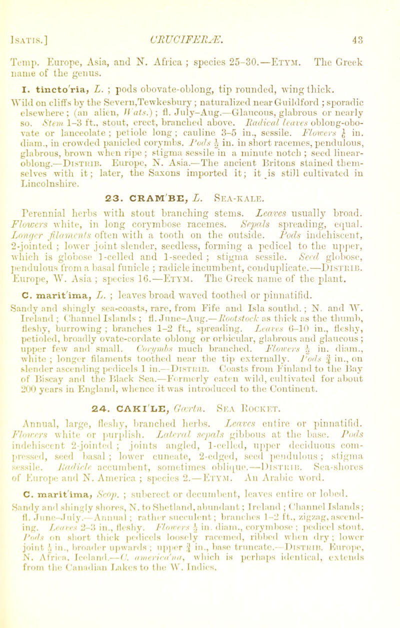 Temp. Europe, Asia, and N. Africa ; species 25-30.—Etym. The Greek name of the genus. I. tincto'ria, L. ; pods obovate-oblong, tip rounded, wing thick. Wild ou cliffs by the Severn,Tewkesbury ; naturalized near Guildford ; sporadic elsewhere; (an alien, lints.); fl. July-Aug.—Glaucous, glabrous or nearly so. Stem 1-3 ft., stout, erect, branched above. Radical leaves oblong-obo- vate or lanceolate; petiole long; cauline 3-5 iu., sessile. Flowers J iu. cliam., in crowded panicled corymbs. Pods A in. iu short racemes, pendulous, glabrous, brown when ripe ; stigma sessile in a minute notch ; seed linear- oblong.— DisTKin. Europe, N. Asia.—The ancient Britons stained them- selves with it; later, the Saxons imported it; it is still cultivated in Lincolnshire. 23. cram be, L. Sea-kale. Perennial herbs with stout branching stems. Leaves usually broad. Floivers white, in long corymbose racemes. Sepals spreading, equal. Longer filaments often with a tooth on the outside. Pods indehiscent, 2-jointed ; lower joint slender, seedless, forming a pedicel to the upper, which is globose ]-celled and 1-seeded ; stigma sessile. Seed globose, pendulous from a basal funicle ; radicle incumbent, conduplicate.—DlSTKIB. Europe, W. Asia ; species 16.—Etym. The Greek name of the plant. C. marit'ima, L. ; leaves broad waved toothed or pinnatifid. Sandy and shingly sea-coasts, rare, from Fife and Isla southd. ; N. and W. Ireland ; Channel Islands ; fl.June-Aug.—Rootstock as thick as the thumb, fleshy, burrowing ; branches 1-2 ft., spreading. Leaves 6-10 in., H< shy, petioled, broadly ovate-cordate oblong or orbicular, glabrous and glaucous ; upper few and small. Corymbs much branched. Flowers \ iu. diara., white ; longer filaments toothed near the tip externally. Vods § in., on slender ascending pedicels 1 in.— DlSTHin. Coasts from Finland to the Hay of Biscay and the Black Sea.—Formerly eaten wild, cultivated for about years iu England, whence it was introduced to the Continent. 24. CAKI IiE, (latin. Sl'.A ROCKET. Annual, large, fleshy, branched herbs. Leaves entire or pinnatifid. Flowers white or purplish. Lateral sepals gibbous at the base. Pods indehiscent 2-jointed ; joints angled, 1-celled, upper deciduous com- pressed, seed basal ; lower cuneate, 2-edged, seed pendulous; stigma sessile. Radicle, accumbent, sometimes oblique.—Distimi:. Sea-shores of Europe and N. America ; species 2. — Etym. An Arabic word. c. marit'ima, Scop. ; suberect or decumbent, leaves entire or lobed. Sandy and shingly shores, N. to Shetland, abundant; Ireland ; Channel Islands; fl. June-July.—Annual; rather succulent; branches 1-2 ft., zigzag, ascend- ing. Leaves 2-3 in., fleshy. Flowers ), in. diain., corymbose ; pedicel stout. I'tnh on short thick pedicels loosely raccmed, ribbed when dry; lower joint .'. in., broader upwards ; upper :'[ in., base truncate.- Distimb. Europe, N. Africa. Iceland.— C. aimrira'na, which is perhaps identical, extends from the Canadian Lakes to the VV. Indies.