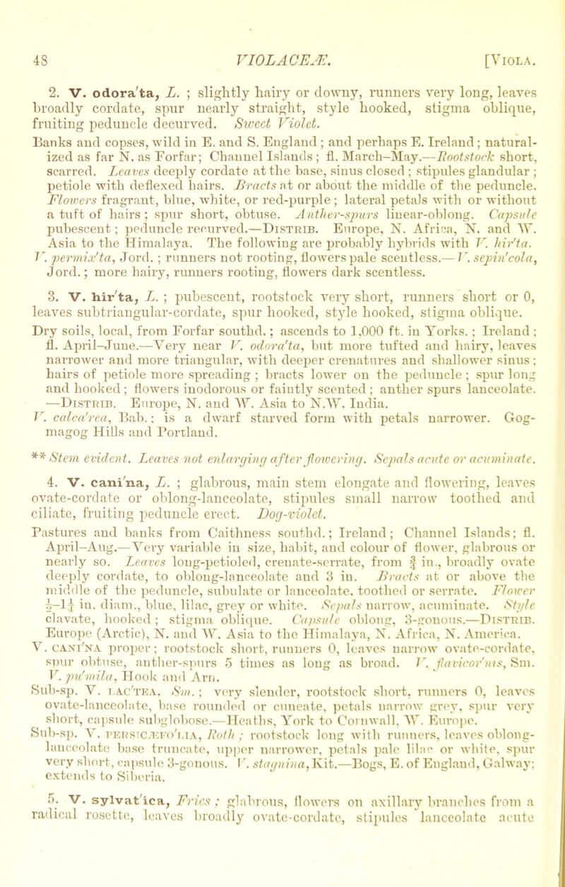 2. V. odora'ta, L. ; slightly hairy or downy, runners very long, leaves broadly cordate, spur nearly straight, style hooked, stigma oblique, fruiting peduncle decurved. Sweet Violet. Banks and copses, wild in E. and S. England ; and perhaps E. Ireland ; natural- ized as far N. as Forfar; Channel Islands ; fl. March-May.—Rootstock short, scarred. Leaves deeply cordate at the base, siuus closed ; stipules glandular ; petiole with deflexed hairs. Bracts at or about the middle of the peduncle. Flowers fragrant, blue, white, or red-purple ; lateral petals with or without a tuft of hairs; spur short, obtuse. Anther-spurs linear-oblong. Capsule pubescent; peduncle recurved.—Distkib. Europe, N. Africa, N. and AY. Asia to the Himalaya. The following are probably hybrids with I', hir'ta. V. permi.v'ta, Jord. ; runners not rooting, flowers pale scentless.— V. sejiin'cola, Jord.; more hairy, runners rooting, flowers dark scentless. 3. V. hir'ta, L. ; pubescent, rootstock very short, runners short or 0, leaves subtriangular-cordate, spur hooked, style hooked, stigma oblique. Dry soils, local, from Forfar southd.; ascends to 1,000 ft. in Yorks. ; Ireland ; fl. April-June.—Very near V. odora'ta, but more tutted and hairy, leaves narrower and more triangular, with deeper crenatnres and shallower sinus ; hairs of petiole more spreading ; bracts lower on the peduncle ; spur long and hooked ; flowers inodorous or faintly scented ; anther spurs lanceolate. —Distrib. Europe, N. and \Y. Asia to N.W. Iudia. V. calca'rea, Bab.: is a dwarf starved form with petals narrower. Gog- magog Hills and Portland. ** Stem evident. Leaves not enlarging after flowering. Sepals acute or acuminate. 4. V. cani'na, Ij. ; glabrous, main stem elongate and flowering, leaves ovate-cordate or oblong-lanceolate, stipules small narrow toothed and ciliate, fruiting peduncle erect. Dog-violet. Pastures and banks from Caithness southd.; Ireland; Channel Islands: fl. April-Aug.— Very variable in size, habit, and colour of flower, glabrous or nearly so. Leaves loug-petioled, crenate-serrate, from § in., broadly ovate deeply cordate, to oblong-lanceolate and 3 in. Bracts at or above the middle of the peduncle, subulate or lanceolate, toothed or serrate. Flower A-lj in. diam., blue, lilac, grey or white. Sepals narrow, acuminate. Style clavate, hooked ; stigma oblique. Capsule oblong, 3-gouous.—DlSTRin. Europe (Arctic), N. and \V. Asia to the Himalaya, N. Africa, N. America. V. cani'na proper; rootstock short, runners 0, leaves narrow ovate-cordate, spur obtuse, anther-spurs 5 times as long as broad. V. Juivicor'ms, Sm. V. pu'mila, Hook and Am. Sub-sp. V. i ac'tka. Shi. ; very slender, rootstock short, runners 0, leaves ovate-lanceolate, base rounded or cuneate, petals narrow grey, spur very short, capsule subgloboee.—Heaths, York to Cornwall, AY. Europe. Sub-sp. V. PEnstaasFO'LIA, Roth ; rootstock long with runners, leaves oblong- lauceolate base truncate, upper narrower, petals pale lilac or white, spur very short, capsule 3-gonous. I'. stagnina,Kit.—Bogs, E. of England, Galway: extends to Siberia. 5. V. sylvat'ica, Fries ; glabrous, flowers on axillary branches from a radical rosette, leaves broadly ovate-cordate, stipules lanceolate acute