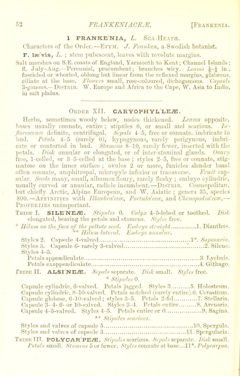 [Frankexia. 1 FRANKENIA, L. SEA-H.EATH. Characters of the Order.—Etym. J. Frankcn, a Swedish botanist. F. lse'vis, L. ; stem pubescent, leaves with revolute margins. Salt marshes on S.E. coasts of England, Yarmouth to Kent; Channel Islands : fl. July-Aug.—Perennial, procumbent; branches wiry. Leaves g-j in., fascicled or whorled, oblong but linear from the reflexed margins, glabrous, ciliate at the base. Flowers small, rose-coloured, dichogamous. Capsule 3-gouous.— Distuib. W. Europe and Africa to the Cape, \V. Asia to India, in salt plains. OllDER XII. CARYOPHYLLE^. Herbs, sometimes woody below, nodes thickened. Leaves opposite, bases usually connate, entire; stipules 0, or small and scarious. In- florescence definite, centrifugal. Sepals 4-5, free or connate, imbricate in bud. Petals 4-5 (rarely 0), hypogynous, rarely perigynous, imbri- cate or contorted in bud. Stamens 8-10, rarely fewer, inserted with the petals. Disk annular or elongated, or of inter-staminal glands. Ovary free, 1-celled, or 3-5-celled at the base ; styles 2-5, free or connate, stig- matose on the inner surface ; ovules 2 or more, funicles slender basal often connate, amphitropal, micropyle inferior or transverse. Fruit cap- sular. Seeds many, small, albumen floury, rarely fleshy ; embryo cyJindric, usually curved or annular, radicle incumbent.—DiSTKiB. Cosmopolitan, but chiefly Arctic, Alpine European, and W. Asiatic ; genera 35, species 800.—Affinities with Illecebra'eccv, Portula'ceat, and Clienopodia!cecc.— Properties unimportant. Tribe I. SILENEffi. Stipules 0. Calyx 4-5-lobed or toothed. Bisk elongated, bearing the petals and stamens. Style* free. * Hilum on the face of the peltate seed. Embryo straight 1. Dianthu*. ** Huum lateral. Embryo annular. Styles 2. Capsule 4-valved 1*. Saponaria. Styles 3. Capsule 6- rarely 3-valved . 2. Silene. Styles 4-5. Petals appendiculatc 3. Lychnis. Petals exappeadiculate 4. Githago. Tribe II. ALSI'NEiE. Sepals separate. Disk small. Styles free. * Stipules 0. Capsule cylindric, 6-valved. Petals jagged. Styles 3 5. Holosteum. Capsule cylindric. S-10-valved. Petals notched (rarely entire).(5. Cerastium. Capsule globose, 6-10-valved ; styles 3-5. Petals 2-fid 7. Stellaria. Capsule 3- 4- 6- or 10-valved. Styles 3-4. Petals entire 8. Areuaria. Capsule 4-5-valved. Styles 4-5. Petals entire or 0 P. Sagiua. ** Stipules scarious. Styles and valves of capsule 5 1'1. Spergula. Styles and valves of capsule 3 11. Spergularia. Tribe III. POLYCAR'PEffi. Stipules scarious. Sepals separate. Dwi small. 1'eta/s small. Stamens 5 or fewer. Style s connate at base. ..11*. Po/ycarjwu.