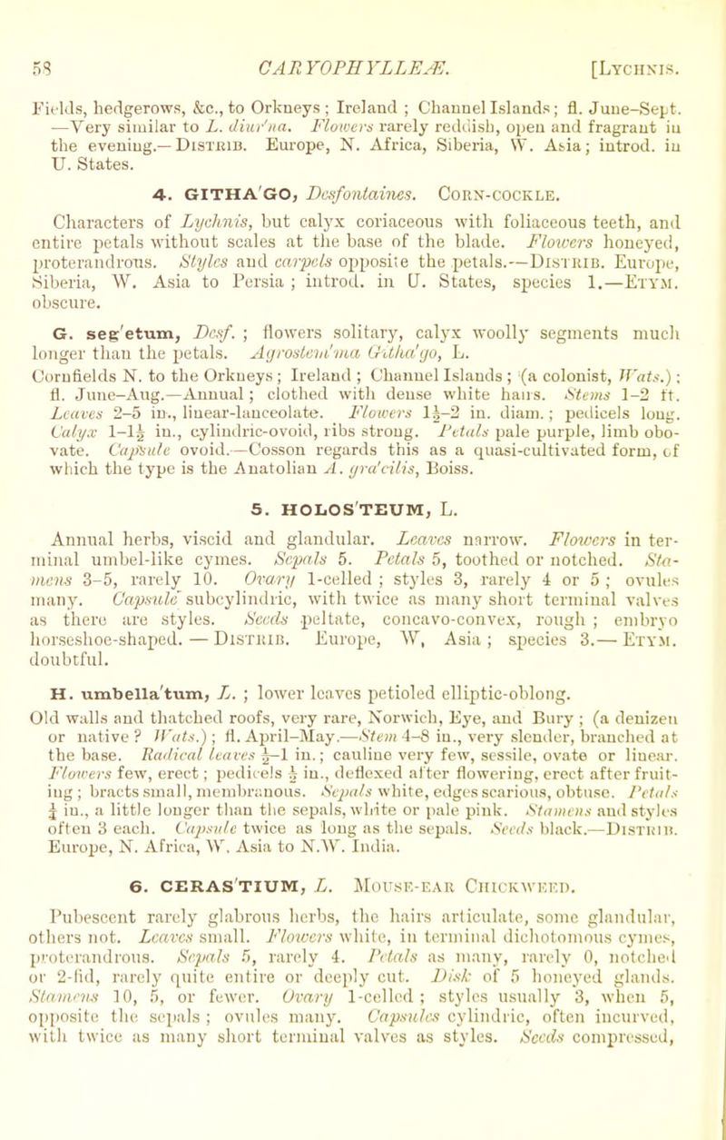 Fields, hedgerows, &c, to Orkneys; Ireland ; Channel Islands; fl. June-Sept. —Very similar to L. diur'na. Flowers rarely reddish, open and fragrant iu the evening.— Distkib. Europe, N. Africa, Siberia, W. Asia; introd. iu U. States. ■4. GITHA'GO, Desfonlaines. Corn-cockle. Characters of Lychnis, but calyx coriaceous with foliaceous teeth, and entire petals without scales at the base of the blade. Flowers honeyed, proterandrous. Styles and carpels opposite the petals.—Distkib. Europe, Siberia, W. Asia to Persia ; introd. in (J. States, species 1.—Ettm. obscure. G. seg'etum, Dcrf. ; flowers solitary, calyx woolly segments much longer than the petals. Agrosteni'ma Githa'go, L. Cornfields N. to the Orkneys ; Ireland ; Channel Islands ; (a colonist, Wats.) : fl. June—Aug.—Annual; clothed with dense white hairs. Stems 1-2 ft. Leaves 2-5 in., linear-lanceolate. Flowers li-2 in. diain.; pedicels long. Calyx l-lg in., eylindric-ovoid, ribs strong. Petals pale purple, limb obo- vate. Capsule ovoid.—Cosson regards this as a quasi-cultivated form, of which the type is the Anatolian A. yra'cilis, Boiss. 5. HOLOS'TEUM, L. Annual herbs, viscid and glandular. Leaves narrow. Flowers in ter- minal umbel-like cymes. Sepals 5. Petals 5, toothed or notched. Sta- mens 3-5, rarely 10. Ovary 1-celled ; styles 3, rarely 4 or 5 ; ovules many. Capsule subcylindric, with twice as many short terminal valves as there are styles. Seeds peltate, concavo-convex, rough ; embryo horseshoe-shaped.—Distkib. Europe, W, Asia; species 3.— Etym. doubtful. H. umbella'tum, X. ; lower leaves petioled elliptic-oblong. Old walls and thatched roofs, very rare, Norwich, Eye, and Bury ; (a denizen or native? Wats.); fl. April-May.—Stem 4-8 in., very slender, branched at the base. Radical leaves ^—1 in.; cauliue very few, sessile, ovate or linear. Flowers few, erect; pedicels h in., deflexed after flowering, erect after fruit- ing ; bracts small, membranous. Sepals white, edges scarious, obtuse. Petals j iu., a little longer thau the sepals, white or pale pink. Stamens and styles often 3 each. Capsule twice as long as the sepals. Seeds black.—DlSTKlB. Europe, N. Africa, W, Asia to NAY. India. 6. CERASTIUM, L. MOUSE-EAE CHICKWEED. Pubescent rarely glabrous herbs, the hairs articulate, some glandular, others not. Leaves small. Flowers while, in terminal dichotomous cymes, proterandrous. Sepals 5, rarely 4. Petals as many, rarely 0, notched or 2-fid, rarely quite entire or deeply cut. Disk of '< honeyed glands. Stamens 10, 5, or fewer. Ovary 1-celled; styles usually 3, when 5, opposite the sepals ; ovules many. Capsules cylindric, often incurved, with twice as many short terminal valves as styles. Seeds compressed,