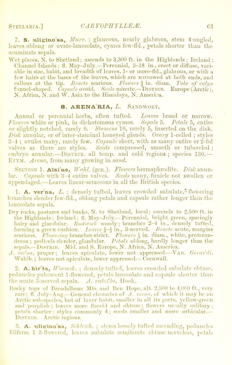 7. S. uligino'sa, Murr. ; glaucous, nearly glabrous, stern 4-angled, leaves oblong or ovate-lanceolate, cymes few-lid., petals shorter th.au the acuminate sepals. Wet places, N. to Shetland; ascends to 3,300 ft. in the Highlands ; Ireland : Channel Islands ; fl. May-July. — Perennial, 3-18 in., erect or diffuse, vari- able in size, habit, and breadth of leaves, 1- or niore-fld., glabrous, or with a few hairs at the bases of the leaves, which are narrowed at both ends, and callous at the tip. Bracts scarious. Flowers j iu. diam. Tube of calyx funnel-shaped. Capsule ovoid. Seeds minute.—Distkib. Europe (Arctic). N. Africa, N. and W. Asia to the Himalaya, N. America. 8. arena'ria, L. Sandwort. Annual or perennial herbs, often tufted. Leaves broad or narrow. Flowers white or pink, in dichotomous cymes. Sepals 5. Petals 5, entire or slightly notched, rarely 0. Stamens 10, rarely 5, inserted on the disk. Disk annular, or of inter-stamiual honeyed glands. Ovary 1-celled ; styles 3-4 ; ovules many, rarely few. Capsule short, with as many entire or2-fid valves as there are styles. Seeds compressed, smooth or tubercled ; embryo annular.—DlSTRIB. all temp, and cold regions ; species 130.— Etym. Arena, from many growing in sand. Section- 1. Aisi'ne, lYahl. (gen.). Flovers hermaphrodite. Disk annu- lar. Capsule with 3-4 entire valves. Seeds many, funicle not swollen or ajipendaged.—Leaves linear-setaceous in all the British species. 1. A. ver'na, L. ; densely tufted, leaves crowded subulate,'flowering branches slender few-fld., oblong petals and capsule rather longer than the lanceolate sepals. Dry rocks, pastures and banks, N. to Shetland, local; ascends to 2.500 ft. in the Highlands; Ireland; fl. May-July.— Perennial, bright green, sparingly hairy and glandular. Rootstock woody; branches 2—1 in, densely tufted, forming a green cushion. Leaves J—^ in., 3-nerved. Bracts acute, margins scarious. Flowering branches strict. Flowers J in. diam., white, proterau- drous ; pedicels slender, glandular. Petals oblong, hardly lunger than the sepals.—DlSTRIB. Mid. and S. Europe, N. Africa, N. America. A. ver'na, proper; leaves apieulate, lower not apprcssed.—Var. Oertir'di. Wahlb.; leaves not apieulate, lower apprcssed.— Cornwall. 2. A. hir'ta, Wormxk. ; densely tufted, leaves crowded subulate obtuse, peduncles pubescent 1-flowered, petals lanceolate and capsule shorter t han the acute 3-nerved sepals. rubal'la, Hook. Kocky tops of Breadalbane Mts. and Ben Hope, alt. 2,500 to 4,000 ft., very rare; fl. July—Aug.— General character of .-/. rerun, of which if may be an Arctic sub-species, but of laxer habit, .smaller in all its parts, yellow-green and purplish; leaves more flaccid and obtuse; flowers usually solitary; petals shorter; styles rommonly 4; seeds smaller and more orbicular.— DlSTRIB. Arctic regions. 3. A. ulieino'sa, Schlcich. ; stems loosely tufted ascending, peduncles filiform 1 3-flowered, leaves subulate semiterete obtuse nerveless, petals