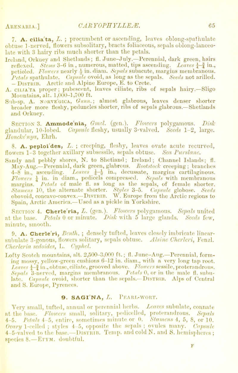 7. A. cilia'ta, L. ; procumbent or ascending, leaves oblong-spat'hulatc obtuse ]-nerved, flowers subsolitary, bracts foliaceous, sepals oblong-lanceo- late with 3 hairy ribs much shorter than the petals. Ireland, Orkney and Shetlands; fl. June-July.—Perennial, dark green, hairs reflexed. Stems 3-6 in , numerous, matted, tips ascending. Leaves J-§ iu., petioled. Flowers nearly h in. diam. Sepals subacute, margins membranous. Petals spatbulate. Capsule ovoid, as long as the sepals. Seeds not arillcd. — DlSTRlB. Arctic and Alpine Europe, E. to Crete. A. cilia'ta proper ; pubescent, leaves ciliate, ribs of sepals hairy.—Sligo Mountains, alt. 1,000-1,700 ft. S'ib-sp. A. norve'uica, Guiin.; almost glabrous, leaves denser shorter broader more fleshy, peduncles shorter, ribs of sepals glabrous.—Shetlands and Orkney. Section 3. Ammode'nia, Gmel. (gen.). Flowers polygamous. Disk glandular, 10-lobed. Capsule fleshy, usually 3-valved. Seeds 1-2, large. ilonekc'nya, Ehrh. 8. A. peploi'des, L. ; creeping, fleshy, leaves ovate acute recurved, flowers 1-3 together axillary subsessile, sepals obtuse. Sea Purslane. Sandy and pebbly shores, N. to Shetland; Ireland; Channel Islands; fl. May-Aug.—Perennial, dark green, glabrous. Rootstock creeping ; branches 4-8 in., asceudiug. Leaves \—j in., decussate, margius cartilaginous. Flmvevs j in. in diam., pedicels compressed. Sepals with membranous margius. Petals of male fl. as long as the sepals, of female shorter. Stamens 10, the alternate shorter. Styles 3-5. Capsule globose. Seeds obovoid, concavo-convex.— Distrib. W. Europe from the Arctic regions to Spain, Arctic America.—Used as a pickle in Yorkshire. Section 4. Cnerie Via, L. (gen.). Flowers polygamous. Sepals united at the base. Petals 0 or minute. Disk with 5 large glands. Seeds few, minute, smooth. 9. A. Cherle'ri, P.mth. ; densely tufted, leaves closely imbricate linear- subulate 3-gonous, flowers solitary, sepals obtuse. Alsinc Cherleri, Fenzl. Chcrleria, sedoides, L. Cyphel. Lofty Scotch mountains, alt. 2,500-3,000 ft.; fl. June-Aug.—Perennial, form- ing mossy, yellow-green cushions (! 12 in. diam., with a very lung tap root. Leaves in., obtuse, ciliate, grooved above. Flowers sessile, proterandrous. Sepals 3-nerved, margins membranous. Petals 0, or in the male fl. subu- late. Capsule ovoid, shorter than the sepals.—Distrib. Alps of Central and S. Europe, Pyrenees. 9. SAGI'NA, //. PeARL-WORT. Very small, tufted, annual or perennial herbs. Leaves subulate, connate at the base. Flowers small, solitary, pedicelled, proterandrous. Sepals 4-5. Petals 4-5, entire, sometimes minute or 0. Stamens 4, 5, 8, or 10. Ovary 1-celled ; styles 4 5, opposite the sepals ; ovules many. Capsule 4-5-valved to the base.—DlSTBIB. Temp, and cold N. and S. hemispheres ; species 8.—Etym. doubtful. F