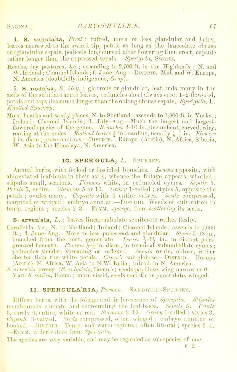 4. S. subula'ta, Presl ; tufted, more or less glandular and hairy, leaves narrowed to the awned tip, petals as long as the lanceolate obtuse subglandular sepals, pedicels long curved after (lowering then erect, capsule rather longer than the appressed sepals. Sper'gula, Swartz. Heaths, dry pastures, &c.; ascending to 2,700 ft. in the Highlands ; N. and W. Ireland ; Channel Islands; fl. June-Aug.—Disteib. Mid. and W. Europe, N. America (doubtfully indigenous, Gray). 5. S. nodosa, E. Mey. ; glabrous or glandular, leaf-buds many in the axils of the subulate acute leaves, peduncles short always erect 1-2-flowered, petals and capsules much longer than the oblong obtuse sepals. Sper'gula, L. Knotted Spurrey. Moist heaths and sandy places, N. to Shetland ; ascends to 1,800 ft. in Yorks. ; Ireland; Channel Islands; fl. July—Ang.—Much the largest and largest- flowered species of the genus. Branches 4-10 in., decumbent, curved, wiry, rooting at the nodes. Radical leaves A in., cauline, usually g-J in. Flowers ^ in. diam., proterandrous.—Distiub. Europe (Arctic), N. Africa, Siberia, W, Asia to the Himalaya, N. America. IO. SPER'GULA, L. Spurrey. Annual herbs, with forked or fascicled branches. Leaves opposite, with abbreviated leaf-buds in their axils, whence the foliage appears whorled ; stipules small, scarious. Flowers white, in pedrmcled cymes. Sepals 5. Petals 5, entire. Stamens ■> or 10. Ovary 1-celled ; styles 5, opposite the petals ; ovules many. Capsule with 5 entire valves. Seeds compressed, margined or winged ; embryo annular.—DrsTlUB, Weeds of cultivation in temp, regions ; species 2-3.—Etym. spar go, from scattering its seeds. S. arven'sis, L. ; leaves linear-subulate semiterete rather fleshy. Cornfields, <tc, N. to Shetland; Ireland; Channel Islands; ascends to 1,000 ft.; fl. June-Aug.—More or less pubescent and glandular. Stems 5-18 in., branched from the root, geniculate. Lean's h-\h in., in distant pairs grooved beneath. Flowers J-J in. diam., in terminal subumbellate cymes; peduncles slender, spreading or reflexed. Sepals ovate, obtuse, rather shorter than the white petals, Capsu'e sub-globose.— Distrib. Europe (Arctic), N. Africa, W. Asia to N.W. India.; introd. in N. America. 5. arven'sis proper (>S\ vv/i/a'ris, I'icnn.) ; seeds papillose, wing narrow or 0.— Vae. 6'. sati'va, Bcenn. ; more viscid, seeds smooth or punctulate, winged. 11. SPERGULARIA, PerSOOn. S A N DWORT-SPU It It F, Y. Diffuse herbs, with the foliage and inflorescence of Spergula. Stipules membranous connate and surrounding the leaf-bases. Sepals 5. Petals 6, rarely 0, entire, white or red. Stamens 2 10. Ovary 1-celled ; styles 3. Capsule 3-valved. Seeds compressed, often winged; embryo annular or hooked Distiub. Temp, and warm regions ; often littoral ; species '■'< 4, —Etym. a derivative from Sper'gula. The spei ies are very variable, and mny he regarded as sub-species of one.