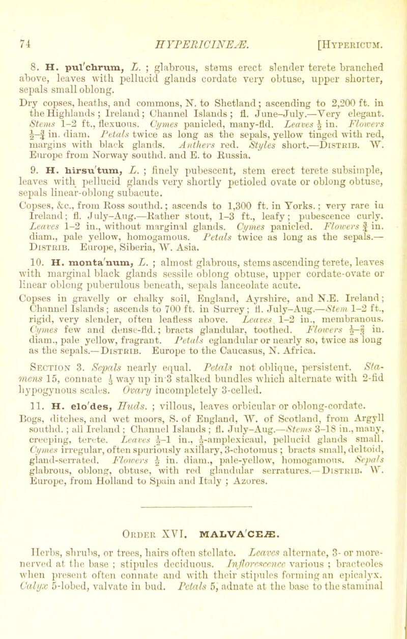 8. H. pul'chrum, L. ; glabrous, stems erect slender terete branched above, leaves with pellucid glands cordate very obtuse, upper shorter, sepals small oblong. Dry copses, heaths, and commons, N. to Shetland; ascending to 2,200 ft. in the Highlands ; Ireland; Channel Islands; 11. June-July.—Very elegant. Stems 1-2 ft., flexuous. Cymes panicled, many-fid. Leaves 3 in. Floiot rs 5—I in. diam. Petals twice as long as the sepals, yellow tinged with red, margins with black glands. Anthers red. Styles short.—Distkib. W. Europe from Norway southd. and E. to Russia. 9. H. hirsu'tum, L. ; finely pubescent, stem erect terete subsiinple, leaves with pellucid glands very shortly petioled ovate or oblong obtuse, sepals linear-oblong subacute. Copses, &c, from Boss southd.; ascends to 1,300 ft. in Yorks.; very rare iu Ireland; fl. July-Aug.—Kather stout, 1-3 ft., leafy; pubescence curly. Leaves 1-2 in., without marginal glands. Cymes panicled. Flowers £ in. diam., pale yellow, homogamous. Petals twice as long as the sepals.— Distrib. Europe, Siberia, YV. Asia, 10. H. monta'num, L. ; almost glabrous, stems ascending terete, leaves with marginal black glands sessile oblong obtuse, upper cordate-ovate or linear oblong puberulous beneath, sepals lanceolate acute. Copses in gravelly or chalky soil, England, Ayrshire, and N.E. Ireland; Channel Islands; ascends to 700 ft. in Surrey; fl. July-Aug.—Stem 1-2 ft., rigid, very slender, ofteu leafless above. Leaves 1-2 iu., membranous. Cymes few and dense-fid.; bracts glandular, toothed. Flowers h-§ in. diam., pale yellow, fragrant. Petals eglandular or nearly so, twice as long as the sepals.— Distrib. Europe to the Caucasus, N. Africa. Section 3. Sepals nearly equal. Petals not oblique, persistent. Sta- mens 15, connate ^ way up in 3 stalked bundles which alternate with 2-fid hypogynous scales. Ovary incompletely 3-celled. 11. H. elo'des, LTuds. ; villous, leaves orbicular or oblong-cordate. Bogs, ditches, and wet moors, S. of England, W. of Scotland, from Argyll southd. ; all Ireland ; Channel Islands ; fl. July-Aug.—Stems 3-18 in., many, creeping, terete. Leaves 5-I in., A-amplexieaul, pellucid glands small. Cymes irregular, often spuriously axillary, 3-chotomus ; bracts small, deltoid, gland-serrated. Flowers A in. diam., pale-yellow, homogamous. Sepals glabrous, oblong, obtuse, with red glandular serratures.— Distrib. W. Europe, from Holland to Spain and Italy ; Azores. ORDER XVI. MALVACE-ffi. Herbs, shrubs, or trees, hairs often stellate. Leaves alternate, 3- or more- nerved at the base ; stipules deciduous. Inflorescence various ; bracteoles when present often connate and with their stipules Forming an epicalyx.