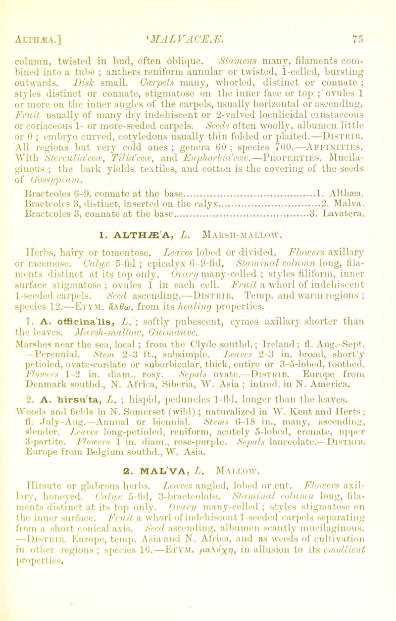 column, twisted in bud, often oblique. Stamens many, filaments com- bined into a tube ; anthers reniform annular or twisted, 1-eelled, bursting outwards. Disk small. Carpels many, whorled, distinct or connate ; styles distinct or connate, stigmatose on the inner face or top ;'ovules 1 or more on the inner angles of the carpels, usually horizontal or ascending. Fruit usually of many dry indehiscent or 2-valved loculicidal erustaceous or coriaceous 1- or more-seeded carpels. Seeds often woolly, albumen little or 0 ; embryo curved, cotyledons usually thin folded or plaited.—Distrib. All regions but very cold ones ; genera 60 ; species 700.—AFFINITIES. With Sterculia.'eere, Tilia'cecc, and Eivphorbia'ceas.—Properties. Mucila- ginous ; the bark yields textiles, and cotton is the covering of the seeds of Qossypium. Bracteoles 6-9, connate at the base 1. Althaea. Bracteoles 3, distinct, inserted on the calyx 2. Malva. Bracteoles 3, connate at the base 3. Lavatera. 1. ALTH.ffi'A, L. MARSH-MALLOW. Herbs, hairy or tomentose. Leaves lobed or divided. Flowers axillary or racemose. Calyx 5-fid ; epicalyx 6-9-fid. Slaminal column long, fila- ments distinct at its top only. Ovary many-celled ; styles filiform, inner surface stigmatose; ovules 1 in each cell. Fruit a whorl of indehiscent 1-seeded carpels. Seed ascending.—Distrib. Temp, and warm regions ; species 12.—Etym. a\6w, from its healing properties. 1. A. officina'lis, L. ; softly pubescent, cymes axillary shorter than the leaves. Marsh-mallow, Quimauve. Marshes near tin,' sim, local ; from the Clyde southd.; Ireland; fl. Aug.-Sept. —Perennial. .Strut 2-3 ft., subsimple. Leaves 2-3 in. broad, short'y petioled, ovate-cordate or suborbicular, thick, entire or 3-5-lobed, toothed. Flowers 1 2 in. diam., rosy. Sepals ovate.—DlSTltlB. Europe from Denmark southd., N. Africa, Siberia, W. Asia; introd. in N. America. 2. A. hirsu'ta, L. ; hispid, peduncles 1-fld. longer than the leaves. Woods .'mil fields in N. Somerset (wild); naturalized in W. Kent and Herts; fl. July-Aug.—Annual or biennial. •Stems 6-18 in., many, ascending, Blender. Leaves long-petioled, reniform, acutely 5-lobed, crcnate, upper 3-partite. Floioers 1 in. diam., rose-purple. Sepals lanceolate.— Distrib. Europe from Belgium BOuthd., W. Asia. 2. malva, L, Mallow, Hirsute or glabrous herbs. Leaves angled, lobed or cut. Flowers axil- lary, honeyed. Calyx 5-fid, 3-bractcolato. Staminal column long, fila- ments distinct at its top only. Ovarii many-celled; styles sliginafose on the inner Burface. Fruit a whorl of indehiscent 1-seeded carpels separating from a short eonical axis. Seed ascending, albumen seantly mucilaginous. — Distrib. Europe, temp. Asia and N. Africa, a nd as weeds of cultivation in other regions; species 16.—ETYM. (ia\ixVi allusion to its emollient properties.