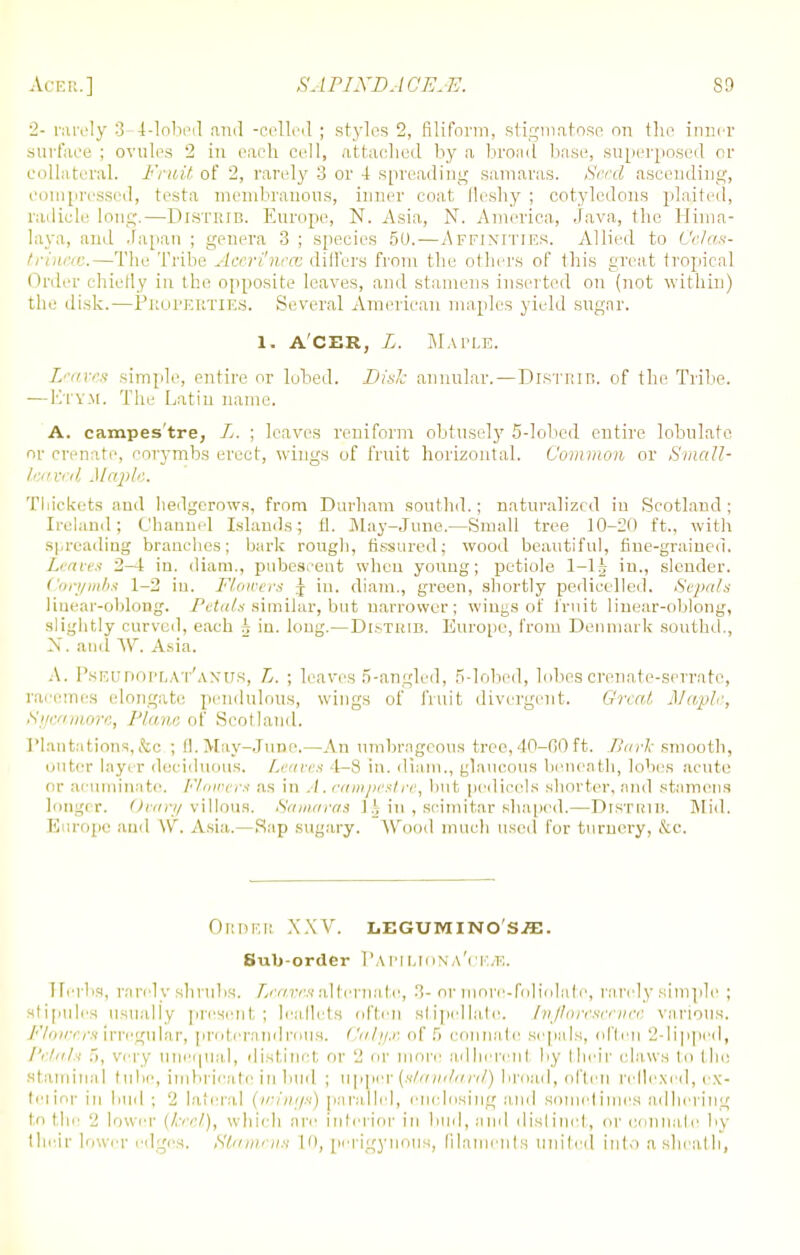 Acer.] SAPINDA GEJE. SO 2- rarely 3 4-lobed and -celled ; styles 2, filiform, stigmatose on the inner surface ; ovules 2 in each cell, attached by a broad base, superposed or collateral. Fruit of 2, rarely 3 or 4 spreading samaras. Seed ascending, compressed, testa membranous, inner coat fleshy ; cotyledons planted, radicle long.—Distrib. Europe, N. Asia, N. America, Java, the Hima- laya, and Japan ; genera 3 ; species 50.—Affinities. Allied to Celas- trineat.—The Tribe Aceri'ncas differs from the others of this great tropical Order chiefly in the opposite leaves, and stamens inserted on (not within) the disk.—Properties. Several American maples yield sugar. 1. ACER, L. Maple. Leaves simple, entire or lobed. Disk annular.—Distrib. of the Tribe. — Ktym. The Latin name. A. campes'tre, L. ; leaves reniform obtusely 5-lobed entire lobulate or crenate, corymbs erect, wings of fruit horizontal. Common or Small- leaved Maple. Thickets and hedgerows, from Durham southd.; naturalized in Scotland; Ireland; Channel Islands; fl. May-June.—Small tree 10-20 ft., with spreading branches; bark rough, fissured; wood beautiful, fine-grained. Leaves 2—1 in. diam., pubescent when young; petiole in., slender. Corymbs 1-2 in. Flowers \ in. diam., green, shortly pedicelled. Sepals linear-oblong. Petals similar, but narrower; wings of fruit linear-oblong, slightly curved, each h in. long.—Distrib. Europe, from Denmark southd., N. and AV. Asia. A. Pseudoplat'anus, L. ; leaves 5-angled, 5-lobed, lobes crenate-serratc, racemes elongate pendulous, wings of fruit divergent. Great Maple, Sycamore, Plane of Scotland. Plantations,&c ; (1. May-June.—An umbrageous tree, 40-00 ft. Bark smooth, outer layi r deciduous. Leaves 4-8 in. diam., glaucous beneath, lobes acute or acuminate. Flmvt rs as in . /. campestre, but pedicels shorter, and stamens longer. Ovary villous. Samaras 1£ iu , scimitar shaped.—Distrib. Mid. B irope and \Y. Asia..— Sap sugary. Wood much used tor turnery, &C, ORDER XXV. LEGUMINO'SZE. Sub-order Papilion aVk.k. Herbs, rarely shrubs. Leaves alternate, 3- or more-foliolate, rarely simple ; stipules usually present; leaflets often stipellate. Inflorescence various. Flowers irregular, proterandrous. Calyx of 5 connate sepals, often 2-lipped, Petals ~>, very unequal, distinct, or 2 or more adhcrcnl by their claws to tho staminal tube, imbricate in bud ; upper {standard) broad, often rcllexcd, ex- teiinr in bud ; 2 lateral (wings) parallel, enclosing and sometimes adhering to the 2 lower (keel), which are interior in bud, and distinct, or connate by their lower edges. Stamens in, perigynous, filaments united into a sheath,