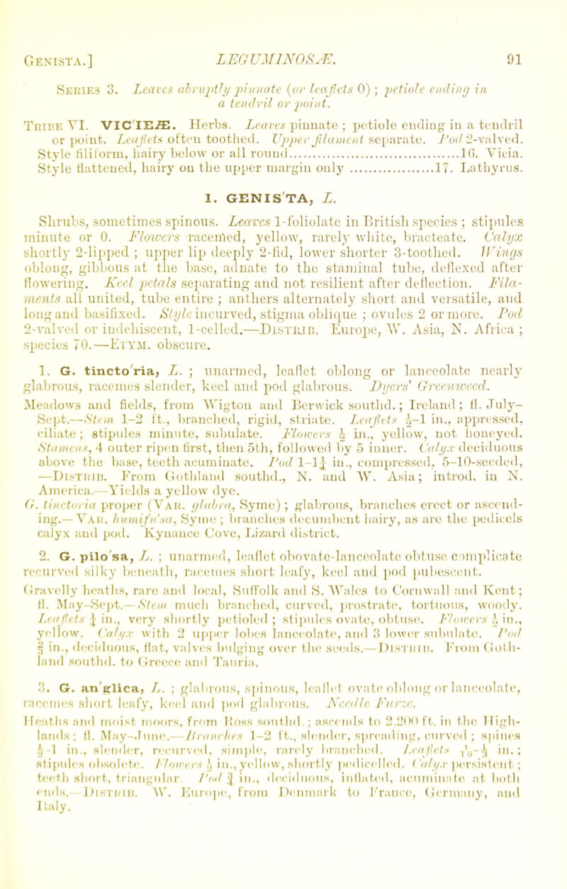 Series 3. Leaves abruptly pinnate (or leaflets 0); petiole enrfiny in a tendril or point. Tribe VI. VIC'IE.ffi. Herbs. Leans pinnate ; petiole ending in a tendril or point. Leaflet* often toothed. Upper jilameni separate. Pod2-valved. Style filiform, hairy below or all round 1(1. Vicia. Style flattened, hairy on the upper margin only 17. Lathyrus. I. GENISTA, L. Shrubs, sometimes spinous. Leaves 1-foliolate in British species ; stipules minute or 0. Flowers racenled, yellow, rarely white, bracteate. Calyx shortly 2-lipped ; upper lip deeply 2-fid, lower shorter 3-toothed. Wings oblong, gibbous at the base, aclnate to the stamina] tube, defiexed after flowering. Keel jie/n/s separating and not resilient after deflection. Fila- ments all united, tube entire ; anthers alternately short ami versatile, and long and basifixed. Style incurved, stigma oblique ; ovules 2 or more. Pod 2-valved orindehiscent, 1-celled.—Distbjb. Europe,W. Asia, N. Africa; species 70.—Etym. obscure. 1. G. tincto'ria, X. ; unarmed, leaflet oblong or lanceolate nearly glabrous, racemes slender, keel and pod glabrous. Dyers' Greemvecd. Meadows and fields, from Wigtou and Berwick southd.; Ireland; fl. July- Sept.—Stem 1-2 ft., branched, rigid, striate. leaflets A-l in., oppressed, filiate ; stipules minute, subulate. Flowers h in., yellow, not honeyed. Stamens, 4 outer ripen first, then 5th, followed by 5 inner. Calyx deciduous above the base, teeth acuminate. /Wl-lj in., compressed, 5-10-seeded, —DlSTRIB. From Gothland southd., N. and W. Asia; iutrod. iu N. America.—Yields a yellow dye. G. tinctoria proper (Vak. glabra, Syme) ; glabrous, branches erect or ascend- ing.—Var. humifu'sa, Syme ; branches decumbent hairy, as are the pedicels calyx and pod. Kynauce Cove, Lizard district. 2. G. pilo'sa, L. ; unarmed, leaflet obovate-lanceolate obtuse complicate recurved silky beneath, racemes short leafy, keel aud pod pubescent. (Iravclly heaths, rare and local, Suffolk and S. Wales to Cornwall and Kent; tl. May-Sept.—Stem much branched, curved, prostrate, tortuous, woody. Leaflets £ in., very shortly petioled ; stipules ovate, obtuse. Flowers Jin., yellow. Calyx with 2 upper lobes lanceolate, and 3 lower subulate. I'm! rf in., deciduous, flat, valves bulging over the seeds.—DlSTRIB. From Goth- land southd. to Greece and Tauria. 3. G. an'eiica, L. ; glabrous, spinous, leaflet ovate oblong or lanceolate, racemes short leafy, keel aud pod glabrous. Needle Furat. Heaths and moist moors, from Itoss southd.; ascends to 2.200 ft. in flu- High- lands ; B.May-June.— Branches 1-2 ft., slender, spreading, curved ; spines .'.1 in., slender, recurved, simple, rarely branched. Leaflets ,'„-)) in.; stipules obsolete. Flowers .', in., yellow, shortly pedicellod. ( alyx persistent- ; teeth short, triangular fori. ;J in., deciduous, inflated, acuminate at both ends. Dibthib. W. Europe, from Denmark to France, Germany, and Italy.