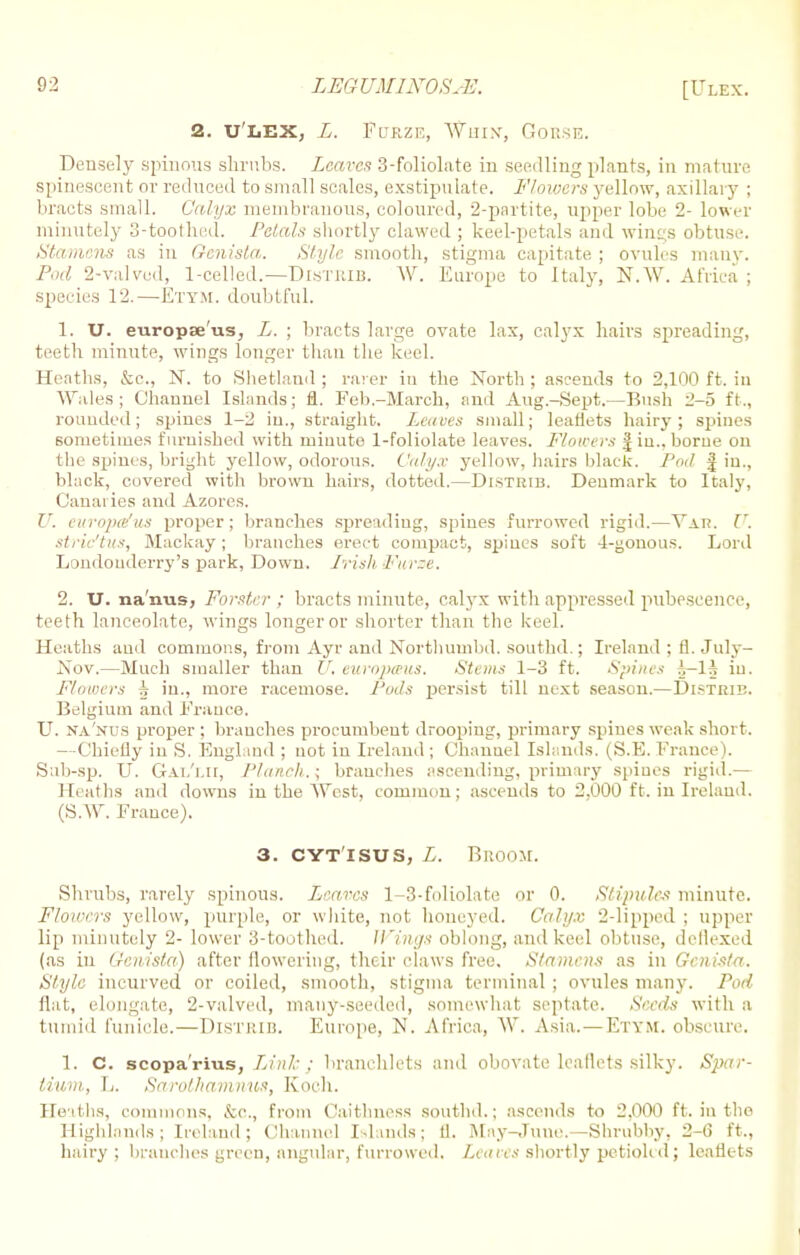 2. u'LEX, L. Furze, Whin, Gorse. Densely spinous shrubs. Leaves 3-foliolate in seedling plants, in mature spinescent or reduced to small scales, exstipulate. Flowers yellow, axillary ; bracts small. Calyx membranous, coloured, 2-pnrtite, upper lobe 2- lower minutely 3-toothed. Petals shortly clawed ; keel-petals and wings obtuse. Stamens as in Genista. Style smooth, stigma capitate ; ovules many. Pod 2-valved, 1-celled.—DlSTRlB. W. Europe to Italy, N.W. Africa ; species 12.—Ety.m. doubtful. 1. U. europae'us, L. ; bracts large ovate lax, calyx hairs spreading, teeth minute, wings longer than the keel. Heaths, &c., N. to Shetland ; rarer in the North ; ascends to 2,100 ft. in Wales; Channel Islands; fl. Feb.-March, and Aug.-Sept.—Bush 2-5 ft., rounded; spines 1-2 in., straight. Leaves small; leaflets hairy; spines sometimes furnished with minute 1-foliolate leaves. Flowers j in., borne on the spines, bright yellow, odorous. Calyx yellow, hairs black. Pod J in., black, covered with brown hairs, dotted.—Distrib. Denmark to Italy, Canai ies and Azores. U. europafus proper; branches spreading, spines furrowed rigid.—Yxn. U. stric'tus, Mackay; branches erect compact, spines soft 4-gonous. Lord Londonderry's park, Down. Irish Fume. 2. U. nanus, Forskr ; bracts minute, calyx with appressed pubescence, teeth lanceolate, wings longer or shorter than the keel. Heaths and commons, from Ayr and Nortlmmbd. southd.; Ireland ; fl. July- Nov.—Much smaller than U. europeeus. Stems 1-3 ft. Spines h-lh in. Flowers h in., more racemose. J'ods persist till next season.—Distrib. Belgium and France. U. na'nus proper ; branches procumbent drooping, primary spines weak short. —Chiefly in S. England ; not in Ireland ; Channel Islands. (S.E. France). Snb-sp. U. Gai/i.u, Planch.; brandies ascending, primary spines rigid.— Heaths and downs in the West, common; ascends to 2.000 ft. in Ireland. (S.W. France). 3. cyt'isus, L. Broom. Shrubs, rarely spinous. Leaves 1-3-foliolate or 0. Stipules minute. Floirers yellow, purple, or white, not honeyed. Calyx 2-lipped ; upper lip minutely 2- lower 3-toothed. Wings oblong, and keel obtuse, detlexed (as in Genista) after flowering, their claws free. Stamens as in Genista. Style incurved or coiled, smooth, stigma terminal ; ovules many. Pod flat, elongate, 2-valved, many-seeded, somewhat septate. Seeds with a tumid funicle.—Distrib. Europe, N. Africa, W. Asia.—Etym. obscure. 1. C. scopa'rius, Link ; branchlets and obovate leaflets silky. Spar- tium, L. Sarothamnus, Koch. Heaths, commons, &c, from Caithness southd.; ascends to 2,000 ft. in the Highlands; Inland; Channel Islands; fl. May-June.—Shrubby, 2-6 ft., hairy ; branches green, angular, furrowed. Leaves shortly petiohd; leaflets