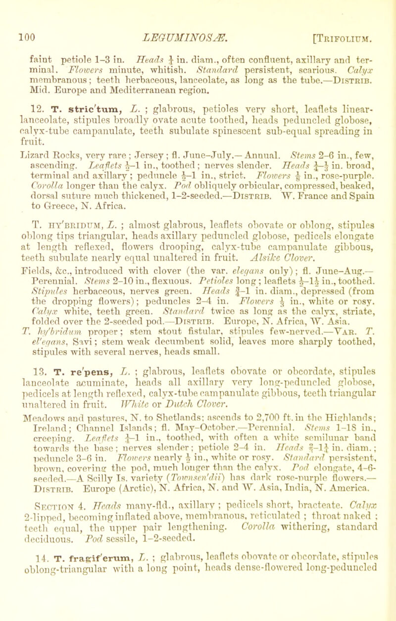 faint petiole 1-3 in. Heads £ in. diam., often confluent, axillary and ter- minal. Flowers minute, whitish. Standard persistent, scarious. Calyx membranous; teeth herbaceous, lanceolate, as long as the tube.—Distrib. Mid. Europe and Mediterranean region. 12. T. stric'tum, L. ; glabrous, petioles very short, leaflets linear- lanceolate, stipules broadly ovate acute toothed, heads peduncled globose, calyx-tube campanulate, teeth subulate spinescent sub-equal spreading in fruit. Lizard Rocks, very rare ; Jersey ; fl. June-July.—Annual. Stems 2-6 in., few, ascending. Leaflets h-1 in., toothed ; nerves slender. Heads J-^ in. broad, terminal and axillary ; peduncle h-l in., strict. Flowers ^ in., rose-purple. Corolla longer than the calyx. Pod, obliquely orbicular, compressed, beaked, dorsal suture much thickened, 1-2-seeded.—Distrib. W. France and Spain to Greece, N. Africa. T. hy'bridum, L. ; almost glabrous, leaflets obovate or oblong, stipules oblong tips triangular, heads axillary peduncled globose, pedicels elongate at leugth reflexed, flowers drooping, calyx-tube campanulate gibbous, teeth subulate nearly equal unaltered in fruit. Alsilcc, Clover. Fields, &c, introduced with clover (the var. elegans only); fl. June-Aug.— Perennial. Stems 2-10 in., flexuous. Petioles long ; leaflets h-lh in., toothed. Stipules herbaceous, nerves green. Heads J-l in. diam., depressed (from the dropping flowers); peduncles 2-4 in. Flowers -| in., white or rosy. Calyx white, teeth green. Standard twico as long as the calyx, striate, folded over the 2-seeded pod.—Distrtb. Europe, N. Africa, VY Asia. T. hy'bridum proper; stem stout fistular, stipules few-nerved.—Yah. T. el'egans, S'ivi; stem weak decumbent solid, leaves more sharply toothed, stipules with several nerves, heads small. 13. T. re'pens, L. ; glabrous, leaflets obovate or obcordate, stipules lanceolate acuminate, heads all axillary very long-peduneled globose, pedicels at length reflexed, calyx-tube campanulate gibbous, teeth triangular unaltered in fruit. White or Dutch Clover. Meadows and pastures. N. to Shetlands; ascends to 2,700 ft. in the Highlands; Ireland; Channel Islands; fl. May-October.—Perennial. Stems 1-1S in., creeping. Leaflets ^-1 in., toothed, with often a white semilunar band towards the base; nerves slender; petiole 2-4 in. Heads J in. diam.; peduncle 3-6 in. Flowers nearly h iu., white or rosy. Standard persistent, brown, covering the pod, much longer than the calyx. Pod elongate, 4-6- seeded.—A Scilly Is. variety (Townsen'dii) has dark rose-purple flowers.— DrsTRiB. Europe (Arctic), N. Africa, N. and W. Asia, India, N. America. Section 4. Reads many-fid., axillary ; pedicels short, bracteate. Calyx 2-lipped, becoming inflated above, membranous, reticulated ; throat naked : teeth equal, 1he upper pair lengthening. Corolla withering, standard deciduous. Pod sessile, 1-2-seeded. 14. T. frafrif'erum, L. ; glabrous, leaflets obovate or obcordate, stipules oblong-triangular with a long point, heads dense-flowered long-peduncled