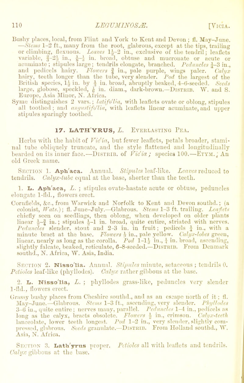 Bushy places, local, from Flint and York to Kent and Devon ; fl. May-June. —Sterns 1-2 ft., many from the root, glabrous, except at the tips, trailing or climbing, flexuous. Leaves li-2 in., exclusive of the tendril; leaflets variable, §-2i in., ^-J in. broad, obtuse and mucrouate or acute or acuminate ; stipules large; tendrils elongate, branched. Peduncles J-3 in., and pedicels hairy. Flowers J in., pale purple, wings paler. Calyx hairy, teeth longer than the tube, very slender. Pod the largest of the British species, li in. by ^ in. broad, abruptly beaked, 4-6-seeded. Seeds large, globose, speckled, J in. diaui., dark-brown.—Distrib. W. aud S. Europe, Asia Minor, N. Africa. Syine distinguishes 2 vars.; latifo'lia, with leaflets ovate or oblong, stipules all toothed; aud angustMVlia, with leaflets linear acuminate, and upper stipules sparingly toothed. 17. LATH YRUS, L. EVEKLASTING PEA. Herbs with the habit of Vicia, hut fewer leaflets, petals broader, stami- nal tube obliquely truncate, and the style flattened and longitudinally bearded on its inner face.—DiSTKIB. of Vic'ia ; species 100.—Etym.J An old Greek name. Section 1. Aph'aca. Annual. Stipules leaf-like. Leaves reduced to tendrils. Calyx-tube equal at the base, shorter than the teeth. 1. L. Aph'aca, L. ; stipules ovate-hastate acute or obtuse, peduncles elongate 1-fld., flowers erect. Cornfields, &c, from Warwick and Norfolk to Kent and Devon southd.; (a colonist, Wats.); fl. Juue-July.—Glabrous. Stems 1-3 ft. trailing. Leaflets chiefly seen on seedlings, then oblong, when developed on older plants linear in.; stipules |-1 in. broad, quite entire, striated with nerves. Peduncles slender, stout and 2-3 in. in fruit; pedicels J in., with a minute bract at the base. Flowers k iu., pale yellow. Calj/.r-fohes green, linear, nearly as long as the corolla. Pod 1-1 \ in., \ in. broad, ascending, slightly falcate, beaked, reticulate, 6-8-seeded.—DlSTBIB. From Denmark southd., N. Africa, W. Asia, India. Section 2. Nisso'Ha. Annual. Stipules minute, setaceous; tendrils 0. Petioles leaf-like (phyllodcs). Calyx rather gibbous at the base. 2. L. Nisso'lia, L. ; phyllodes grass-like, peduncles very slender 1-fld., flowers erect. Grassy bushy places from Cheshire southd., aud as an escape north of it: fl. May-June.—Glabrous. Stems 1-8 ft., ascending, very slender. Phyllodes 3-0 in., quite entire ; nerves many, parallel. Peduncles 1-4 in., pedicels as long as the calyx, bracts obsolete. Flowers h in., crimson. Calyx-teeth lanceolate, lower teeth longest. Pod 1-2 in., very slender, slightly com- pressed, glabrous. Seeds granulate.—Distjub. From Holland southd., W. Asia, N. Africa. Section 3. Lathyrvis proper. Petioles all with leaflets and tendrils. Calyx gibbous at the base.