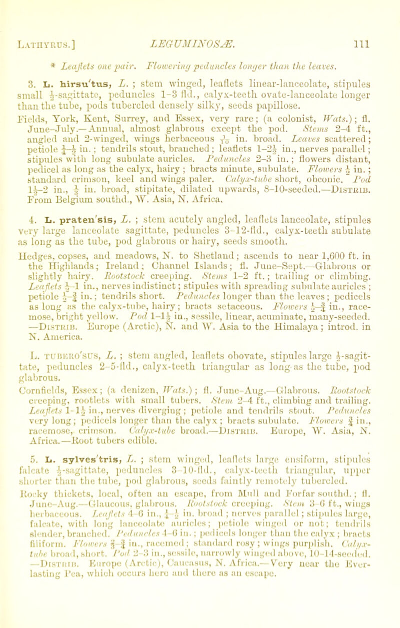 * Leaflets one pair. Flowering peduncles lonyer than the leaves. 3. Ii. hirsu'tus, L. ; stem winged, leaflets linear-lanceolate, stipules small ^-sagittate, peduncles 1-3 flu., calyx-teeth ovate-lanceolate longer than tke tube, pods tubercled densely silky, seeds papillose. Fields, York, Kent, Surrey, and Essex, very rare; (a colonist, Wats.); fl. June-July.— Annual, almost glabrous except the pod. Stems 2^ ft., angled and 2-winged, wings herbaceous in. broad. Leaves scattered ; petiole J-i in. ; tendrils stout, branched ; leaflets 1-2J in., nerves parallel; stipules with long subulate auricles. Peduncles 2-3 in.; flowers distant, pedicel as long as the calyx, hairy ; bracts minute, subulate. Flowers h in. ; standard crimson, keel and wings paler. Calyx-tube short, obconic. Pod iu., J in. broad, stipitate, dilated upwards, 8-10-seeded.—DiSTitin. From Belgium southd., W. Asia, N. Africa. 4. L. praten'sis, L. ; stem acutely angled, leaflets lanceolate, stipules very large lanceolate sagittate, peduncles 3-12-fld., calyx-teeth subulate as long as the tube, pod glabrous or hairy, seeds smooth. Hedges, copses, and meadows, N. to Shetland ; ascends to near 1,600 ft. iu the Highlands; Ireland; Channel Islands; fl. June-Sept.—Glabrous or slightly hairy. Rootstuck creeping. Stems 1-2 ft.; trailing or climbing. Leaflets h-1 in., nerves indistinct; stipules with spreading subulate auricles ; petiole i-f in.; tendrils short. Peduncles longer than the leaves ; pedicels as long as the calyx-tube, hairy ; bracts setaceous. Flowers ^-f in., race- mose, bright yellow. Pod 1—1 i iu., sessile, linear, acuminate, many-seeded. —Disthib. Europe (Arctic), N. and ~\V. Asia to the Himalaya; introd. in N. America. L. TtTBEKo'srs, Li. ; stem angled, leaflets obovate, stipules largo A-sagit- tate, peduncles 2-5-fld., calyx-teeth triangular as long-as the tube, pod glabrous. Cornfields, Essex; (a denizen, Wats.); fl, .Tuue-Aug.—Glabrous. Rootstock creeping, rootlets with small tubers. Stem 2-4 ft., climbing and trailing. Leaflets in., nerves diverging; petiole and tendrils stout. Peduncles very loug ; pedicels longer than the calyx; bracts subulate. Flowers $ in., racemose, crimson. Calyx-lube broad.—DlSTKLD. Europe, W. Asia, N. Africa. — Hoot tubers edible. 5. L. sylves'tris, L. ; stem winged, leaflets large ensiform, stipules falcate J-sagittate, peduncles 3 10-fid., calyx-teeth triangular, upper shorter than the tube, pod glabrous, seeds faintly remotely tubercled. Rocky thickets, local, often an escape, from Mull and Forfar southd.; 11. June-Aug.—Glaucous, glabrous. Koolstoek creeping. Stem 3 -6 ft., wings herbaceous. Leaflets 1 0 in., I I in. broad ; nerves parallel ; stipules large, falcate, with long lanceolate auricles; petiole winged or not; tendrils slender, branched. Peduncles 1-0 iu. ; pedicels longer ( ban the calyx ; bracts filiform. Flowers § | in., racemed; standard rosy ; wings purplish. Calyx- tube broad,short. Pod 2-3 in., sessile, narrowly winged above, 10 14-seeded. —DtSTdiB. Europe (Arctic), Caucasus, N. Africa.—Very near the Ever- lasting Pea, which occurs here and there as an escape.