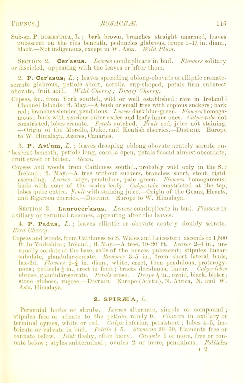 Sub-sp. P. domes'tica, L.; bark brown, branches straight unarmed, leaves pubescent ou the ribs beneath, peduncles glabrous, drupe l-li in. diam., black.—Not indigenous, except in W. Asia. Wild Plum. SECTION 2. Cer'asus. Leaves conduplicate in bud. Flowers solitary or fascicled, appearing with the leaves or after them. 2. P. Cer'asus, L. ; leaves spreading oblong-obovate or elliptic crenate- serrate glabrous, petiole short, corolla cup-shaped, petals firm suberect obovate, fruit acid. Wild C'herry ; Dwarf Cherry. Copses, &c, from York southd., wild or well established; rare in Ireland ! Channel Islands ; fl. May.—A bush or small tree with copious suckers; bark red ; branches slender, pendulous. Leaves dark blue-green. Flotrershomoga- mous ; buds with scarious outer scales and leafy inner ones. Calyx-tube not constricted, lobes crenate. Petals notched. Fruit red, juice not staining. —Origin of the Morello, Duke, and Kentish cherries.—Distrib. Europe to W. Himalaya, Azores, Canaries. 3. P. Avium, L. ; leaves drooping oblong-obovate acutely serrate pu- bescent beneath, petiole long, corolla open, petals flaccid almost obcordate, fruit sweet or bitter. Gcan. Copses and woods from Caithness southd., probably wild only in the S. ; Ireland ; fl. May.—A tree without suckers, branches short, stout, rigid ascending. Leaves large, pendulous, pale green. Flowers homogamous; buds with none of the scales leafy. Calyx-tube constricted at the top, lobes quite entire. Fruit witli staining juice.—Origin of the Geans, Hearts, and Bigaroon cherries.—Distiuu. Europe to W. Himalaya. Section 3. Laurocer'asus. Leaves conduplicate in bud. Flowers in axillary or terminal racemes, appearing after the leaves. 4. P. Padus, L. ; leaves elliptic or obovate acutely doubly serrate. Bird Cherry. Copses and woods, from (Caithness to S. Wales and Leicester ; ascends to 1,500 ft. in Yorkshire; Ireland; 11. May.—A tree, JO 20 ft. Leaves 2-1 in., un- equally cordate at the base, axils of the nerves pubescent ; stipules linear- subulate, glandular-serrate. Racemes 3-5 in., from short lateral buds, lax-lld. Flowers in. diam., white, erect, then pendulous, proterogy- nous; pedicels J in., erect in fruit ; bracts deciduous, linear. Calysc-lobes obtuse, glandular-serrate, /'rials erose. Drupe j in., ovoid, black, bitter; stone globose, rugose.—Distuib, Europe (Arctic), N. Africa, N. aud W. Asia, Himalaya. 2. SPIR-ffi'A, Ij. Perennial herbs or shrubs. Leacrx alternate, simple or compound ; stipules free or adnate to the petiole, rarely 0. Flowers in axillary or terminal cymes, white or red. Calyx inferior, persistent ; lobes 4-6, im- bricate or valvate in bud. Petals t 5. Stamens '20 60, filaments free or connate below. Disk Meshy, often hairy. Carpels 5 or more, free or con- ii,ite below ; styles subterminal ; ovules 2 ot more, pendulous. Follicles l 2