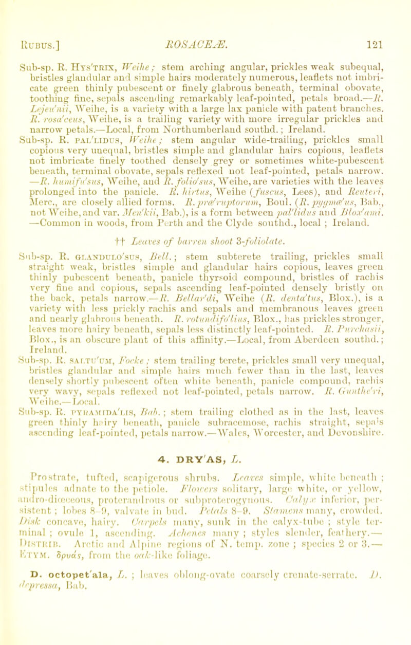 Sub-sp. R. Hys'trix, Weihe : stem arching angular, prickles weak subequal, bristles glandular and simple hairs moderately numerous, leaflets not imbri- cate green thinly pubescent or finely glabrous beneath, terminal obovate, toothing fine, sepals ascending remarkably leaf-pointed, petals broad.—R. Lejeu'nii, Weihe, is a variety with a large lax panicle with patent branches. R. rosa'ceils, Weihe, is a trailing variety with more irregular prickles and narrow petals.—Local, from Northumberland southd.; Ireland. Sub-sp. R. pal'lidus, IVi'Hic; stem angular wide-trailing, prickles small copious very unequal, bristles simple and glandular hairs copious, leaflets not imbricate finely toothed densely grey or sometimes white-pubescent beneath, terminal obovate, sepals reflexed not leaf-pointed, petals narrow. —R. humifu'sus, Weihe, and R. folio'sits, Weihe, are varieties with the leaves prolonged into the panicle. R. hirtus, Weihe [fuscus, Lees), and Reuteri, Merc, are closely allied forms. R. prerfruptorum, Boul. (R. pygmetfus, Bab., not Weihe, and var. Men'kii, Lab.), is a form between pal'lidus and Bios!ami. —Common in woods, from Perth and the Clyde southd., local ; Ireland. ft Leaves of barren shoot Z-foliolate. Sub-sp. R. olanduxo'sus, Bill.; stem subterete trailing, prickles small straight weak, bristles simple and glandular hairs copious, leaves green thinly pubescent beneath, panicle thyreoid compound, bristles of rachis very flue and copious, sepals ascendiug leaf-pointed densely bristly on the back, petals narrow.—R. Bel/ar'di, Weihe (R. denta'tus, Blox.), is a variety with less prickly rachis and sepals and membranous leaves green and nearly glabrous beneath. R. rotundifo'lius, Blox., has prickles stronger, leaves more hairy beneath, sepals less distinctly leaf-pointed. R. Purchasii, Blox., is an obscure plant of this affinity.— Local, from Aberdeen southd.; Ireland. Sub-sp. R. sAr.TU'uir, Focke ; stein trailing terete, prickles small very unequal, bristles glandular and simple hairs much fewer than in the last, leaves densely shortly pubescent often white beneath, panicle compound, rachis very wavy, sepals reflexed not leaf-pointed, petals narrow. R. Gunthe'ri, Weihe.— Local. Sub-sp. It. PYHAMIPA'lis, Halt. ; stem trailing clothed as in the last, leaves green thinly hniry beneath, panicle subracemose, rachis straight, sepa's ascending leaf-pointed, petals narrow.—Wales, Worcester, and Devonshire. 4. DRY AS, L. Prostrate, tufted, senpigerous shrubs. Leaves simple, white bcneatli : stipules adnnte to the petiole. Flutters solitary, large white, or yellow, andro-diceceous, proterandrous or subprotarogynons. Calyx inferior, per- sistent; lobes 8 9, valvate in bud. Petals 8-9. Stamens many, crowded. Disk concave, hairy. Carpels many, sunk in the calyx-tube ; style ter- minal ; ovule I, ascending. Aehencs many; styles slender, leathery.— Distrib. Arctic and Alpine regions of N. temp, zone ; species 2 or :j.— Etym. fipvus, from the. oak-like Foliage. D. octopet'ala, L. ; leaves oblong-ovato coarsely eremite-serrate. J), tlepressa, Bab.