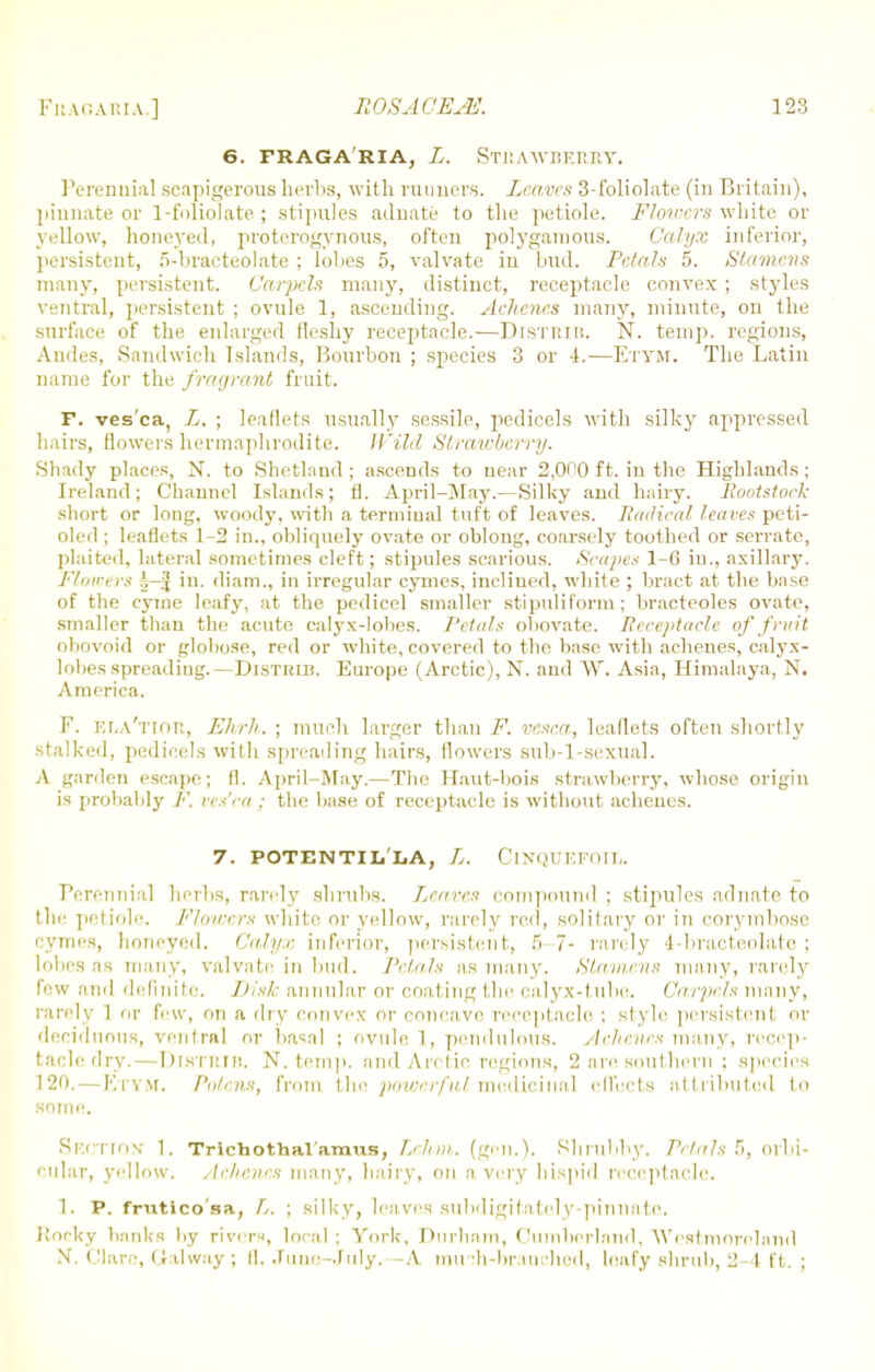 6. FRAGA RIA, L. STRAWBERRY. Perennial scapigerous herbs, with runners. Loaves 3-foliolate (in Britain), pinnate or 1-folio]ate ; stipules adnate to the petiole. Plovers white or yellow, honeyed, proterogynous, often polygamous. Calyx inferior, persistent, 5-bracteolate ; lobes 5, valvate in bud. Petals 5. Stamens many, persistent. Carpels many, distinct, receptacle convex ; styles ventral, persistent ; ovule 1, ascending. Achene.s many, minute, on the surface of the enlarged fleshy receptacle.—DlSTRIB. N. temp, regions, Andes, Sandwich Islands, Bourbon ; species 3 or 4.—Etym. The Latin name for the fragrant fruit. F. ves'ca, L. ; leaflets usually sessile, pedicels with silky appressed hairs, flowers hermaphrodite. Wild Strawberry. Shady places, N. to Shetland ; ascends to near 2,000 ft. in the Highlands ; Ireland; Channel Islands; fl. April-May.— Silky and hairy. Rovtstoek short or long, woody, with a terminal tuft of leaves. Radical leaves peti- oled ; leaflets 1-2 in., obliquely ovate or oblong, coarsely toothed or serrate, plaited, lateral sometimes cleft; stipules scarious. Scapes 1-6 iu., axillary. Flotoers h-j in. diam., in irregular cymes, inclined, while ; bract at the base of the cyme leafy, at the pedicel smaller stipuliform; bracteoles ovate, smaller than the acute calyx-lobes. Petals obovate. Receptacle of fruit obovoid or globose, red or white, covered to the base with advenes, calyx- lobes spreading.—Distkib. Europe (Arctic), N. and W. Asia, Himalaya, N. America. F. ela'tior, Ehrh. ; much larger than P. vesca, leaflets often shortly stalked, pedicels with spreading hairs, flowers sub-1-sexual. A garden escape; fl. April-May.—The Haut-bois strawberry, whose origin is probably /■'. ves'ca ; the base of receptacle is without acheues. 7. POTENTILIiA, L. ClNQTJEFOIL. Perennial herbs, randy shrubs. Leaves compound ; stipules adnate to the petiole. Flowers white or yellow, rarely red, solitary or in corymbose cymes, honeyed. Calyx inferior, persistent, 5 7- rarely 4-bract.colatc ; lobes as many, valvate in bud. Petals as many. Stamens many, rarely few and definite. Disk annular or coal ing the calyx-( ube. Carpels many, rarely 1 or few, on a dry convex or concavo receptacle ; style persistcni or deciduous, ventral or basal ; ovule 1, pendulous. Achcncs many, recep- tacle dry.— Distrib, N. temp, and Arctic regions, 2 arc southern ; species 120. — E'l'YM. Pa/ens, from the powerful, medicinal effects attributed to some. Section 1. Trichothai'amus, Lehm. (gen.). Shrubby. Petals 5, orbi- cular, yellow. AcJienes many, hairy, on a very hispid receptacle. 1. P. frutico'sa, L. ; silky, leaves subdigitately-pinnatc. Rocky hanks by river*, local ; York, Durham, Cumberland, Westmoreland X. Clare, (lalway ; (1. .rune-July. -A mu ■h-brauehed, leafy shrub, 2-4 ft. ;