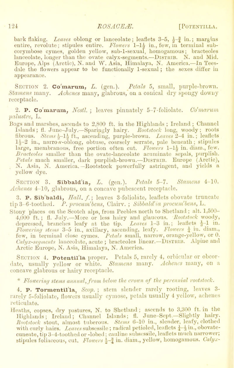 bavk flaking. Leaves oblong or lanceolate; leaflets 3-5, i-f in.; margins entire, revolute; stipules entire. Flowers 1-1| in., few, in terminal sub- corymbose cymes, golden yellow, sub-l-sexual, homogamous; bracteoles lanceolate, longer than the ovate calyx-segments.—Distrib. N. and Mid. Europe, Alps (Arctic), N. and W. Asia, Himalaya, N. America.—In Tees- dale the flowers appear to be functionally 1-sexual; the sexes differ in appearance. Section 2. Co'marum, L. (gen.). Petals 5, small, purple-brown. Stamens many. Achenes many, glabrous, on. a conical dry spongy downy receptacle. 2. P. Co'marum, Nestl. ; leaves pinnately 5-7-foliolate. Co'marum y.dastre, L. Bogs and marshes, ascends to 2,800 ft. in the Highlands ; Ireland ; Channel Islands ; fl. June-July.—Sparingly hairy. Rootstock long, woody; roots fibrous. Stems ^—1J ft., ascending, purple-brown. Leaves 2^4 in.; leaflets 1Jj-2 in., narro.v-obloug, obtuse, coarsely serrate, pale beneath; stipules large, membranous, free portion often cut. Flowers 1—1J in. diam., few. Bracteoles smaller than the ovate-lanceolate acuminate sepals, purplish. Petals much smaller, dark purplish-brown.—Distrib. Em-ope (Arctic), N. Asia, N. America. —Rootstock powerfully astringent, and yields a yellow dye. Section 3. Sibbald'ia, L. (gen.). Petals 5-7. Stamens 4-10. Achenes 4-10, glabrous, on a concave pubescent receptacle. 3. P. Sib'baldi, Hall. f.; leaves 3-foliolate, leallets obovate truncate tip 3-6-toothcd. P. procum'bens, Clairv. ; Sibbald'ia procum'bens, Stouy places on the Scotch alps, from Peebles north to Shetland ; alt. 1,500- 4,000 ft. ; fl. July.—More or less hairy and glaucous. Rootstock woody, depressed, branches leafy at tho tip. Leaves 1-3 in.; leaflets J-l in. Ftoweriny stems 3-5 in., axillary, asceudiug, leafy. Flowers J iu. diam., few, in terminal close cymes. Petals small, narrow, orange-yellow, or 0. Calyx-sey meats lanceolate, acute ; bracteoles linear.—Distrib. Alpine and Arctic Europe, N. Asia, Himalaya, N. America. Section 4. Potentil'la proper. Totals 5, rarely 4, orbicular or obcor- date, usually yellow or white. Stamens many. Aehcncs many, on a concave glabrous or hairy receptacle. * Flowerimj stems annual, from below the crown of the perennial rootstock. 4. p. Tormentil'ia, Scop. ; stem slender rarely routing, leaves 3- rarely 5-foliolate, flowers usually cymose, petals usually 4 yellow, achenes ii-ulato. Heaths, copses, dry pastures, N. to Shetland ; ascends to 3,300 ft. in the Highlands; Ireland; Channel Islands; fl. June-Sept.—Slightly hairy. Rootstock stout, almost tuberous. Stems 6-10 in., slender, leafy, clothed with curly hairs. Leaves subsessile ; radical petioled, leaflets ^ in., obovate- cuneate, tip 3-4-toothed or -lobed ; cauline subsessile, leaflets much narrower; stipules Eoliaceous, cut. Flow, ,:* A -| in. diam., yellow, homogamous. Calyx-