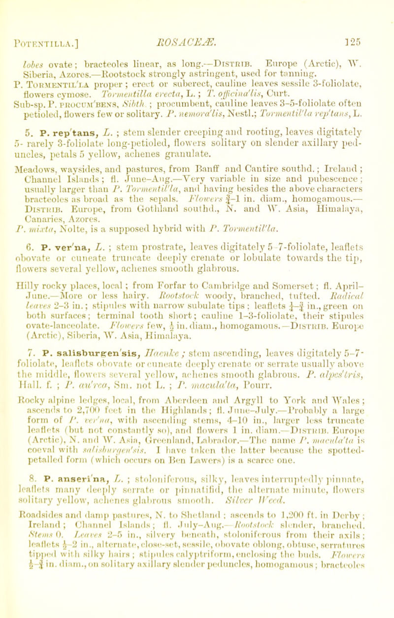 lobes ovate; bracteoles linear, as long.—Distbib. Europe (Arctic), W. Siberia, Azores.—Kootstoek strongly astringent, used for tanning. P. Tohmentii/la proper ; erect or suberect, eauline leaves sessile 3-foliolate, flowers cymose. Tormentilla erecta, L.; T. ojfficina'lis, Curt. Sub-sp.P. pbocum'bens, Sibth ; procumbent, eauline leaves 3-5-foliolate often petioled, flowers few or solitary. P. nemora'lis, Nestl.; Tormentil'la rep'tans, L. 5. P. rep'tans, L. ; stem slender creeping and rooting, leaves digitately >- rarely 3-foliolate long-petioled, flowers solitary on slender axillary ped- uncles, petals 5 yellow, achenes granulate. Meadows, waysides, and pastures, from Banff and Cautire soutbd.; Ireland: Channel Islands ; fl. Juue-Ang.—Very variable in size and pubescence ; usually larger than P. Tormentil'la, and having besides the above characters bracteoles as broad as the sepals. Flowers J-l in. diam., hoinogamous.— Distkib. Europe, from Gothland southd., N. and W, Asia, Himalaya, Canaries, Azores. /'. mixta, Nolte, is a supposed hybrid with /'. Tormentil'la. 6. P. ver'na, L. ; stem prostrate, leaves digitately 5 7-foliolate, leaflets obovate or cuneate truncate deeply crenate or lobulate towards the tip, flowers several yellow, achenes smooth glabrous. Hilly rocky places, local ; from Forfar to Cambridge and Somerset; fl. April- June.- More or less hairy. Rootstock woorly, branched, tufted. Radical leaves 2-3 in.; stipules with narrow subulate tips : leaflets J-| in., green on both surfaces; terminal tooth short; eauline 1-3-foliolate, their stipules ovate-lanceolate. Flowers few, J iu. diam., hoinogamous,— Distbib. Europe (Arctic), Siberia, ~\\T. Asia, Himalaya. 7. P. salisbursren'sis, ffaenke; stem ascending, leaves digitately 5-7 foliolate, leaflets obovate oreutieate deeply crenate or serrate usually above the middle, flowers several yellow, achenes smooth glabrous. P. a/pes'lris, Hall. f. ; P. au'rea, Sm. not L. ; /'. macula'la, Pourr. Rooky alpine ledges, local, from Aberdeen and Argyll to York and Wales ; ascends to 2,700 feet in the Highlands; fl. June-July.—Probably a large form of /'. ver'na, with ascending stems, 4-10 in., larger less truncate leaflets (but not constantly so), and flowers 1 in. diam.—DlSTKlB. Europe i Arctic), V and W. .Asia, Greenland, Labrador.—The name /'. macula'ta is coeval with salisburqen'sis. I have taken the latter because the spotted- petalled form (which occurs on Pen Lawers) is a scarce one. 8. p. anseri'na, L. ; stolonifcrous, silky, leaves interruptedly pinnate, leaflets many deeply serrate or pinnatifid, the alternate minute, (lowers solitary yellow, achenes glabrous smooth. Silver Weed. Roadsides and damp pastures, N. to Shetland ; ascends to 1,200 ft. in Derby ; Ireland; Channel Islands; II. July-Aug. Rootstock slender, branched. Stems 0. Leaves 2-.r> in., silvery beneath, stoloniferous from their axils ; leaflets ;; 2 in., alternate, close-set, sessile, obovate oblong, obtuse, serralnres tipped with silky hairs; stipules calyptrifnrm, enclosing the buds. Flowers 5 |in. diam., on solitary axillary slender peduncles, hoinogamous ; bracteoles