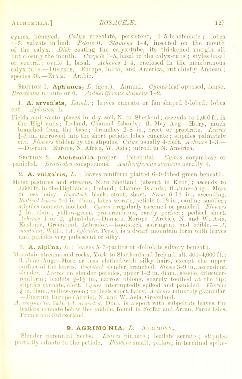 cymes, honeyed. Calyx urceolate, persistent, 4-5-bracteolate ; lobes 4-5, valvate in bud. Petals 0. Stamens 1-4, inserted on the mouth of the calyx. Disk coating the calyx-tube, its thickened margin all but closing the mouth. Carpels 1-5, basal in the calyx-tube ; styles basal or ventral ; ovule 1, basal. Achates 1-4, enclosed in the membranous calyx-tube.—DlSTRIB. Europe, India, and America, but chiefly Andean ; species 30.—Ety.m. Arabic. Section 1. Aph'anes, L. (gen.). Annual. Cymes leaf-opposed, dense, Bracteoles minute or 0. Anther iferous stamens 1-2. 1. A. arven'sis, Lamk. ; leaves cuneate or fan-shaped 3-lobed, lobes cut. Aphanes, L. Fields and waste places in dry soil, N. to Shetland; ascends to 1,6(0 ft. in the Highlands; Ireland, Channel Islands; fl. May-Aug.—Hairy, much branched from the base; branches 2-8 in., erect or prostrate. Leaves |-§ in., narrowed into the short petiole, lobes cuneate ; stipules palmately cut. Flowers bidden by the stipules. Cu/i/.r usually 4-cleft. Achenes 1-3.— —DlSTRIB. Europe, N. Africa, W. Asia; iutrod. in N. America. Section i. Alchemil'la proper. Perennial. Cymes corymbose or paniclcd. Bracteoles conspicuous. Anthcriferous stamens usually 4. 2. A. vulgaris, L. ; leaves reniform plaited 6-9-lobed green beneath. Moist pastures and streams, N. to Shetland (absent in Kent) ; ascends to 3,600 ft. in the Highlands; Inland; Channel Islands; fl. June-Aug.- More or less hairy. Rootstock black, stout, short. Stem 6-18 in., ascending. Radical leaves 2-6 in. diatn., lobes serrate, petiole 6-18 in., cauliue smaller ; stipules connate, toothed. Cymes irregularly racemed or pauicled. Flowers £ in. diam., yellow-green, proterandrous, rarely perfect; pedicel short. Achenes 1 or 2. glandular. Distiub. Europe (Arctic), N. and W. Asia, Kashmir, Greenland, Labrador.— Rootstock astringent and edible. — monta'na, Wllld. (.-/. hybrida, Pers.), is a dwarf mountain form with leaves and petioles very pubescent or silky. 3. A. alpi'na, L. ; leaves 5 7-partite or -foliolate silvery beneath. .Mountain streams and rocks, York to Shetland and Ireland, alt. 400-4,000 ft. ; II. June-Aug.— More or less clothed witli silky hairs, except the upper surface of the leaves. Rootstock slender, branched. Steins 3-!) in., ascending, slender. I.iiicis on slender petioles, upper 1-2 in. diam., sessile, orbicular- reniform; leaflets §-lJ in., narrow oblong, sharply toothed at the tip: stipules connate, cleft. Cymes interruptedly spiked and panicled. Ylmeers )> in.diam., yellow-green ; pedicels short, hairy. Achenes minutelj glandular. —Distrib. Europe (Arctic), N. and W. Asia, Greenland. A.conjunc'ta, Bab. (A. araentea, Don), is a sport with subpeltate leaves, the leaflets connate below the middle, found in Forfar and Arran, Faroe Isles, France and Switzerland. 9. AGRIMONIA, f,. A.G3UMONY. Slender perennial herbs. Leaves pinnate ; leaflets serrate ; stipules partially adnate to the petiole. Flowers small, yellow, in terminal spike-