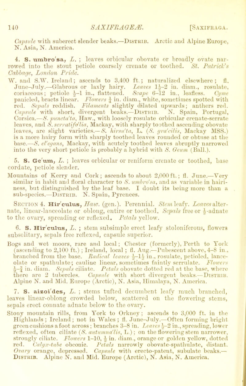 Capsule with suberect slender beaks.—Distrib. Arctic and Alpine Europe, N. Asia, N. America. 4. S. nmbro'sa, L. ; leaves orbicular obovate or broadly ovate nar- rowed into the stout petiole coarsely crenate or toothed. St. Patrick's Cabbage, London Pride. W. and S.\Y. Ireland; ascends to 3,400 ft.; naturalized elsewhere ; fl. June-July.—Glabrous or laxly hairy. Leaves lJ-2 in. diam., rosulate, coriaceous; petiole J—1 in., flattened. Scape 6-12 in., leafless. Cyme pauicled, bracts linear. Flowers J in. diatu., white, sometimes spotted with red. Sepals reddish. Filaments slightly dilated upwards; anthers red. Capsule with short, divergent beaks.—Distrib. N. Spain, Portugal, Corsica.—S. puncta'ta, Haw., with loosely rosulate orbicular crenate-serrate leaves, and S. scrratifo'lia, Mackay, with sharply toothed ascending obovate leaves, are slight varieties.— S. hirsu'ta, L. (-V. gra'eilis, Mackay MSS.) is a more hairy form with sharply toothed leaves rounded or obtuse at the base.—<S. el'egans, Mackay, with acutely toothed leaves abruptly narrowed into the very short petiole is probably a hybrid with S. Geum (Ball.). 5. S. Ge um, L. ; leaves orbicular or reniformcrenate or toothed, base cordate, petiole slender. Mountains of Kerry and Cork; ascends to about 2,000ft.; fl. June.—Very similar in habit aud floral character to S. nmbro'sa, and as variable in hairi- ness, but distinguished by the leaf base. I doubt its being more than a sub-species.—Distrib. N. Spain, Pyrenees. Section 4. Hir'culus, Haw. (gen.). Perennial. Stemle&fy. Leaves alter- nate, linear-lanceolate or oblong, entire or toothed. Sepals free or J-adnate to the ovary, spreading or reflexed. Petals yellow. 6. S. Hir'culus, L. ; stem subsimple erect leafy stoloniferous, flowers subsolitary, sepals free reflexed, capsule superior. Bogs and wet moors, rare and local; Chester (formerly), Perth to York (ascending to 2,100 ft.) ; Ireland, local ; fl. Aug.—Pubescent above, 4-S in., branched from the base. Radical leaves |—lg iu., rosulate, petioled, lance- olate or spathulate-; cauliue linear, sometimes faintly serrulate. Flowers 5—5 in. diam. Sepals ciliate. Petals obovate dotted red at the base, where there are 2 tubercles. Capsule with short divergent beaks.— Distrib. Alpine N. and Mid. Europe (Arctic), N. Asia, Himalaya, N. America. 7. S. aizoi'des, L. ; stems tufted decumbent leafy much branched, leaves linear-oblong crowded below, scattered on the flowering stems, sepals erect connate adnate below to the ovary. Stony mountain rills, from York to Orkney ; ascends to 3,000 ft. iu the Highlands ; Ireland ; not iu Wales ; fl. June-July.—Often forming bright green cushions a foot across ; branches 3-8 in. Leaves .\—2 in., spreading, lower reflexed, often ciliate (S. autumna'lis, L.); on the flowering stem narrower, strongly ciliate. Floioers 1-10, h iu. diam., orauge or golden yellow, dotte d red. ('idi/.r-tnhe obconic. /'rials narrowly obovate-spathulate, distant. Ovary orauge, depressed. Capsule with ereeto-patent, suhulate beaks.— Distrib. Alpine N. and Mid. Europe (Arctic), N. Asia. N. America.