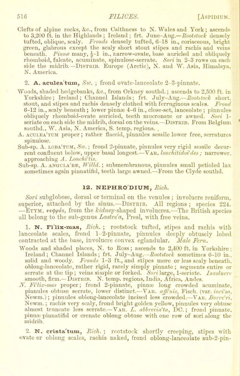 Clefts of alpine rocks, &c, from Caithness to N. Wales and York; ascends to 3,200 ft. in the Highlands ; Ireland ; frt. June-Aug.—Rootstock densely tufted, oblique, scaly. Fronds densely tufted, 6-18 in., coriaceous, bright green, glabrous except the scaly short stout stipes and rachis and veins beneath. Pinna many, J-l in., narrow-ovate, base aurieled and obliquely rhomboid, falcate, acuminate, spinulose-serrate. Sori in 2-3 rows on each side the midrib. —Distkib. Europe (Arctic), N. and W. Asia, Himalaya, N. America. 2. A. aculea turn, Sw. ; frond ovate-lanceolate 2-3-pinnate. Woods, shaded hedgebanks, &c, from Orkney southd.; ascends to 2,500 ft. in Yorkshire; Ireland ; Channel Islands; frt. July-Aug.—Rootstock short, stout, and stipes and rachis deusely clothed with ferruginous scales. Frond 6-12 in., scaly beneath ; lower pinna? 4-6 in., close-set, lanceolate ; pinnules obliquely rhomboid-ovate aurieled, teeth mucronate or awned. Sori 1- seriate on each side the midrib, dorsal on the veins.—Distrib. From Belgium southd., W. Asia, N. America, S. temp, regions. . A. aculea'tum proper; rather flaccid, pinnules sessile lower free, serratures spinulose. Sub-sp. A. loba'tom, Sw. ; frond 2-pinnate, pinnules very rigid sessile decur- rent confluent below, upper basal longest.—Yak. lonchitidoi'des ; narrower, approaching A. Lonchi'tis. Sub-sp. A. angula're, Willd.; submembranous, pinnules small petioled lax sometimes again pinnatifid, teeth large awned.—From the Clyde southd. 12. NEPHRO'DIUM, Rich. Sori subglobose, dorsal or terminal on the venules ; involucre reniform, superior, attached by the sinus.—Distrib. All regions ; species 224. —Etym. ve(pp6s, from the kidney-shaped involucres.—The British species all belong to the sub-genus Lastre'a, Presl, with free veins. 1. N. Fi'lix-mas, Rich. ; rootstock tufted, stipes and rachis with lanceolate scales, frond 1-2-pinnate, pinnules deeply obtusely lobed contracted at the base, involucre convex eglandular. Male Fern. Woods and shaded places, N. to Ross ; ascends to 2,400 ft. in Yorkshire : Ireland; Channel Islands; frt. July-Aug. -Rootstock sometimes 6-10 in., solid and woody. Fronds 1-3 ft., and stipes more or less scaly beneath, oblong-lanceolate, rather rigid, rarely simply pinnate; segments entire or serrate at the tip ; veins simple or forked. Sori\a,rge, 1-seriate. Involucre smooth, firm.—Distrib. N. temp, regions, India, Africa, Andes. JV. Fi'lix-mas proper; frond 2-piunate, pinna? long crowded acuminate, pinnules obtuse serrate, lower distinct.—Yar. affi'nis, Fisch. (var. inci'sa, Newm.); pinnules oblong-lanceolate incised less crowded.—Yah. JBorre'ri, Newm.; rachis very scaly, frond bright golden yellow, pinnules very obtuse almost truncate less serrate.—Var. L. abbrevia'ta, DC; frond pinnate, pinna; pinnatifid or crenate oblong obtuse with one row of sori along the midrib. 2. N. crista'tum, Rich. ; rootstock shortly creeping, stipes with ovate or oblong scales, rachis naked, frond oblong-lanceolate sub-2-pin-