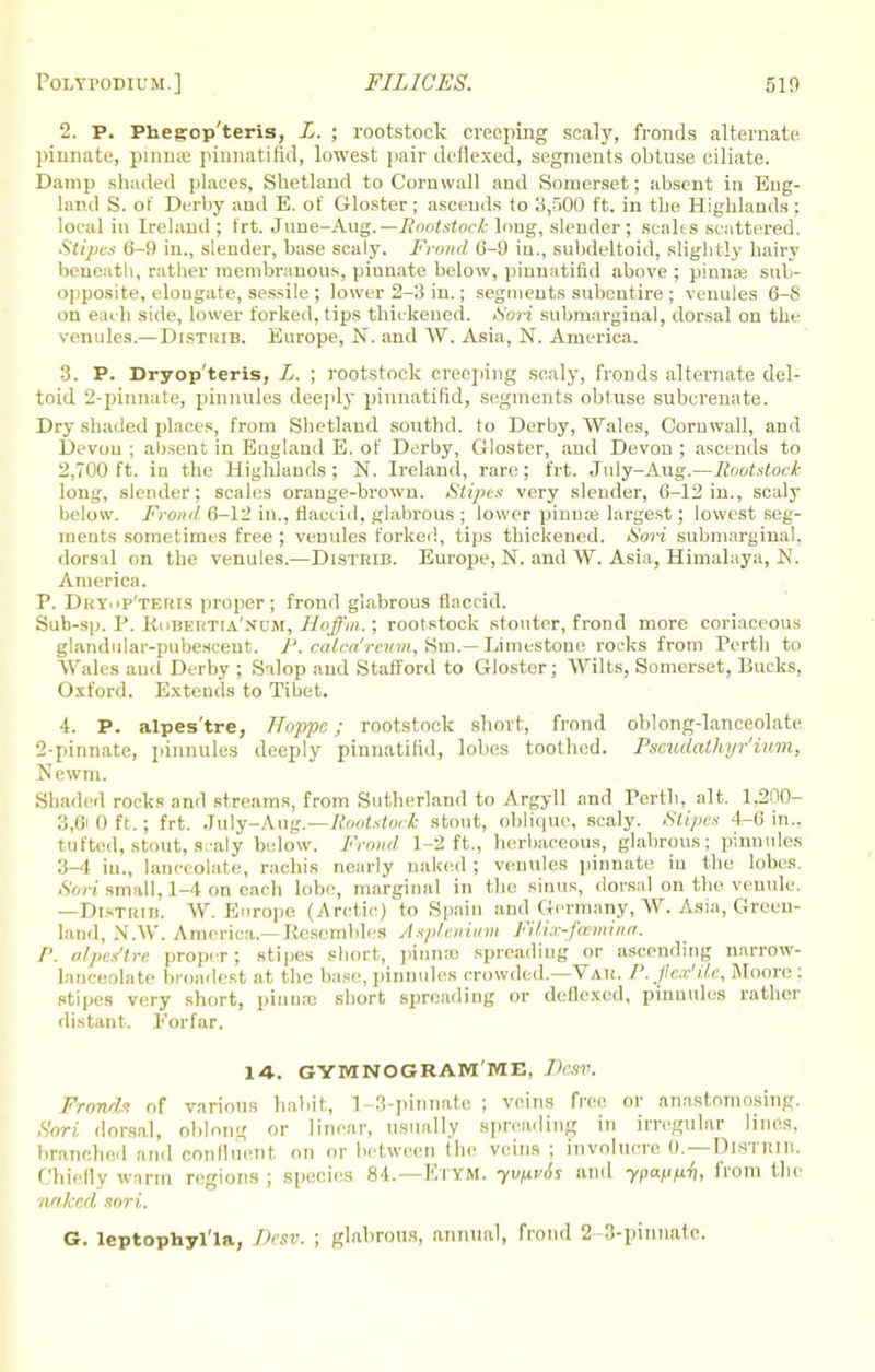 2. P. Phegop'teris, L. ; rootstock creeping scaly, fronds alternate pinnate, pinna; pinnatifid, lowest pair deflexed, segments obtuse ciliate. Damp shaded places, Shetland to Cornwall and .Somerset; absent in Eng- land S. of Derby and E. of Gloster; ascends to 3,500 ft. in the Highlands: local in Ireland ; frt. Jnue-Aug.—Rootstock- long, slender; scabs scattered. Stipes 6-9 in., slender, base scaly. Frond 6-9 in., subdeltoid, slightly hairy beneath, rather membranous, pinnate below, pinnatifid above ; pinna? sub- opposite, elougate, sessile ; lower 2-3 in.; segments subentire ; venules 6-S on each side, lower forked, tips thickened. <S'on submargiual, dorsal on the venules.— Distuib. Europe, N. and W. Asia, N. America. 3. P. Dryop'teris, L. ; rootstock creeping scaly, fronds alternate del- toid 2-pinnate, pinnules deeply pinnatifid, segments obtuse subcrenate. Dry shaded places, from Shetland southd. to Derby, Wales, Cornwall, and Devon ; absent in England E. of Derby, Gloster, and Devon ; ascends to 2,700 ft. in the Highlands; N. Ireland, rare; frt. July-Aug.—Rootstock long, slender; scales orange-brown. Stipes very slender, 6-12 in., scaly below. Frond 6-12 in., flaccid, glabrous ; lower pinna? largest; lowest seg- ments sometimes free ; venules forked, tips thickened. Sort submargiual. dorsal on the venules.—Distrib. Europe, N. and W. Asia, Himalaya, N. America. P. Drycip'teris proper; frond glabrous flaccid. Sub-sp. P. Kobertia'num, Hoffm.; rootstock stouter, frond more coriaceous glandular-pubescent. P. calca'rcmn, Sm.— Limestone rocks from Perth to Wales and Derby ; Salop and Stafford to Gloster; Wilts, Somerset, Bucks, Oxford. Extends to Tibet. 4. P. alpes'tre, Hoppc; rootstock short, frond oblong-lanceolate 2-pinnate, pinnules deeply pinnatifid, lobes toothed. Psmdathyr'ium, Newm. Shaded rocks and streams, from Sutherland to Argyll and Perth, alt. 1,200- 3,610 ft.; frt. July-Aug.—Rootstock stout, oblique, scaly. Stipes -1-6 in., tufted, stout, scaly below. Frond 1-2 ft., herbaceous, glabrous; pinnules 3-1 in., lanceolate, rachis nearly naked; venules pinnate in the lobes. Son small, 1-4 on each lobe, marginal in the sinus, dorsal on the venule. —Distrih. W. Europe (Arctic) to Spain and Germany, W. Asia, Green- land, N.W. America.—Resembles Asptenium Filix-foemina. P. alpes'tre proper; stipes short, pinnae spreading or ascending narrow- lanceolate broadest at the base, pinnules crowded.—Vau. P. jjcx'ile, Moore: stipes very short, pinna; short spreading or deflexed, pinnules rather distant. Forfar, 14. GYMNOGRAMME, Desv. Frond't of various habit, 1 -3-pitmate ; veins free or anastomosing. Sort dorsal, oblong or linear, usually spreading in irregular lines, branched and confluent on 01 between the veins ; involucre 0.—DlSTRln. Chiefly warm regions ; species 84.—Etym. yvfiv6s and ypa/j^, from the naked sori. G. leptophyl'la, Desv. ; glabrous, annual, frond 2 3-pinnate.