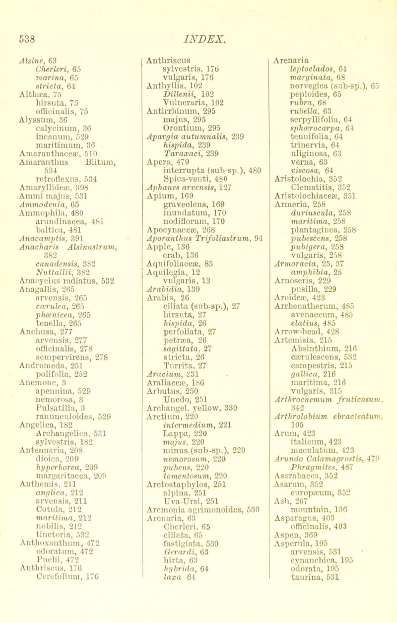 Alsine, 03 Cherleri, 05 marina, 65 stricta, 64 Altliica, 75 liirsuta, 75 officinalis, 75 Alyssum, 36 calycinum, 36 incanum, 529 mnritimum, 36 Amaranthaceae, 510 Amaranthus Blituin, 534 retroflexus, 534 Amarvl]ideu3, 39S Ammi majus, 531 Ammodenia, 65 Ammophila, 480 annul inacea, 481 baltica, 4S1 Anacamptis, 391 Anacliaris Alsinastrum, 382 canadensis, 3S2 Nuttallii, 382 Anaeyelus radiatus, 532 Anagallis, 265 arveusis, 265 catrulea, 265 phainicea, 265 tenella, 265 Anchusa, 277 arveusis, 277 officinalis, 278 sempervirens, 278 Andromeda, 251 polifolia, 252 Anemone, 3 apennina. 529 nemorosa, 3 Pulsatilla, 3 ranunouloides, 529 Angelica, 182 Archangelica, 531 sylvestris, 182 Antemiaria, 208 dioica, 209 hyperborea, 209 margaritaeea, 209 Anthemis, 211 anglica, 212 arveusis, 211 Cotula, 212 maritima, 212 nobllis, 212 tinctoria, 532 Anfhoxanthum, 472 odoratura, 472 Puelii, 472 Anthrisous, 176 Cere folium, 170 Anthrisous sylvestris, 176 vulgaris, 176 Anthyllis, 102 Dillenii, 102 Vulneraria, 102 Antirrhinum, 295 majus, 295 Orontium, 295 Apargia autumnalis, 239 hispida, 239 Taraxaci, 239 Apera, 479 interrupta (sub-sp.), 480 Spica-venti, 480 Aphanes arvensis, 127 Apium, 169 graveolens, 169 inundatum, 170 nodifloruin, 170 Apocynaceoe, 268 Aporanthus Trifoliastrum, 94 Apple, 136 crab, 136 Aquifoliacese, 85 Aquilegia, 12 vulgaris, 13 Arabidia, 139 Arabis, 26 ciliata (sub-sp.), 27 liirsuta, 27 hispida, 26 perfoliata, 27 petraa, 26 sagittata. 27 stricta. 26 Turrita, 27 Aracium, 231 Araliacea:, 186 Arbutus, 250 Unedo, 251 Archangel, yellow, 330 Arctium, 220 intermedium, 221 Lappa, 220 majus. 220 minus (sub-sp.), 220 nemorosum, 220 pubens, 220 tomcntosum, 220 Arctostaphylns, 251 alpina. 251 Uva-Ursi, 251 Aremonia agrimonoides, 530 Arenaria, 63 Cherleri. 05 ciliata, 65 fast.igiata, 530 Gerardi, 63 hirta, 63 hybrida, 64 laxa 01 Arenaria leptoclados, 04 marginata, OS norvegica (sub-sp.), 65 peploides, 65 rubra, 68 rubella. 03 serpyllifolia, 04 splunrocarpa, 04 tenuifolia, 04 trinervia, 04 uliginosa, 63 verna, 03 viscosa, 04 Aristolochia, 352 Clematitis, 352 Aristolochiacese, 351 Armeria, 258 duriuscula, 25S maritima, 258 plantaginea. 258 pubescens, 258 pubigera, 258 vulgaris, 208 Armoracia, 25, 37 amphibia, 25 Arnoseris, 229 pusilla, 229 Aroidea;, 423 Arrhenatherum, 4S5 avenaceum, 485 elatius, 485 Arrow-head, 428 Artemisia. 215 Absinthium, 216 cajrulescens, 532 campestris, 215 gallica, 216 maritima, 210 vulgaris, 215 Art/irocncmum J'ruticosum. 342 Arthrolobium cbraclcatuni. 105 Arum, 423 italicum, 423 maculatum. 423 Arundo Calamagrnstis, 479 Phragmitcs. 4S7 Asarabacca, 352 Asarum, 352 europteum, 352 Ash, 207 mountain, 130 Asparagus, 403 officinalis, 403 Aspen, 309 Asperula, 195 arvensis, 531 cynanchica, 195 odornta, 195 taurina, 531