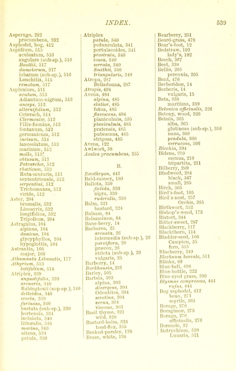 Asperugo, 2S2 procuinbeus, 282 Asphodel, bog, 412 Aspidium, 515 aculeatum, 510 angulare (sub-sp.), 516 Boottii. 517 dumetorum, 517 lobatum (sub-sp.), 516 Lonchitis, 515 remotum, 517 Asplenium, 511 acutum, 513 Adiantuiu-iiigrun), 513 anceps, 512 altermfolium, 512 Ceterach, 514 Clermontce, 512 I'ilix-fcemina, 513 I'ontanum, 512 gennanictim, 512 incisum, 514 lanceolatum, 513 marinum, 512 molle, 513! obtumm, 513 Petrarchm, 512 rhaticum, 513 Ruta-murarin, 511 septentrionale, 512 serpentini, 512 Trichomancs, 512 viride, 512 Aster, 204 brumalis, 532 Linosyris, 532 longif'olius, 532 Tripollum, 204 Astragalus, 104 alpinus, 104 danicux, 104 glycyphyllos, 104 hypoglottis, 104 Astrantia, 166 major, 166 Athamanta Libnnoth, 177 Athyriwn, 618 latifoliiim, 514 Atriplex, 330 anffuttifoHa, 889 armaria, 840 Babingtonll (sup-sp.), 840 deltouua, 340 erecta, 330 farinom, 340 hastata (sub-sp.), 330 hortenslB, 581 laclniata, 340 littoralis, 310 marina, 340 nitons, 531 patuls, 339 Atriplex patula, 340 pedunculata, 341 portulacoides, 341 prostrata, 340 rosea, 340 serrata, 340 Smithii, 340 triangularis, 340 Atropa, 2S7 Belladonna, 2S7 Alropis, 494 Avena, 484 alpina, 485 clatior, 485 fatua, 485 flavescens, 484 planioulmis, 535 planiculmis, 485 pratensis, 485 pubescens, 4S5 strigosa, 485 Avens, 122 Awl wort, 38 Azalea procumbent, 255 B. Bceothryon, 443 Bald-money, 180 Ballota, 330 fostida, 330 nigra, 330 rHrtYrnltK, 330 Balm, 321 bastard, 324 Balsam, 84 Balsamineee, 84 Bane-berry, 14 Barbarea, 25 arcuata, 26 intermedia (sub-sp.), 26 parvlftora, 28 pnecox, 26 strieta (sub-sp.), 26 vulgaris, 25 Barberry, 14 Barkhavsia, 231 Barley, 505 Bartsia, 303 alpina, 808 divergent, 301 Odontites, 304 terotina, 304 verna, 304 viscosn, 808 Basil tliyme, 321 wild. 320 Bastard-balm, 321 toad-flax, 355 Beaked-parsley, 176 Beam, white, 136 Bearberry, 251 Beard-grass, 478 Bear's-foot, 12 Bedstraw, 192 lady's, 192 Beech, 367 Beet, 33S Bellis, 205 perennis, 205 Bent, 476 Berberideae, 14 Berberis, 14 vulgaris, 15 Beta, 338 marltima, 339 Betonica officinalis, 326 Betony, wood, 326 Betula, 365 alba, 365 glutinosa (sub-sp.), 3G6 nana, 366 pendula, 366 verrucosa, 366 Biccllia, 394 Bidens, 210 cernua, 210 tripartita, 211 Bilberry, 249 Bindweed, 284 black, 347 small, 285 Birch, 365 Bird's-foot, 105 Blrd's-nest, 257 Orchis, 3S5 Birthwort, 352 Bishop's-weed, 173 Bistort, 344 Bitter-sweet, 287 Blackberry, 117 Blackthorn, 114 Bladder-seed, 160 Campion, 55 fern, 515 Blaeberry, 249 Blechnum boreale, 611 Blinks, 69 Blue-bell, his Blue-bottle, 222 Blue-eyed grass, 396 Blysmus compressus, 411 r ii I'llS, I t I Hog as*pho<lcl, 412 bean, 273 myrtle, 884 Borage, 276 Boragineso, 275 Borago, 276 officinalis, 276 Borecole. 8S Botrycbiuro, 620 Lunorla, 521