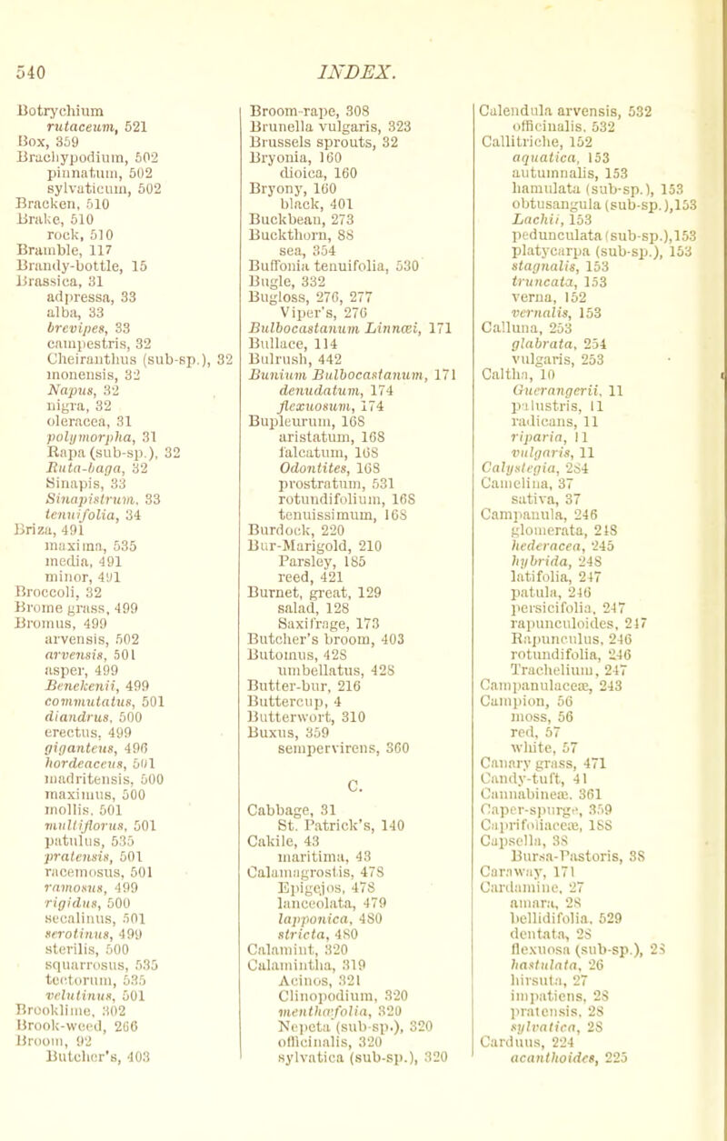 Botrychium rutaceum, 521 Box, 359 Braehypodium, 502 pinnatum, 502 sylvaticum, 502 Bracken, 510 Brake, 510 rock, 510 Bramble, 117 Brandy-bottle, 15 Brassica, 31 adpressa, 33 alba, 33 brcvipes, 33 cnmi>estris, 32 Cheiranthus (sub-sp.), 32 inonensis, 32 Napus, 32 nigra, 32 oleracea, 31 polymorpha, 31 Rapa (sub-sp.), 32 Rnta-haga, 32 Sinapis, 33 Sinapistrum, 33 ienui/olia, 34 Briza, 491 maxima, 535 media, 491 minor, 4!)1 Broccoli, 32 Brome grass, 499 Bromns, 499 arvensis, 502 arvensis, 501 asper, 499 Benckenii, 499 commutatus, 501 diandrus, 500 erectus, 499 giganteus, 496 hordeaceus, 5»1 loadritensis, 500 maxinnis, 500 mollis, 501 multiflorus, 501 patnlus, 535 pratensis, 501 raoemosus, 501 ramosus, 499 rigidut, 500 Hecalinus, 501 serotinus, 499 sterilis, 500 squarrosus, 535 teotormn, 535 velutinus, 501 Brookllme, 302 Brook-weed, 206 Broom, 92 Butcher's, 403 Broom -rape, 308 Brunella vulgaris, 323 Brussels sprouts, 32 Bryonia, 160 clioica, 160 Bryony, 160 black, 401 Buckbean, 273 Buckthorn, 88 sea, 354 Buffonia tenuifolia, 530 Bugle, 332 Bugloss, 270, 277 Viper's, 276 Bulbocaslanum Linncei, 171 Bullace, 114 Bulrush, 442 Bunium Bulbocastanum, 171 denudatum, 174 flexuosum, 174 Bupleuruni, 16S aristatum, 168 falcatmn, 168 Odontites, 16S prostratum, 531 rotundifolium, 16S tenuissimum, 16S Burdock, 220 Bur-Marigold, 210 Parsley, 185 reed, 421 Burnet, great, 129 salad, 128 Saxifrage, 173 Butcher's broom, 403 Butomus, 42S umbellatus, 42S Butter-bur, 216 Buttercup, 4 Butterwort, 310 Buxus, 359 sempervirens, SCO C. Cabbage, 31 St. Patrick's, 140 Cakile, 43 maritima, 43 Calamagrostis, 47S Eplgejos, 478 lanceolate, -179 lapponica, 4S0 stricta, ISO Calamint, 320 Calamintha, 319 Acinos, 321 Clinopodium, 320 mentha'fotia, 320 Nepeta (sub-sp.), 320 officinalis, 820 sylvatiea (sub-sp.), 320 Calendula arvensis, 532 officinalis. 532 Callitriche, 152 aquatica, 153 autuinnalis, 153 hamulata (sub-sp.), 153 obtusangula (sub-sp. ),153 Lachii, 153 pedunculata (sub-sp.), 153 platycarpa (sub-sp.), 153 stagnalis, 153 truncate, 153 verna, 152 vcrnalis, 153 Ca'.luna, 253 glabrata, 254 vulgaris, 253 Oaltha, 10 Guerangerii, 11 palustris, II radicans, 11 riparia, 11 vulgaris, 11 Calystegia, 284 Camelina, 37 sativa, 37 Campanula, 246 glomerata, 2JS hederacea, 245 hybrida, 248 latifolia, 247 patula, 246 persicifolia, 247 rapunculoides, 247 Rapunculus, 246 rotundifolia, 246 Tracheliuni, 247 Campanulacea;, 243 Campion, 56 moss, 56 red, 57 white, 57 Canary grass, 471 Candy-tuft, 41 Cannabineae, 361 Oaper-spurge, 359 Caprifoliaceae, iss Capsella, 38 Bnrsa-Pastoris, 38 Caraway, 171 Cardamine, 27 amara, 28 bellldifolia, 529 dentata, 28 flexuosa (sub-sp ), 23 hastttlata, 26 hirsute, 27 impatiens, 2S pratensis, 2S sylvatiea, 2S Carduus, 224 acantlioides, 225