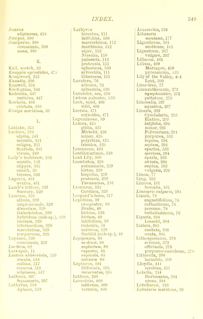 Juncus uliginoms, 418 Juniper, 380 •) uniperos, 380 communis, 380 nana, 3so K. Kail, scotch, 32 Knappia agrottidea, 475 Knapweed, 222 Knautia, 200 Knawell, 334 Km it-grass, 346 Kobresia, 447 caricina, 447 Kocleria, 4.ss cristata, 4SS Kiiiiiya maritima, 36 L. Labiate, 313 Lactucn, 240 alpina, 241 miiralis, 241 saligna, 211 Scariola, 241 virosa, 240 Lady's bedstraw, 102 mantle, 126 slipper, 395 smock, 28 tresses, 386 Lagurus, 4.sl ovatus, 481 Lamb's lettuce, 197 Succory, 229 Lamium, 828 album, 329 ampkxicaule, 329 disscctum, 329 Galeobdolon, 330 hybridan (sub-sp.), :;29 incinum, 329 intermedium, 329 maculatum, 329 purpareum, 828 Lapsana, 229 communis, 229 harbrta, 62 Larkspur, 11 fjiwlrcu til>brevmta, 510 mmula, 518 collina, 517 reeurva, 618 uliginota, 517 Lathraa, 307 Squamaria, 307 Lathyrus, no Aphaca, 110 Lathyrus hirsutus, 111 latifolius, 580 macrorhizus, 112 maritimus, 112 uiger, 112 Nissolia, 110 palustris, 112 prateusis, 111 sphffiricus, 530 sylvestris, in tuberosus, ill Lavatcra, 76 arborca, 76 sylvestris, 530 Lavender, sea, 258 Ledum palustre, 533 Leek, sand, 406 wild, 406 Leersia, 471 oryzoides, 471 Leguminosa1, 89 Lemna, 425 gibba, 425 Michelii, 426 minor, 425 polyrhiza, 425 trisulca, 425 Lcmnacere, 424 Lentibularineaj, 310 Lent Lily, 399 Leontodou, 238 autumnalis, 239 hirtus, 239 hispidus, 239 pratenti$, 239 Taraxacum, 210 Leonoras, 328 Cardiaca, 328 Lcopard's-baue, 217 Lepidium, :;o eainpestro, 40 Draba, 40 hirtuin, 529 hirtum, 40 latifolium, ..') rudcrale, .'(9 sativum, 529 SmlthU (sub-sp.), 40 Lcpigonum, 68 vudium, 68 neglectum, us rupestre, 68 rupicoUt, 68 latinum 68 Lepturus, 5o i lllifonnis, 505 Ineurvoixu, 505 Lettuce, 240 Leueojum, 400 [Bstlvum, (00 veruum, 100 Lcucorchis, 394 Libanotis Montana, 177 Ligusticum, 181 scoticum, 181 Ligustrum, 267 vulgare, 267 Liliaeeai, 401 Lilium, 409 Martagon, 410 pyrenaicmn, 535 Lily of the Valley, 4(.4 Lent, 399 Lime-tree, 77 Limnanthemum, 273 nymphecoides. 273 peltatum, 273 Limosella, 297 aquatica, 297 Linaria, 293 Cymbalaria, 293 Elatine, 293 latifolia, 294 minor, 295 Pelisseriana, 291 purpurea, 533 repens, 294 sepium, 294 spartea, 533 speciosa, 294 spuria, 293 striata, 294 supina, 533 vulgaris, 294 Lineai, 77 Ling, 253 Linnuea, 191 borealis, 191 LinoiyrU vulgaris, 204 Linum, 78 angustifolium, 78 catharticum, 78 perenne, 78 luitatissimum, 7s Liparis, 884 Loeselii, 384 Listcra, 385 cordata, 880 ovata, 385 Lithospornmm, 278 arvensc, 279 officinale, 278 purpureo-cawuleum, 270 Littorella. 200 lacustris, 290 Lloydia, 411 serofina, 111 Lobelia, 214 Dortmanna, 214 arena, 244 Lobellacero, 21:: LobvXaria maritima, 36