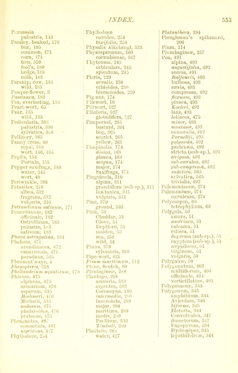 Purnassla ]uilustris, 143 Parsleyg beaked, 176 bur, 1S5 common, 171 rem, 171 rem, 510 fool's, ISO hedge, 185 milk, 183 Parsnip, cow, 1S3 wild, 183 Pasque-flower, 3 PasHnaea, 183 Pea, everlasting, 110 Pearl-wort, 65 I'ear, 135 wild, 135 Pedicularis, so.'i palustria, 3015 sylvatica, 3u0 Pellitory, 363 Peuny cress, 40 royal, 318 wort, 140, 105 Peplis, 151 Portula, 155 Pepper saxifrage, ISO water, 345 wort, 40 Periwinkle, 208 Petasites, 2ie albus, 582 fragrans, 532 vulgaris, 210 Pttrottlinum sativum, 171 Peucedanum, 182 officinale, 1S2 Ostrutliium, 183 palustre, 1-3 sativum, 183 Phaca astragalina, 104 Pliuiaris. 471 vrundinacea, 472 canadensis, 471 paradoxa, 535 Pheaaant's-eye, 1 I'ltrgtiittrria, 518 PhfllitudyiuuL Oqu&llcum, 1 Phleum, 475 ulpinuni, 475 arenarium, 476 asperum, 686 Boehmerl, 476 Miohelli, 535 nodosum, 475 phalaroides, 476 pretense, 175 Phragmites, 48,' uoinniunfs, 487 niariC'int, 4^7 Fhyllodooe, 254 Phyllodoce cffirulea, 254 taxifolia, 254 Pliysalis Alkukengi, 533 Phyaoapermum, 106 cornubiense, 107 rkyteuma, 245 orbiculare, 245 spicatum, 245 Picris, 229 arvali.i, 230 ccliioides, 230 hieracioides, 229 Pig-nut, 174 I ilewort, 10 Pillwort, 527 I'ilularia, 527 globulifera, 527 Pimpernel, 265 bastard, 264 bog, 265 scarlet, 265 yellow, 263 1 [inpinella, 173 diuica, 16S glaitca, 168 magna, 174 major, 174 Saxifrage, 174 Pinguicula, 310 alpina. 811 grandiflora (sub-sp.), 311 lusitanica, 811 vulgaris, 311 Pine, 379 ground, 333 Pink, 68 Cheddar, 53 Clove, 54 Deptibrd, 53 maiden, 53 sea, 258 wild, r,i PInus, 379 sylvestrls, 3S0 Pipe-wort, 421 Visum maritlmvm, 112 Piano, Scotch, 89 Phintsgiuete, 2158 Plantugo, 288 arennria, 538 argentea, 688 Coronopus, i!80 intermedia, 2*H lanceoluta, 2sw major, 288 morttlma, 2S9 media, 2M> Psj Ilium, 533 Timbali, 2s9 Plantain, 288 water, 427 Platanihera, 394 Ploughman's spikenard, 206 Plum. 114 Plumbagines3, 257 Poa, 491 alpina, 493 angwstifolia, 492 annua, 491 Balfourii, 493 bulbosa, 493 ca'sia, 493 compressa, 492 Jlexuom, 493 glauca, 493 Koehvi, 492 laxa, 493 loliacca, 475 minor, 493 vioniana, 493 nemoralis, 492 Pamellii, 493 pglynoda, 492 prateusis, 492 stricta (sub-sp.), 493 tlrigosa, 492 tuo-carulea, 492 ffib-compresta, 492 sudeticu. 665 sylvatica, 505 trivialis, 492 Poleinoniacese, 274 I 'uleiiionium, 274 csEruleum, 274 Polycarpon, 68 tetraphyllum, 69 Polygala, 50 amara, 51 auxtriaca, 51 calcarea, 51 eiliata, 51 depressa (sub-sp.)i 61 oxyptera (sub-sp.), 51 scrpyllacva., 51 uliginose, 61 vulgaris, 50 Polygaleie, 50 Polygonatuui, 403 multiflorum, 404 officinale, 401 verticillatum, 403 Polygonacete, 343 Polygonum, 343 uinphibimn, 844 Avfculare, 346 biSorme, 845 Blstorta, 344 Convolvulus, 347 dumetorum, 317 Kagopyruin, 534 Bydropiper, 345 lapathuolluin, 344