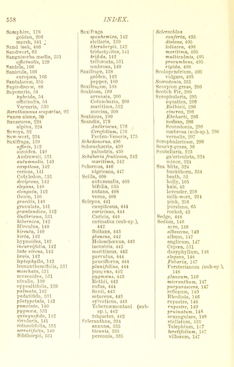 Samphire, 1S golden, 200 marsh, 341 J Sand leek, 406 Sandwort, 63 Sanguiswba media, 531 officinalis, 129 Sanicle, 166 Sanicula, 106 europtea, 166 Santalaceaj, 355 Sapindaceae, 88 Saponaria, 54 hybrida, 54 officinalis, 54 Vaccaria, 530 Sarothamnus scoparius, 02 Sauce alone, 30 Saussurea, 224 alpina, 224 Savoys, 32 Haw-wort, 224 Saxifraga, 139 affivis, 142 aizoides, 140 Andrewsii, 531 autumnalis, 140 cwspitosa, 142 cenrna, 141 Cotyledon, £31 decipiens, 142 elegans, 140 elongata, 142 Geum, 140 gracilis, 140 granulata, 141 grcenlandica, 142 Guthriana, 531 hibernica, 142 Hirculus, 140 hirsuta, 140 hirta, 142 liypnoides, 142 incurvifolia, 142 leete-virens, 142 la'vis, 142 leptophylla, 142 leucanthemifolia, 531 moncftafn, 531 museoides, 531 nivalis, 139 oppositifolia, 139 palmata, 142 pedatifida, 531 platypetala, 142 punctata, 140 pygma'a, 531 qninquejida, 142 rivularis, 141 rotundifolia, 531 srrrati folia, 1 In Sibthorpii, 531 Saxifraga sponhemica, 142 stellaris, 139 Sternbergii, 142 tridaetyiites, 141 triflda, 142 trifurcata, 531 nmbrosa, 140 Saxifrage, 138 golden, 142 pepper, 180 Saxifrages, 138 Scabiosa, 199 arvensis, 200 Columbaria, 200 maritime, 532 sueeisa, 200 Scabious, 199 Scandix, 175 Anthriscus, 176 Cerefolium, 176 Pecten-Veneris, 175 Schcdonorus, 496 Scheuehzeria, 430 palustris, 430 Schoberia fruticosa, 342 maritima, 342 Schoemis, 446 nigricans, 447 Scilla, 408 autumnalis, 408 bifolia, 535 nutans, 408 verna, 408 Seirpus, 441 casspitosus, 444 caricinus, 444 Caricis, 444 carinatus (sub-sp.), 442 fluitans, 443 glaucus, 442 Holoschcenus, 443 lacustris, 442 maritimus, 442 parvnlus, 444 pauciflonis; 444 planifolius, 444 punf ens, 442 pygmmus, 443 Rotllii, 442 rufus, 414 Savii, 443 setaceus, 443 sylvaticus, 443 Tabernicmontani (sub- sp.), 442 trlqueter, 442 Scleranthus, 334 animus, 335 biennis, 335 pcrennis, 335 Sclerochloa conferta, 495 distant, 495 loliacea, 498 maritima, 495 multiculmis, 495 procumbens, 495 rigida, 498 Scolopendrium, 493 vulgare, 493 Scorodonia, 331 Scorpion grass, 280 Scotch Fir, 3S0 Scrophularia, 295 aquatica, 296 Balbisii, 296 cinerea, 296 Ehrharti, 296 nodosa, 296 Scorodonia, 296 nmbrosa (sub-sp.), 296 vernalis, 297 Scrophularinea?, 296 Scurvy-grass, 36 Scutellaria, 323 ga'ericulata, 324 minor, 324 Sea blite, 324 buckthorn, 354 heath, 52 holly, 165 kale, 43 lavender, 258 milk-wort, 264 pink, 258 purslane, 65 rocket, 43 Sedge, 44S Sedum, 146 acre, 14S albescens, 149 album, 147 anglicum, 147 Cepoea, £31 dasyphyllum, I IS elegans, 148 Fabaria, 147 Forsterianum (sub-sp \ 148 glaucum, 149 micranthum, 117 pnrpurascens, 147 reflexum, 149 Rhodlola, 146 rupestre, 14S rupestre, 149 pruinatum. 148 sexangulare, 148 stellatum, 531 Telephium, 17 teretifolium, 147 villosum, 147
