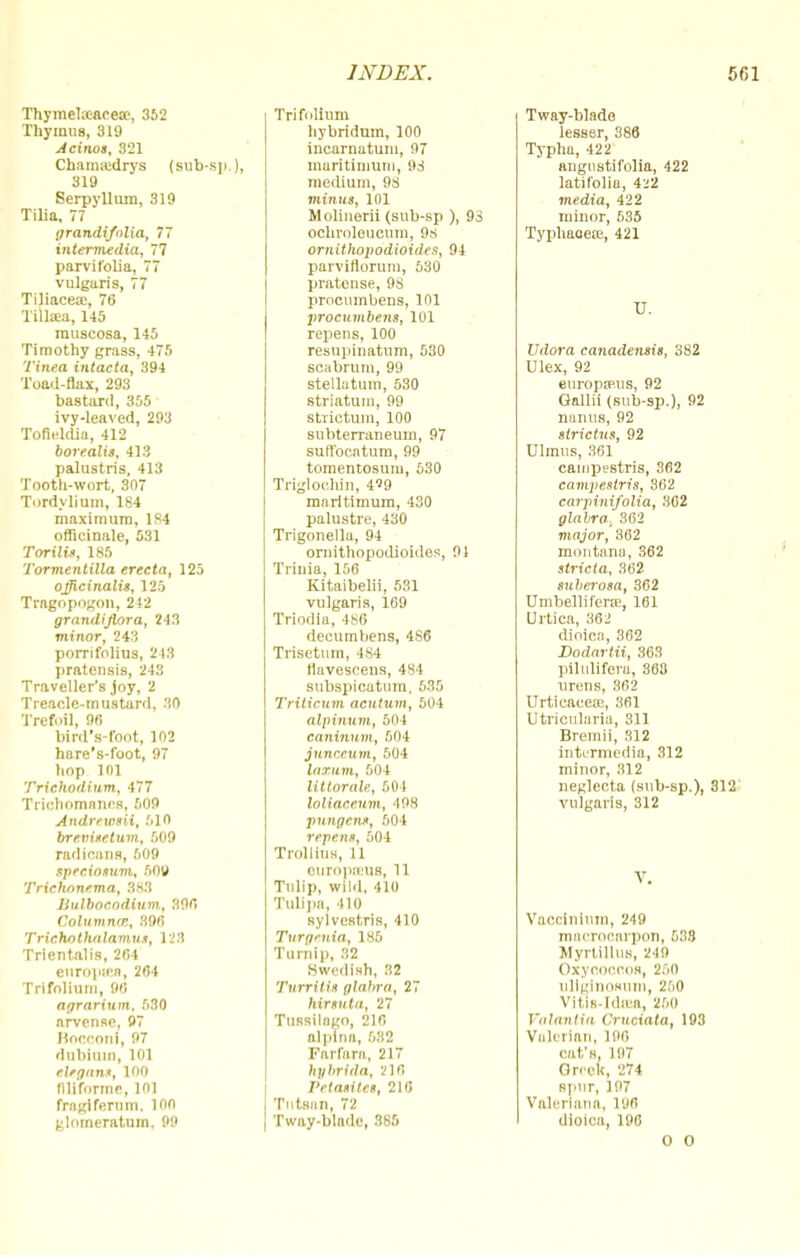 Thymel.eareoe, 352 Thymus, 319 Acinos, 321 Chamsedrys (sub-sp.), 319 Serpyllum, 319 Tilia, 77 grandi/olia, 77 intermedia, 77 parvifoUa, 77 vulgaris, 77 Tiliaceai, 76 Tilliea, 145 rauscosa, 145 Timothy grass, 475 Tinea intacta, 394 Toad-flax, 293 bastard, 355 ivy-leaved, 293 Tofieldia, 412 borealis, 413 palustris, 413 Tooth-wort, 307 Tordylium, 184 maximum, 1S4 officinale, 531 Torilit, 185 TormentUla erccta, 125 officinalis, 125 Tragopogon, 242 grandifiora, 213 minor, 243 porrifolius, 213 pratensis, 243 Traveller's joy, 2 Treacle-mustard, 30 Trefoil, 96 bird's-foot, 102 hare's-foot, 97 hop L0] Trichodium, 477 Trichomanes, 509 Andrrwsii, 510 brevisetum, 509 radicans, 609 sprr.iosum, 509 Trichnnema, 383 BulboeodUtm, 390 ColumncB, 896 Triehothalamtu, 128 Trientalis, 204 enroptea, 264 Trifolium, 90 agrarium, 530 arvense, 97 Bocconi, 97 dnbitun, 101 tlrgnns, 100 liliforme, 101 fragifernm, loo glomeratum. 99 Trifolium hybridum, 100 incarnutum, 97 maritimum, 98 medium, 98 minus, 101 Molinerii (sub-sp ), 98 ochroleucum, 98 ornithopodioides, 94 parviflorum, 530 pratcnse, 98 procnmbens, 101 procumbens, 101 repens, 100 resupinatum, 530 scabrum, 99 stellatum, 530 striatum, 99 strictum, 100 subterraneum, 97 Buffoctitum, 99 tomentosum, 530 Triglochin, 4^9 maritimum, 430 palustre, 430 Trigonella, 94 ornithopodioides, 91 Trlnia, 156 Kitaibelii, 581 vulgaris, 169 Triodia, 486 decumbens, 4S6 Trisetum, 484 tlavescens, 481 subspicatum, 535 Triticum acntum, 504 alpinum, 504 caninum, 604 junnnun, 504 laxwm, 504 Uttorale, 504 loliaceum, '198 pungent, 504 repent, 504 Trolling, 11 europKus, il Tulip, wild, 410 Tulipa, 410 sylvestris, 410 Tvrgmia, 185 Turnip, 32 Swedish., 32 Turritit glabra, 27 Mrtuta, 27 Tussilngo, 216 alplna, 532 Parfara, 217 hyhrida, 216 Prtasites, 216 Tutsan, 72 Tway-blade, 385 Tway-blade lesser, 386 Typha, 422 angustifolia, 422 latifolia, 422 media, 422 minor, 535 Typhaoete, 421 0. Udora canadensis, 382 Ulex, 92 europaRus, 92 Gallii (sub-sp.), 92 nanus, 92 sirictus, 92 Dlmus, 361 campestris, 362 campestris, 362 carpinifolia, 302 glabra, 362 major, 362 montn.no, 362 stricta, 362 suberosa, 362 UmbelliferaB, 161 Urtica, 362 dioica, 362 Dodartii, 363 pilulifern, 863 urens, 302 Urtiencea;, 361 Utricularia, 311 Bremii, 312 intermedia, 312 minor, 312 neglecta (sub-sp.), 312 vulgaris, 312 V. Vaccininm, 249 macrocarpon, 633 Myrtillus, 249 Oxyooofloi, 250 uTiginomim, 260 Vltis-Idtea, 250 Valantia Crticiata, 193 Valerian, 190 rat's, 197 Greek, 274 spur, 197 Valeriana, 196 dioica, 196 0 O