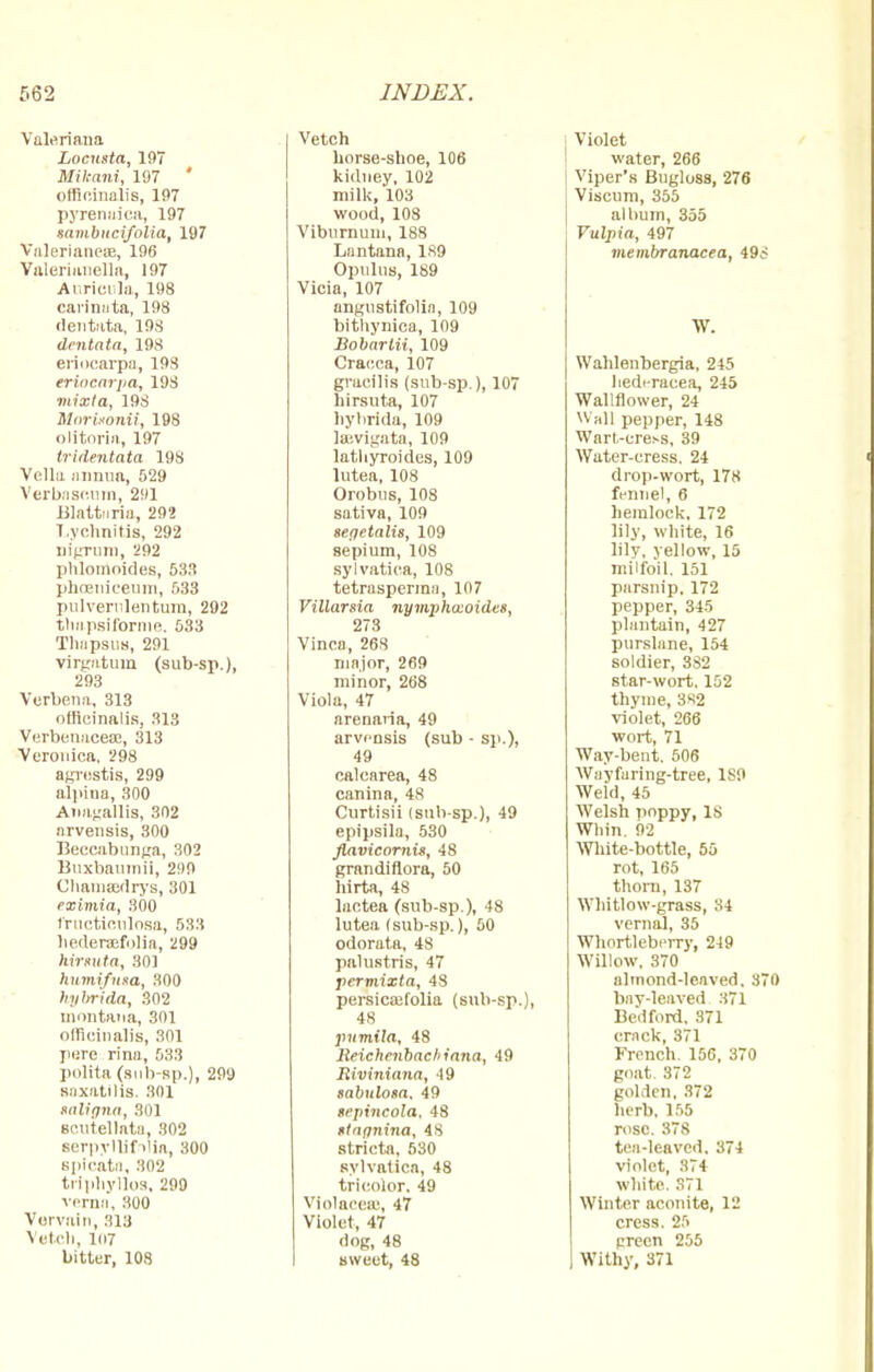 Valeriana Locusta, 197 Mikani, 197 ' officinalis, 197 pyrenaica, 197 xavibucifoliat 197 Valerianeee, 196 Vulerianella, 197 Auricula, 198 carinata, 198 dentata, 198 dentata, 198 eriocarpa, 198 erincarpa, 198 mixta, 19S Morinonii, 198 olitoria, 197 tridentata 198 Vella annua, 529 Verbnseum, 291 Blatturia, 292 Lychnitis, 292 nigrum, 292 Iihlomnides, 53.1 phceniceum, 533 pulverulentum, 292 tliapsiformc. 533 Tlinpsna, 291 virgatum (sub-sp.), 293 Verbena, 313 officinalis, 313 Verbenacea;, 313 Veronica, 298 agrcstis, 299 alpina, 300 Anagallis, 302 nrvensis, 300 Beccabunga, 302 Buxbaumii, 299 Chamsedrys, 301 eximia, 300 Iructiculosa, 533 hederaefolia, 299 hirsuta, 30] humifusa, 300 hybrida, 302 montana, 301 officinalis, 301 pere rina, 533 polita (sub-sp.), 299 saxatilis. 301 taligna, 301 Bcutellata. 302 serpyllif >'ia, 300 spicata, 302 triphyllos, 299 verna, 300 Vervain, 313 Vetch, 107 bitter, 108 Vetch horse-shoe, 106 kidney, 102 milk, 103 wood, 108 Viburnum, 188 Lnntana, 189 Opulus, 189 Vicia, 107 angustifolin, 109 bithynica, 109 Bobartii, 109 Cracca, 107 gracilis (sub-sp.), 107 hirsuta, 107 hybrida, 109 laevigata, 109 lathyroides, 109 lutea, 108 Orobus, 108 sativa, 109 seqetalis, 109 sepium, 108 sylvatica, 108 tetrasperma, 107 Villarsia nymphaioidet, 273 Vinca, 268 major, 269 minor, 268 Viola, 47 arenaria, 49 arvensis (sub - sp.), 49 calcarea, 48 canina, 48 Curtisii (sub-sp.), 49 epipsila, 530 fiavicornis, 48 grandiflora, 50 hirta, 48 lactea (sub-sp ), 48 lutea (sub-sp.), 50 odorata, 48 palustris, 47 permixta, 48 persicsefolia (sub-sp.), 48 pnmila, 48 lieichenbacliinna, 49 Riviniana, 49 sabulosa. 49 tepincola. 48 ttnqnina, 48 stricta, 530 sylvatica, 48 tricolor. 49 Violacese, 47 Violet, 47 dog, 48 sweet, 48 Violet water, 266 Viper's Bugloss, 276 Viscum, 355 album, 355 Vulpia, 497 membranacea, 496 W. Wahlenbergia, 245 liedi-racea, 245 Wallflower, 24 Wall pepper, 148 Wart-cress, 39 Water-cress. 24 drop-wort, 178 fennel, 6 hemlock. 172 lily, white, 16 lily, yellow, 15 milfoil. 151 parsnip, 172 pepper, 345 plantain, 427 purslane, 154 soldier, 382 star-wort. 152 thyme, 382 violet, 266 wort, 71 Way-bent. 506 Wayfaring-tree, 1S9 Weld, 45 Welsh poppy, IS Whin. 92 White-bottle, 55 rot, 165 thorn,137 Whitlow-grass, 34 vernal, 35 Whortleberry, 249 Willow, 370 almond-leaved, 370 bay-leaved. 371 Bedford, 371 crack, 371 French. 156, 370 goat. 372 golden, 372 herb. 155 rose. 378 tea-leaved, 374 violet, 374 white. S71 Winter aconite, 12 cress. 25 preen 255 Withy, 371