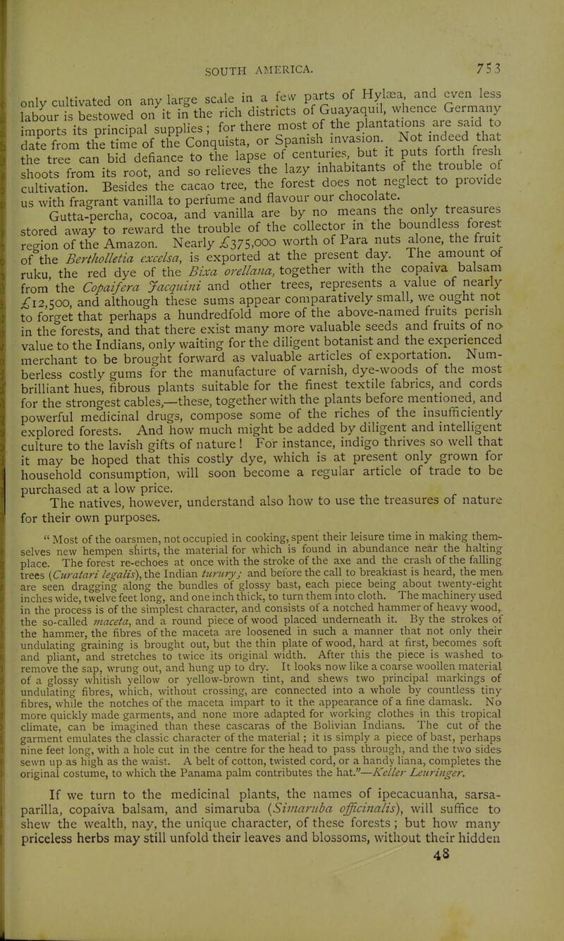 only cultivated on any large scale ia a few parts of Hyl^a and even less labour s bestowed on it i^ the rich districts of Guayaquil, whence Germany m^^^^^^^^^^ supplies; for there most of the plantations are said to date from the time of the Conquista, or Spanish invasion Not mdeed that the tree can bid defiance to the lapse of centuries^ but it puts forth shoots from its root, and so relieves the lazy inhabitants of the trouble of cultivation. Besides the cacao tree, the forest does not neglect to provide us with fragrant vanilla to perfume and flavour our chocolate. Gutta-percha, cocoa, and vanilla are by no means the only treasures stored away to reward the trouble of the collector in the boundless forest reo-ion of the Amazon. Nearly ;^375,ooo worth of Para nuts alone, the fruit of the Bertholletia excelsa, is exported at the present day. The amount ot ruku the red dye of the Bixa orellana, together with the copaiva balsam from' the Copaifera Jacquini and other trees, represents a value of nearly ;^I2,500, and although these sums appear comparatively small, we ought not to forget that perhaps a hundredfold more of the above-named fruits perish in the forests, and that there exist many more valuable seeds and fruits of no value to the Indians, only waiting for the diligent botanist and the experienced merchant to be brought forward as valuable articles of exportation. Num- berless costly gums for the manufacture of varnish, dye-woods of the most brilliant hues, fibrous plants suitable for the finest textile fabrics, and cords for the strongest cables,—these, together with the plants before mentioned, and powerful medicinal drugs, compose some of the riches of the insufficiently explored forests. And how much might be added by diligent and intelligent culture to the lavish gifts of nature ! For instance, indigo thrives so well that it may be hoped that this costly dye, which is at present only grown for household consumption, will soon become a regular article of trade to be purchased at a low price. The natives, however, understand also how to use the treasures of nature for their own purposes.  Most of the oarsmen, not occupied in cooking, spent their leisure time in making them- selves new hempen shirts, the material for which is found in abundance near the halting place. The forest re-echoes at once with the stroke of the axe and the crash of the falling trees {Curatari legalis), the Indian Umiryj and before the call to breaktast is heard, the men are seen dragging along the bundles of glossy bast, each piece being about twenty-eight inches wide, twelve feet long, and one inch thick, to turn them into cloth. The machinery used in the process is of the simplest character, and consists of a notched hammer of heavy wood,, the so-called maceta, and a round piece of wood placed underneath it. By the strokes of the hammer, the fibres of the maceta are loosened in such a manner that not only their undulating graining is brought out, but the thin plate of wood, hard at first, becomes soft and pUant, and stretches to twice its original width. After this the piece is washed to- remove the sap, wrung out, and hung up to dry. It looks now like a coarse woollen material of a glossy whitish yellow or yellow-brown tint, and shews two principal markings of undulating fibres, which, without crossing, are connected into a whole by countless tiny fibres, while the notches of the maceta impart to it the appearance of a fine damask. No more quickly made garments, and none more adapted for working clothes in this tropical climate, can be imagined than these cascaras of the Bolivian Indians. The cut of the garment emulates the classic character of the material; it is simply a piece of bast, perhaps nine feet long, with a hole cut in the centre for the head to pass through, and the two sides sewn up as high as the waist. A belt of cotton, twisted cord, or a handy liana, completes the original costume, to which the Panama palm contributes the hat.—Keller Leu?-inge?'. If we turn to the medicinal plants, the names of ipecacuanha, sarsa- parilla, copaiva balsam, and simaruba {Simaruba officinalis), will suffice to shew the wealth, nay, the unique character, of these forests; but how many priceless herbs may still unfold their leaves and blossoms, without their hidden 48