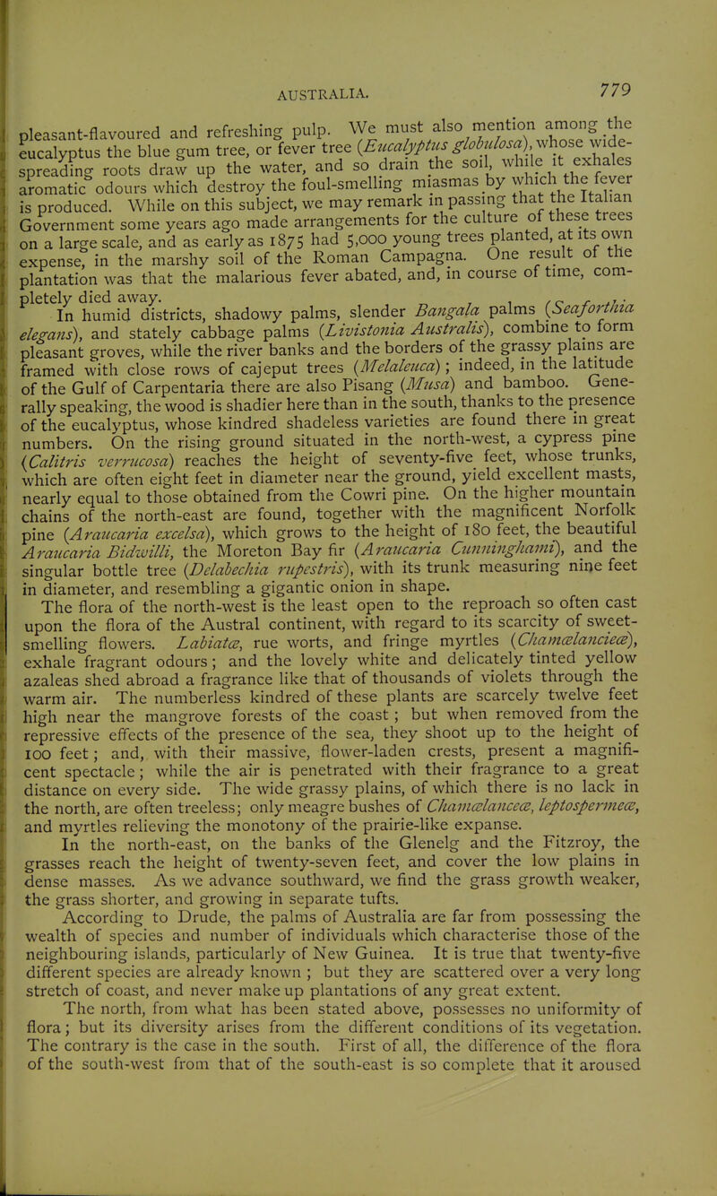 pleasant-flavoured and refreshing pulp. We must also mention among the eucalyptus the blue gum tree, or fever tree (^./.^/j///./^ ^/^^f^to), whose wide- spreading roots draw up the water, and so drain the soil while it exhales a?omatic%dours which destroy the foul-smelling miasmas by which the fever is produced. While on this subject, we may remark in passing that the Italian Government some years ago made arrangements for the culture of these trees on a large scale, and as early as 1875 had 5.000 young trees planted, at its own expense? in the marshy soil of the Roman Campagna. One result of the plantation was that the malarious fever abated, and, in course of time, com- pletely died away. / o r ^/ • In humid districts, shadowy palms, slender Bangala palms {Seafort/tta elegans), and stately cabbage palms {Livistonia Australis), combine to form pleasant groves, while the river banks and the borders of the grassy plains are framed with close rows of cajeput trees (^Melaleuca); indeed, in the labtude of the Gulf of Carpentaria there are also Pisang {Miisd) and bamboo. Gene- rally speaking, the wood is shadier here than in the south, thanks to the presence of the eucalyptus, whose kindred shadeless varieties are found there in great numbers. On the rising ground situated in the north-west, a cypress pine (Calitris verrucosa) reaches the height of seventy-five feet, whose trunks, which are often eight feet in diameter near the ground, yield excellent masts, nearly equal to those obtained from the Cowri pine. On the higher mountain chains of the north-east are found, together with the magnificent Norfolk pine (Araucaria excelsa), which grows to the height of 180 feet, the beautiful Araucaria Bidwilli, the Moreton Bay fir {Araucaria Cunninghami), and the singular bottle tree {Delabechia rupestris), with its trunk measuring nine feet in diameter, and resembling a gigantic onion in shape. The flora of the north-west is the least open to the reproach so often cast upon the flora of the Austral continent, with regard to its scarcity of sweet- smelHng flowers. Labiates, rue worts, and fringe myrtles {ChamcBlanciecB), exhale fragrant odours; and the lovely white and delicately tinted yellow azaleas shed abroad a fragrance like that of thousands of violets through the warm air. The numberless kindred of these plants are scarcely twelve feet high near the mangrove forests of the coast; but when removed from the repressive effects of the presence of the sea, they shoot up to the height of 100 feet; and, with their massive, flower-laden crests, present a magnifi- cent spectacle; while the air is penetrated with their fragrance to a great distance on every side. The wide grassy plains, of which there is no lack in the north, are often treeless; only meagre bushes of Chavtcslaiicece, leptosperme(S, and myrtles relieving the monotony of the prairie-like expanse. In the north-east, on the banks of the Glenelg and the Fitzroy, the grasses reach the height of twenty-seven feet, and cover the low plains in dense masses. As we advance southward, we find the grass growth weaker, the grass shorter, and growing in separate tufts. According to Drude, the palms of Australia are far from possessing the wealth of species and number of individuals which characterise those of the neighbouring islands, particularly of New Guinea. It is true that twenty-five different species are already known ; but they are scattered over a very long stretch of coast, and never make up plantations of any great extent. The north, from what has been stated above, possesses no uniformity of flora; but its diversity arises from the different conditions of its vegetation. The contrary is the case in the south. First of all, the difference of the flora of the south-west from that of the south-east is so complete that it aroused