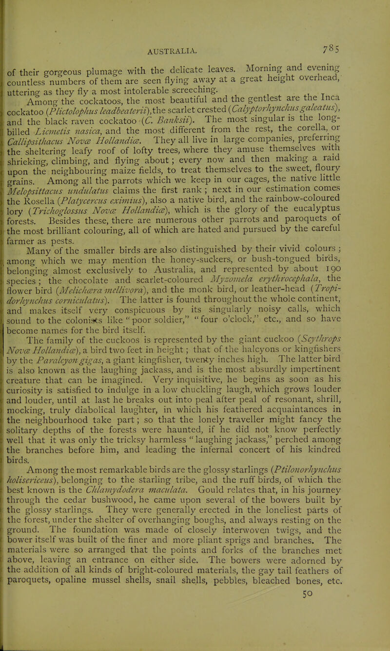 of their gorgeous plumage with the delicate leaves. Morning and evening countless numbers of them are seen flying away at a great height overhead,- uttering as they fly a most intolerable screeching. Among the cockatoos, the most beautiful and the gentlest are the Inca cockatoo iPlictolophus leadbeaierii),thQ scarlet crested {Calyptorhynchusgaleatus), and the black raven cockatoo \C. Banksii). The most singular is the ong- billed Licmetis nasica, and the most different from the rest, the corella,^ or Callipsithacus Novce HollandicB. They all live in large companies, preferring the sheltering leafy roof of lofty trees, where they amuse themselves with shrieking, climbing, and flying about; every now and then making a raid upon the neighbouring maize fields, to treat themselves to the sweet, floury ^^rains. Among all the parrots which we keep in our cages, the native little jlelopsittaciis undulatus claims the first rank ; next in our estimation comes the Rosella {Platycercus eximiiis), also a native bird, and the rainbow-coloured lory {Trichoglossus Novce Hollandice), which is the glory of the eucalyptus forests. Besides these, there are numerous other parrots and paroquets of the most brilliant colouring, all of which are hated and pursued by the careful farmer as pests. Many of the smaller birds are also distinguished by their vivid colours ; among which we may mention the honey-suckers, or bush-tongued birds, belonging almost exclusively to AustraHa, and represented by about 190 species; the chocolate and scarlet-coloured Myzomela erythrocephala, the flower bird {Melichccra mellivord), and the monk bird, or leather-head {Tropi- dorhynchus cornimlatiis). The latter is found throughout the whole continent, and makes itself very conspicuous by its singularly noisy calls, which sound to the colonists like poor soldier, four o'clock, etc., and so have become names for the bird itself. The family of the cuckoos is represented by the giant cuckoo {Scythrops Novce HollandicE), a bird two feet in height; that of the halcyons or kingfishers by the Paralcyongigas, a giant kingfisher, twenty inches high. The latter bird is also known as the laughing jackass, and is the most absurdly impertinent creature that can be imagined. Very inquisitive, he begins as soon as his curiosity is satisfied to indulge in a low chuckling laugh, which grows louder and louder, until at last he breaks out into peal after peal of resonant, shrill, mocking, truly diabolical laughter, in which his feathered acquaintances in the neighbourhood take part; so that the lonely traveller might fancy the solitary depths of the forests were haunted, if he did not know perfectly well that it was only the tricksy harmless laughing jackass, perched among the branches before him, and leading the infernal concert of his kindred birds. Among the most remarkable birds are the glossy starlings {Ptilonorhynchiis holisericeus), belonging to the starling tribe, and the rufl birds, of which the best known is the Clilamydodera macidata. Gould relates that, in his journey through the cedar bushwood, he came upon several of the bowers built by the glossy starlings. They were generally erected in the loneliest parts of the forest, under the shelter of overhanging boughs, and always resting on the ground. The foundation was made of closely interwoven twigs, and the bower itself was built of the finer and more pliant sprigs and branches. The materials were so arranged that the points and forks of the branches met above, leaving an entrance on either side. The bowers were adorned by the addition of all kinds of bright-coloured materials, the gay tail feathers of paroquets, opaline mussel shells, snail shells, pebbles, bleached bones, etc. 50