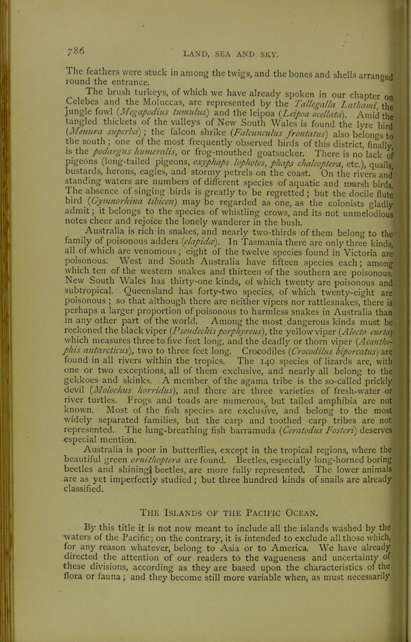 The feathers were stuck in among the twigs, and the bones and shells round the entrance. The brush turkeys, of which we have already spoken in our chapter on Celebes and the Moluccas, are represented by the Tallegalla Lathami the jungle fowl {Mcgapodius tiirmiUis) and the leipoa {Leipoa ocellata). Amid the tangled thickets of the valleys of New South Wales is found the lyre bird {Meimra superba)\ the falcon shrike {Falamailus frontahis) also belongs to the south ; one of the most frequently observed birds of this district, finally is the podargiis Jmineralis, or frog-mouthed goatsucker. There is no'lack of pigeons (long-tailed pigeons, oxyphaps lophotes, phap^ chalcoptera, etc.), quails bustards, herons, eagles, and stormy petrels on the coast. On the rivers and standing waters are numbers of different species of aquatic and marsh birds The absence of singing birds is greatly to be regretted ; but the docile flute bird _ {Gymiiorhina tibicen) may be regarded as one, as the colonists gladly admit; it belongs to the species of whistling crows, and its not unmclodious notes cheer and rejoice the lonely wanderer in the bush. Australia is rich in snakes, and nearly two-thirds of them belong to the family of poisonous adders ielapidce). In Tasmania there are only three kinds, all of which are venomous ; eight of the twelve species found in Victoria are poisonous. West and South Australia have fifteen species each; among which ten of the western snakes and thirteen of the southern are poisonous. New South Wales has thirty-one kinds, of which twenty are poisonous and subtropical. Queensland has forty-two species, of which twenty-eight are poisonous ; so that although there are neither vipers nor rattlesnakes, there is perhaps a larger proportion of poisonous to harmless snakes in Australia than in any other part of the world. Among the most , dangerous kinds must be reckoned the black viper {Pseiidechisporphyreiis), the yellow viper {Alecto mrta) which measures three to five feet long, and the deadly or thorn viper {Acantho- phis antarctiais), two to three feet long. Crocodiles {Crocodihis biporcatiis) are found in all rivers within the tropics. The 140 species of lizards are, with one or two exceptions, all of them exclusive, and nearly all belong to the gekkoes and skinks. A member of the agama tribe is the so-called prickly devil {MolocJms horridus)^ and there are three varieties of fresh-water or river turtles. Frogs and toads are numerous, but tailed amphibia are not known. Most of the fish species are exclusive, and belong to the most widely separated families, but the carp and toothed carp tribes are not represented. The lung-breathing fish barramuda {Ceratodics Fosteri) deserves especial mention. Australia is poor in butterflies, except in the tropical regions, where the beautiful green ornithopiera are found. Beetles, especially long-horned boring beetles and shiningi beetles, are more fully represented. The lower animals are as yet imperfectly studied ; but three hundred kinds of snails are already classified. The Islands of the Pacific Ocean. By this title it is not now meant to include all the islands washed by the -waters of the Pacific; on the contrary, it is intended to exclude all those which, for any reason whatever, belong to Asia or to America. We have already directed the attention of our readers to the vagueness and uncertainty of these divisions, according as they are based upon the characteristics of the flora or fauna; and they become still more variable when, as must necessarily