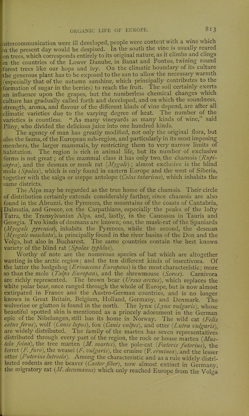 intercommunication were ill developed, people were content with a wme which in the present day would be despised. In the south the vine is usually reared on trees, which corresponds entirely to its original nature, as it climbs and clmgs in the countries of the Lower Danube, in Banat and Pontus, twining round forest trees like our hops and ivy. On the climatic boundary of its culture the generous plant has to be exposed to the sun to allow the necessary warmth (especially that of the autumn sunshine, which principally contributes to the formation of sugar in the berries) to reach the fruit. The soil certainly exerts an influence upon the grapes, but the numberless chemical changes which culture has gradually called forth and developed, and on which the soundness, strength, aroma, and flavour of the different kinds of vine depend, are after all climatic varieties due to the varying degree of heat The number of the varieties is countless.  As many vineyards as many kinds of wine, said Pliny, who divided the delicious juice into one hundred kinds. The agency of man has greatly modified, not only the original flora, but ialso the fauna, of the European sub-region, and particularly in its most imposing jmembers, the larger mammals, by restricting them to very narrow limits of (habitation. The region is rich in animal life, but its number of exclusive ; forms is not great; of the mammal class it has only two, the chamois {Rupi- ^caprd), and the desman or musk rat {Mygale); almost exclusive is the blind mole {Spalax), which is only found in eastern Europe and the west of Siberia, together with the saiga or steppe antelope {Coins tatai'icus), which inhabits the same districts. The Alps may be regarded as the true home of the chamois. Their circle of distribution certainly extends considerably farther, since chamois are also found in the Abruzzi, the Pyrenees, the mountains of the coasts of Cantabria, Dalmatia, and Greece, on the Carpathians, especially the peaks of the lofty Tatra, the Transylvanian Alps, and, lastly, in the Caucasus in Tauris and Georgia. Two kinds of desmans are known; one, the musk-rat of the Spaniards {Myogale pyrenicd), inhabits the Pyrenees, while the second, the desman {Myogale moschata), is principally found in the river basins of the Don and the Volga, but also in Bucharest. The same countries contain the best known variety of the blind rat {Spalax typhlus). Worthy of note are the numerous species of bat which are altogether wanting in the arctic region; and the ten different kinds of insectivora. Of I the latter the hedgehog {ErinaceoiLs Eiiropcsus) is the most characteristic; more I so than the mole (Talpa Eiwopcsa), and the shrewmouse (Sorex). Carnivora are richly represented. The brown bear {Ursiis arctiis), which replaces the white polar bear, once ranged through the whole of Europe, but is now almost extirpated in France and the Austro-German countries, and is no longer known in Great Britain, Belgium, Holland, Germany, and Denmark. The wolverine or glutton is found in the north. The lynx {Lynx vulgaris), whose beautiful spotted skin is mentioned as a princely adornment in the German epic of tlie Nibelungen, still has its home in Norway. The wild cat {Felis ' catus ferns), wolf {Canis Inpns), fox {Canis vnlpes), and otter {Lutra vulgaris), are widely distributed. The family of the marten has seven representatives distributed through every part of the region, the rock or house marten {Miis- iela foina), the tree marten {M. martes), the pole-cat {Fcvtoris fniorius), the ferret {F.fnro), the weasel {F. vnlgaris), the ermine (F. erminea), and the lesser otter {Pntorins Intreola). Among the characteristic and as a rule widely distri- buted rodents are the beaver {Castorfiber), now almost extinct in Germany, the migratory rat {M. decnmanns) which only reached Europe from the Volc^a
