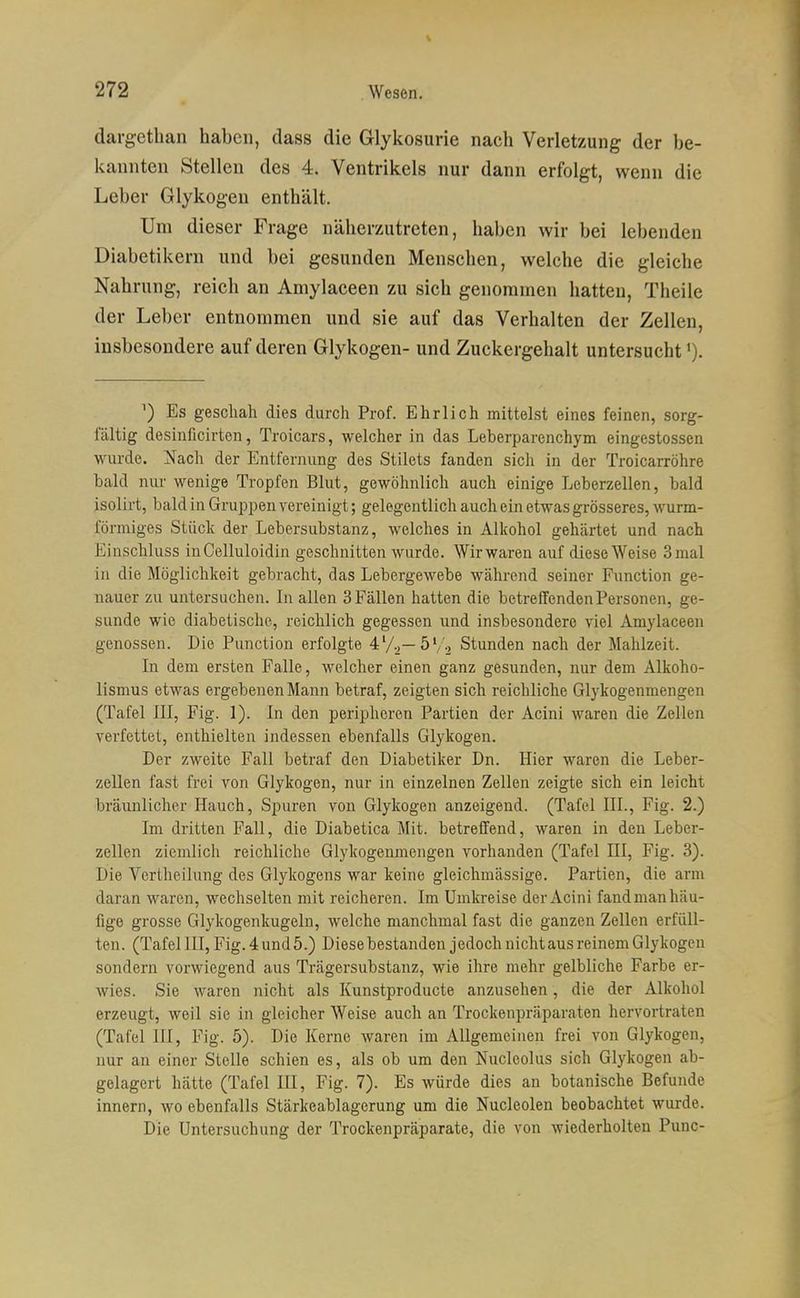 dargetlian haben, dass die Glykosurie nach Verletzung der be- kannten Stellen des 4. Ventrikels nur dann erfolgt, wenn die Leber Glykogen enthält. Um dieser Frage näherzutreten, haben wir bei lebenden Diabetikern und bei gesunden Menschen, welche die gleiche Nahrung, reich an Amylaceen zu sich genommen hatten, Theile der Leber entnommen und sie auf das Verhalten der Zellen, insbesondere auf deren Glykogen- und Zuckergehalt untersucht'). ^) Es geschah dies durch Prof. Ehrlich mittelst eines feinen, sorg- fältig desinficirten, Troicars, welcher in das Leberparenchym eingestossen wurde. Nach der Entfernung des Stilets fanden sich in der Troicarröhre bald niu' wenige Tropfen Blut, gewöhnlich auch einige Leberzellen, bald isolirt, bald in Gruppen vereinigt; gelegentlich auch ein etwas grösseres, wurm- förmiges Stück der Lebersubstanz, welches in Alkohol gehärtet und nach Einschluss inCelluloidin geschnitten wurde. Wir waren auf diese Weise 3mal in die Möglichkeit gebracht, das Lebergewebe während seiner Function ge- nauer zu untersuchen. In allen 3 Fällen hatten die betreffenden Personen, ge- sunde wie diabetische, reichlich gegessen und insbesondere viel Amylaceen genossen. Die Punction erfolgte 4'/.,—ö'/o Stunden nach der Mahlzeit. In dem ersten Falle, welcher einen ganz gesunden, nur dem Alkoho- lismus etwas ergebenen Mann betraf, zeigten sich reichliche Glykogenmengen (Tafel III, Fig. 1). In den peripheren Partien der Acini waren die Zellen verfettet, enthielten indessen ebenfalls Glykogen. Der zweite Fall betraf den Diabetiker Dn. Hier waren die Leber- zellen fast frei von Glykogen, nur in einzelnen Zellen zeigte sich ein leicht bräunlicher Hauch, Spuren von Glykogen anzeigend. (Tafel III., Fig. 2.) Im dritten Fall, die Diabetica Mit. betreffend, waren in den Leber- zellen ziemlich reichliche Glykogenmengen vorhanden (Tafel HI, Fig. 3). Die Vertheilung des Glykogens war keine gleichmässige. Partien, die arm daran waren, wechselten mit reicheren. Im Umkreise der Acini fand man häu- fige grosse Glykogenkugeln, welche manchmal fast die ganzen Zellen erfüll- ten. (Tafel III, Fig. 4 und 5.) Diese bestanden jedoch nicht aus reinem Glykogen sondern vorwiegend aus Trägersubstanz, wie ihre mehr gelbliche Farbe er- wies. Sie waren nicht als Kunstproducte anzusehen, die der Alkohol erzeugt, weil sie in gleicher Weise auch an Trockenpräparaten hervortraten (Tafel III, Fig. 5). Die Kerne waren im Allgemeinen frei von Glykogen, nur an einer Stelle schien es, als ob um den Nucleolus sich Glykogen ab- gelagert hätte (Tafel III, Fig. 7). Es würde dies au botanische Befunde Innern, wo ebenfalls Stärkeablagerung um die Nucleolen beobachtet wurde. Die Untersuchung der Trockenpräparate, die von wiederholten Punc-