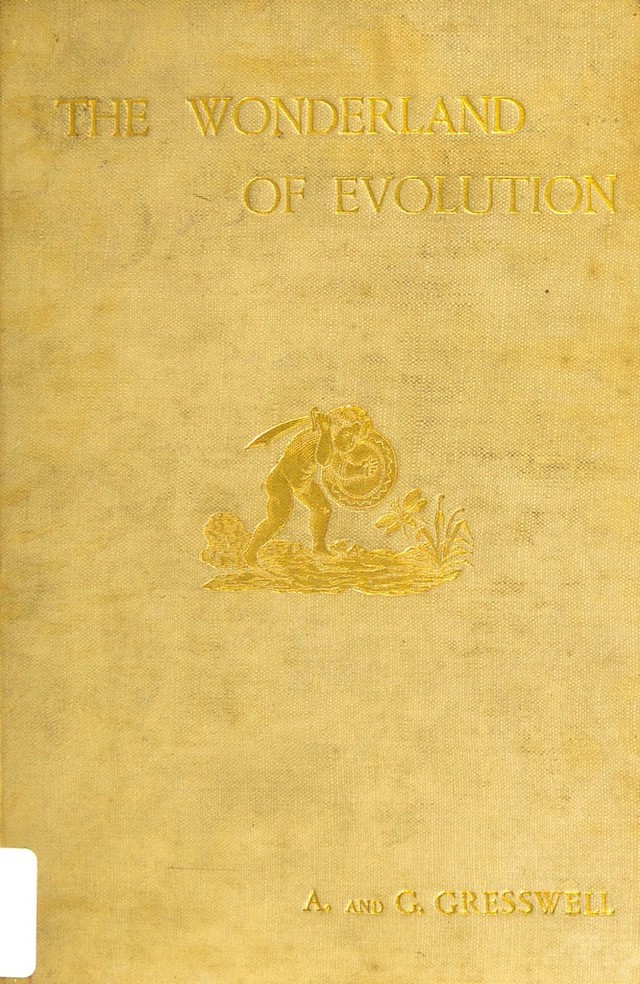 No text description is available for this image