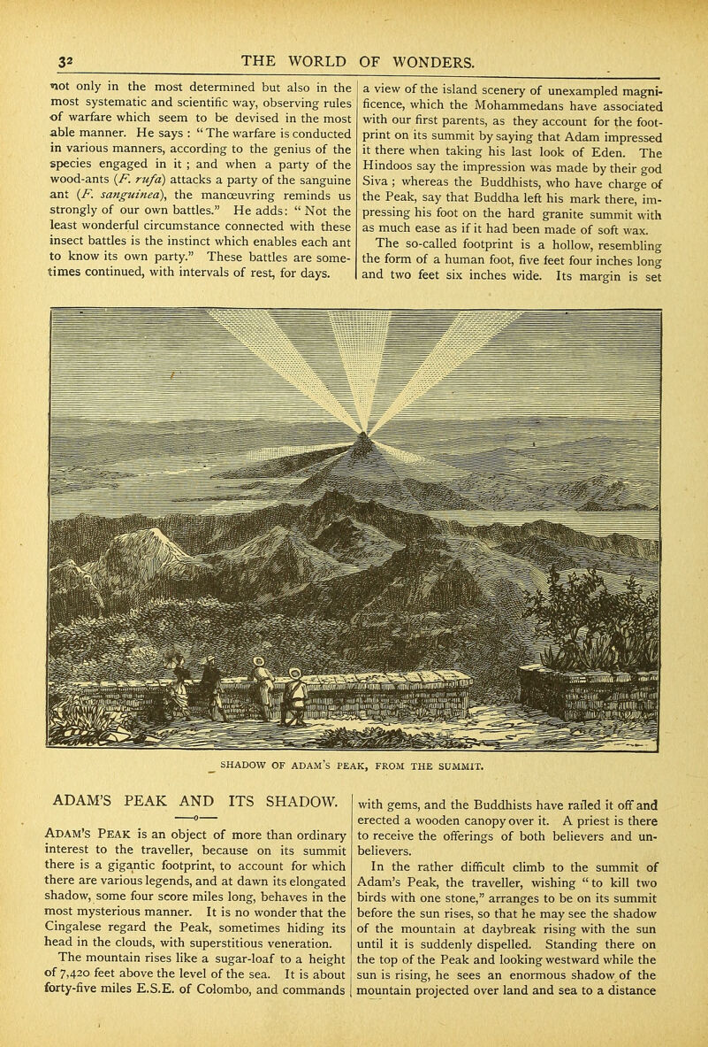 not only in the most determined but also in the most systematic and scientific way, observing rules of warfare which seem to be devised in the most able manner. He says :  The warfare is conducted in various manners, according to the genius of the species engaged in it ; and when a party of the wood-ants (/^ rufa) attacks a party of the sanguine ant {F. sanguinea), the manoeuvring reminds us strongly of our own battles. He adds:  Not the least wonderful circumstance connected with these insect battles is the instinct which enables each ant to know its own party. These battles are some- times continued, with intervals of rest, for days. a view of the island scenery of unexampled magni- ficence, which the Mohammedans have associated with our first parents, as they account for the foot- print on its summit by saying that Adam impressed it there when taking his last look of Eden. The Hindoos say the impression was made by their god Siva ; whereas the Buddhists, who have charge of the Peak, say that Buddha left his mark there, im- pressing his foot on the hard granite summit with as much ease as if it had been made of soft wax. The so-called footprint is a hollow, resembHng the form of a human foot, five feet four inches long and two feet six inches wide. Its margin is set SHADOViT OF ADAM'S PEAK, FROM THE SUMMIT. ADAM'S PEAK AND ITS SHADOW. Adam's Peak is an object of more than ordinary interest to the traveller, because on its summit there is a gigantic footprint, to account for which there are various legends, and at dawn its elongated shadow, some four score miles long, behaves in the most mysterious manner. It is no wonder that the Cingalese regard the Peak, sometimes hiding its head in the clouds, with superstitious veneration. The mountain rises like a sugar-loaf to a height of 7,420 feet above the level of the sea. It is about forty-five miles E.S.E. of Colombo, and commands with gems, and the Buddhists have railed it off and erected a wooden canopy over it. A priest is there to receive the offerings of both believers and un- believers. In the rather difficult climb to the summit of Adam's Peak, the traveller, wishing to kill two birds with one stone, arranges to be on its summit before the sun rises, so that he may see the shadow of the mountain at daybreak rising with the sun until it is suddenly dispelled. Standing there on the top of the Peak and looking westward while the sun is rising, he sees an enormous shadow of the mountain projected over land and sea to a distance 1