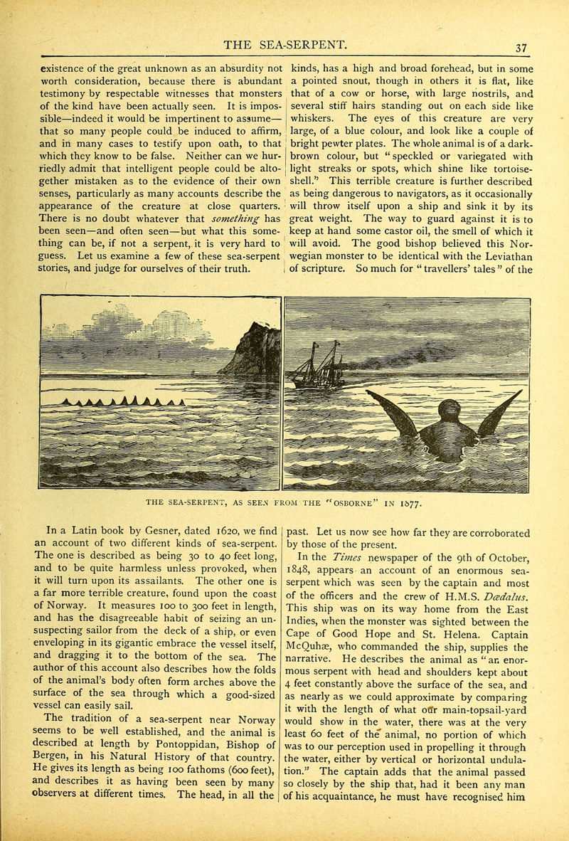 existence of the great unknown as an absurdity not kinds, has a high and broad forehead, but in some worth consideration, because there is abundant a pointed snout, though in others it is flat, like testimony by respectable witnesses that monsters that of a cow or horse, with large nostrils, and of the kind have been actually seen. It is impos- : several stiff hairs standing out on each side like sible—indeed it would be impertinent to assume— j whiskers. The eyes of this creature are very that so many people could be induced to affirm, ; large, of a blue colour, and look like a couple of and in many cases to testify upon oath, to that ' bright pewter plates. The whole animal is of a dark- which they know to be false. Neither can we hur- brown colour, but  speckled or variegated with riedly admit that intelligent people could be alto- j light streaks or spots, which shine like tortoise- gether mistaken as to the evidence of their own shell. This terrible creature is further described senses, particularly as many accounts describe the as being dangerous to navigators, as it occasionally appearance of the creature at close quarters, will throw itself upon a ship and sink it by its There is no doubt whatever that something has great weight. The way to guard against it is to been seen—and often seen—but what this some- keep at hand some castor oil, the smell of which it thing can be, if not a serpent, it is very hard to will avoid. The good bishop believed this Nor- guess. Let us examine a few of these sea-serpent ^ wegian monster to be identical with the Leviathan stories, and judge for ourselves of their truth. I of scripture. So much for  travellers' tales  of the THE SEA-SERPENT, AS SEEN FROM THE OSBORNE IN 1677. In a Latin book by Gesner, dated 1620, we find | past. Let us now see how far they are corroborated by those of the present. In the Times newspaper of the 9th of October, 1848, appears an account of an enormous sea- serpent which was seen by the captain and most of the officers and the crew of H.M.S. Dcedalus. This ship was on its way home from the East Indies, when the monster was sighted between the Cape of Good Hope and St. Helena. Captain McQuhas, who commanded the ship, supplies the narrative. He describes the animal as an enor- mous serpent with head and shoulders kept about 4 feet constantly above the surface of the sea, and as nearly as we could approximate by comparing it with the length of what otTr main-topsail-yard would show in the water, there was at the very least 60 feet of the' animal, no portion of which was to our perception used in propelling it through the water, either by vertical or horizontal undula- tion. The captain adds that the animal passed so closely by the ship that, had it been any man of his acquaintance, he must have recognised him an account of two different kinds of sea-serpent. The one is described as being 30 to 40 feet long, and to be quite harmless unless provoked, when it will turn upon its assailants. The other one is a far more terrible creature, found upon the coast of Norway. It measures 100 to 300 feet in length, and has the disagreeable habit of seizing an un- suspecting sailor from the deck of a ship, or even enveloping in its gigantic embrace the vessel itself, and dragging it to the bottom of the sea. The author of this account also describes how the folds of the animal's body often form arches above the surface of the sea through which a good-sized vessel can easily sail. The tradition of a sea-serpent near Norway seems to be well established, and the animal is described at length by Pontoppidan, Bishop of Bergen, in his Natural History of that country. He gives its length as being 100 fathoms (600 feet), and describes it as having been seen by many observers at different times. The head, in all the