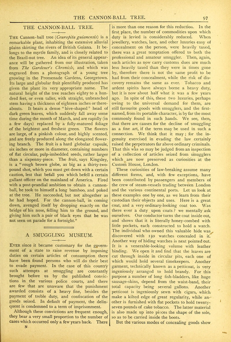 THE CANNON-BALL TREE. The Cannon-ball tree {Couropita gttiaiiensis) is a remarkable plant, inhabiting the extensive alluvial plains skirting the rivers of British Guiana. It be- longs to the myrtle family, and is closely related to the Brazil-nut tree. An idea of its general appear- ance will be gathered from our illustration, taken from The Gardener's Chronicle, and which was engraved from a photograph of a young tree growing in the Promenade Gardens, Georgetown. Its large and globular fruit plentifully produced has given the plant its very appropriate name. The natural height of the tree reaches eighty to a hun- dred feet, or even taller, with straight, unbranched stem having a thickness of eighteen inches or there- abouts. It bears a dense  hive-shaped head of dark green leaves, which suddenly fall away some time during the month of March, and are rapidly (in a few days) replaced by a fully-matured foliage of the brightest and freshest green. The flowers are large, of a pinkish colour, and highly scented, and are freely produced along the elongated flower- ing branch. The fruit is a hard globular capsule, six inches or more in diameter, containing numbers of flat circular, pulp-imbedded seeds, rather larger than a sixpenny-piece. The fruit, says Kingsley, is a  rough brown globe, as big as a thirty-two- pound shot, which you must get down with a certain caution, lest that befall you which befell a certain gallant officer on the mainland of America. Fired with a post-prandial ambition to obtain a cannon- ball, he took to himself a long bamboo, and poked at the tree. He succeeded, but not altogether as he had hoped. For the cannon-ball, in coming down, avenged itself by dropping exactly on the bridge of his nose, felling Tiim to the ground, and giving him such a pair of black eyes that he was not seen on parade for a fortnight. A SMUGGLING MUSEUM. Ever since it became customary for the gpvern- ment of a state to raise revenue by imposing duties on certain articles of consumption there have been found persons who will do their best to evade payment. In the case of this country such attempts at smuggling are constantly brought before us by the published convic- tions in the various police courts, and there are few that are unaware that the punishment awarded consists of a heavy fine, besides the payment of treble duty, and confiscation of the goods seized. In default of payment, the delin- quent is condemned to a term of imprisonment. Although these convictions are frequent enough, they bear a very small proportion to the number of cases which occurred only a few years back. There N is more than one reason for this reduction. In the first place, the number of commodities upon which duty is levied is considerably reduced. When jewellery, watches, lace, and other luxuries easy of concealment on the person, were heavily taxed, there was a great temptation offered to both the professional and amateur smuggler. Then, again, such articles as now carry customs dues are much less heavily taxed than they were in times gone by, therefore there is not the same profit to be had from their concealment, while the risk of dis- covery remains the same as ever. Tobacco and ardent spirits have always borne a heavy duty, but it is now about half what it was a few years ago. In spite of this, these two luxuries, perhaps owing to the universal demand for them, are still favourite goods with smugglers, and the first- named, from its portable character, is by far the most commonly found in such hands. We see, then, that there are causes for the decline of smuggling as a fine art, if the term may be used in such a connection. We think that it may ; for the in- genuity exercised in evading the law certainly raised the perpetrators far above ordinary criminals. That this was so may be judged from an inspection of a collection of articles seized from smugglers which are now preserved as curiosities at the Custom House, London. These curiosities of law-breaking assume many different forms, and, with few exceptions, have been contributed by passengers and members of the crew of steam-vessels trading between London and the various continental ports. Let us look at these examples one by one, as we learn from their custodian their objects and uses. Here is a great coat, and a very ordinary-looking coat too. Was there ever a duty upon coats ? we mentally ask ourselves. Our conductor turns the coat inside out, and shows that it is literally honey-combed with little pockets, each constructed to hold a watch. The individual who owned this valuable hide was^ discovered with 150 watches concealed in it. Another way of hiding watches is next pointed out. It is a venerable-looking volume with leather binding. We open it and find that the leaves are cut through inside in circular pits, each one of which would hold several timekeepers. Another garment, technically known as a petticoat, is very ingeniously arranged to hold brandy. For this purpose a number of long fish-bladders, like huge sausage-skins, depend from the waist-band, their total capacity being several gallons. Another petticoat is ingeniously sewn with cigars, which make a kilted edge of great regularity, while an-- other is furnished with flat pockets to hold twenty- seven pounds of cake tobacco. The latter material is also made up into pieces the shape of the sole, so as to be carried inside the boots. But the various modes of concealing goods show