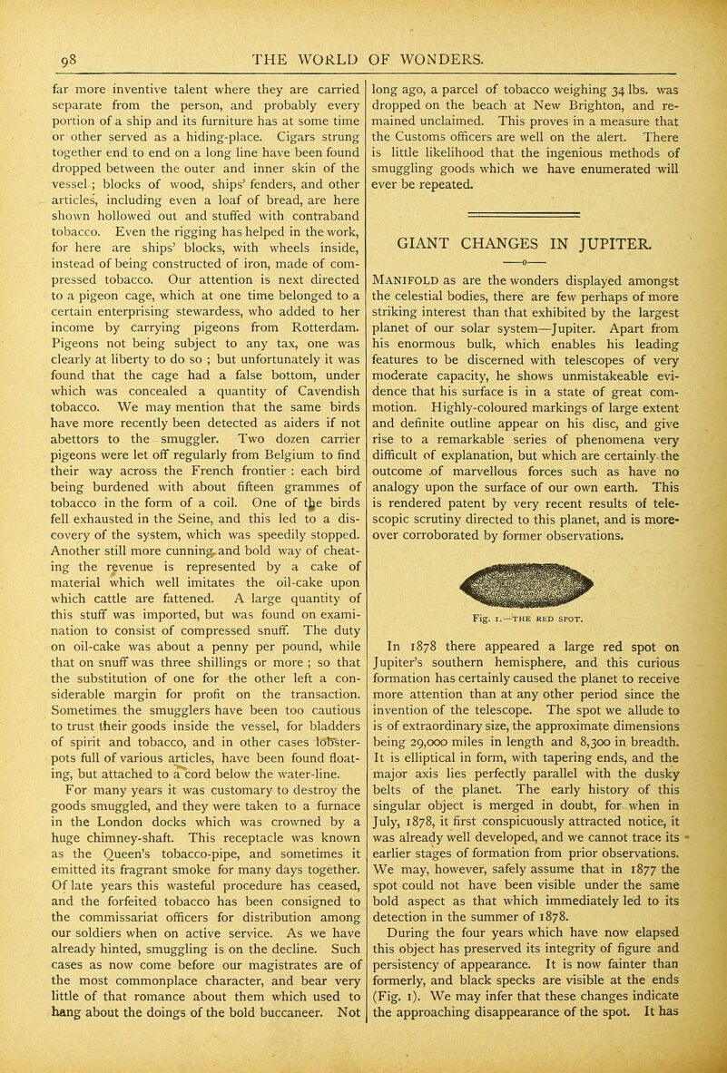 far more inventive talent where they are carried separate from the person, and probably every portion of a ship and its furniture has at some time or other served as a hiding-place. Cigars strung together end to end on a long line have been found dropped betvi'een the outer and inner skin of the vessel ; blocks of wood, ships' fenders, and other articles, including even a loaf of bread, are here shown hollowed out and stuffed with contraband tobacco. Even the rigging has helped in the work, for here are ships' blocks, with wheels inside, instead of being constructed of iron, made of com- pressed tobacco. Our attention is next directed to a pigeon cage, which at one time belonged to a certain enterprising stewardess, who added to her income by carrying pigeons from Rotterdam. Pigeons not being subject to any tax, one was clearly at liberty to do so ; but unfortunately it was found that the cage had a false bottom, under which was concealed a quantity of Cavendish tobacco. We may mention that the same birds have more recently been detected as aiders if not abettors to the smuggler. Two dozen carrier pigeons were let off regularly from Belgium to find their way across the French frontier : each bird being burdened with about fifteen grammes of tobacco in the form of a coil. One of t]je birds fell exhausted in the Seine, and this led to a dis- covery of the system, which was speedily stopped. Another still more cunning:, and bold way of cheat- ing the revenue is represented by a cake of material which well imitates the oil-cake upon which cattle are fattened. A large quantity of this stuff was imported, but was found on exami- nation to consist of compressed snuff. The duty on oil-cake was about a penny per pound, while that on snuff was three shillings or more ; so that the substitution of one for the other left a con- siderable margin for profit on the transaction. Sometimes the smugglers have been too cautious to trust their goods inside the vessel, for bladders of spirit and tobacco, and in other cases lo^ster- pots full of various articles, have been found float- ing, but attached to a cord below the water-line. For many years it was customary to destroy the goods smuggled, and they were taken to a furnace in the London docks which was crowned by a huge chimney-shaft. This receptacle was known as the Queen's tobacco-pipe, and sometimes it emitted its fragrant smoke for many days together. Of late years this wasteful procedure has ceased, and the forfeited tobacco has been consigned to the commissariat officers for distribution among our soldiers when on active service. As we have already hinted, smuggling is on the decline. Such cases as now come before our magistrates are of the most commonplace character, and bear very little of that romance about them which used to hang about the doings of the bold buccaneer. Not long ago, a parcel of tobacco weighing 34 lbs. was dropped on the beach at New Brighton, and re- mained unclaimed. This proves in a measure that the Customs officers are well on the alert. There is little likelihood that the ingenious methods of smuggling goods which we have enumerated will ever be repeated. GIANT CHANGES IN JUPITER. Manifold as are the wonders displayed amongst the celestial bodies, there are few perhaps of more striking interest than that exhibited by the largest planet of our solar system—Jupiter. Apart from his enormous bulk, which enables his leading features to be discerned with telescopes of very moderate capacity, he shows unmistakeable evi- dence that his surface is in a state of great com- motion. Highly-coloured markings of large extent and definite outline appear on his disc, and give rise to a remarkable series of phenomena very difficult of explanation, but which are certainly, the outcome ,of marvellous forces such as have no analogy upon the surface of our own earth. This is rendered patent by very recent results of tele- scopic scrutiny directed to this planet, and is more- over corroborated by former observations. Fig. I.—THE RED SPOT. In 1878 there appeared a large red spot on Jupiter's southern hemisphere, and this curious formation has certainly caused the planet to receive more attention than at any other period since the invention of the telescope. The spot we allude to is of extraordinary size, the approximate dimensions being 29,000 miles in length and 8,300 in breadth. It is elliptical in form, with tapering ends, and the major axis lies perfectly parallel with the dusky belts of the planet. The early history of this singular object is merged in doubt, for when in July, 1878, it first conspicuously attracted notice, it was already well developed, and we cannot trace its - earlier stages of formation from prior observations. We may, however, safely assume that in 1877 the spot could not have been visible under the same bold aspect as that which immediately led to its detection in the summer of 1878. During the four years which have now elapsed this object has preserved its integrity of figure and persistency of appearance. It is now fainter than formerly, and black specks are visible at the ends (Fig. i). We may infer that these changes indicate the approaching disappearance of the spot. It has