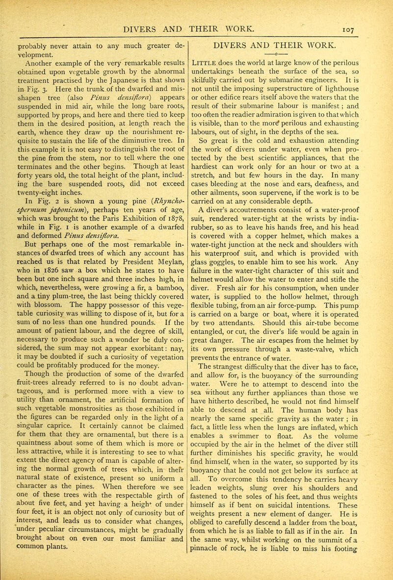 DIVERS AND THEIR WORK. probably never attain to any much greater de- velopment. Another example of the very remarkable results obtained upon vegetable growth by the abnormal treatment practised by the Japanese is that shown in Fig. 3. Here the trunk of the dwarfed and mis- shapen tree (also Pinus densiflora) appears suspended in mid air, while the long bare roots, supported by props, and here and there tied to keep them in the desired position, at length reach the earth, whence they draw up the nourishment re- quisite to sustain the life of the diminutive tree. In this example it is not easy to distinguish the root of the pine from the stem, nor to tell where the one terminates and the other begins. Though at least forty years old, the total height of the plant, includ- ing the bare suspended roots, did not exceed twenty-eight inches. In Fig. 2 is shown a young pine {Rhyncho- spermitm japonicuin), perhaps ten years of age, which was brought to the Paris Exhibition of 1878, while in Fig. i is another example of a dwarfed and deformed Pinus densiflora. But perhaps one of the most remarkable in- stances of dwarfed trees of which any account has reached us is that related by President Meylan, who in 1826 saw a box which he states to have been but one inch square and three inches high, in which, nevertheless, were growing a fir, a bamboo, and a tiny plum-tree, the last being thickly covered with blossom. The happy possessor of this vege- table curiosity was wiUing to dispose of it, but for a sum of no less than one hundred pounds. If the amount of patient labour, and the degree of skill, necessary to produce such a wonder be duly con- sidered, the sum may not appear exorbitant: nay, it may be doubted if such a curiosity of vegetation could be profitably produced for the money. Though the production of some of the dwarfed fruit-trees already referred to is no doubt advan- tageous, and is performed more with a view to utility than ornament, the artificial formation of such vegetable monstrosities as those exhibited in the figures can be regarded only in the light of a singular caprice. It certainly cannot be claimed for them that they are ornamental, but there is a quaintness about some of them which is more or less attractive, while it is interesting to see to what extent the direct agency of man is capable of alter- ing the normal growth of trees which, in their natural state of existence, present so uniform a character as the pines. When therefore we see one of these trees with the respectable girth of about five feet, and yet having a heigh*- of under four feet, it is an object not only of curiosity but of interest, and leads us to consider what changes, under peculiar circumstances, might be gradually brought about on even our most familiar and common plants. DIVERS AND THEIR WORK. Little does the world at large know of the perilous undertakings beneath the surface of the sea, so skilfully carried out by submarine engineers. It is not until the imposing superstructure of lighthouse or other edifice rears itself above the waters that the result of their submarine labour is manifest ; and too often the readier admiration is given to that which is visible, than to the mor^ perilous and exhausting labours, out of sight, in the depths of the sea. So great is the cold and exhaustion attending the work of divers under water, even when pro- tected by the best scientific appliances, that the hardiest can work only for an hour or two at a stretch, and but few hours in the day. In many cases bleeding at the nose and ears, deafness, and other ailments, soon supervene, if the work is to be carried on at any considerable depth. A diver's accoutrements consist of a water-proof suit, rendered water-tight at the wrists by india- rubber, so as to leave his hands free, and his head is covered with a copper helmet, which makes a water-tight junction at the neck and shoulders with his waterproof suit, and which is provided with glass goggles, to enable him to see his work. Any failure in the water-tight character of this suit and helmet would allow the water to enter and stifle the diver. Fresh air for his consumption, when under water, is supplied to the hollow helmet, through flexible tubing, from an air force-pump. This pump is carried on a barge or boat, where it is operated by two attendants. Should this air-tube become entangled, or cut, the diver's life would be again in great danger. The air escapes from the helmet by its own pressure through a waste-valve, which prevents the entrance of water. The strangest difficulty that the diver has to face, and allow for, is the buoyancy of the surrounding water. Were he to attempt to descend into the sea without any further appliances than those we have hitherto described, he would not find himself able to descend at all. The human body has nearly the same specific gravity as the water ; in fact, a little less when the lungs are inflated, which enables a swimmer to float. As the volume occupied by the air in the helmet of the diver still further diminishes his specific gravity, he would find himself, when in the water, so supported by its buoyancy that he could not get below its surface at all. To overcome this tendency he carries heavy leaden weights, slung over his shoulders and fastened to the soles of his feet, and thus weights himself as if bent on suicidal intentions. These weights present a new element of danger. He is obliged to carefully descend a ladder from the boat, from which he is as liable to fall as if in the air. In the same way, whilst working on the summit of a pinnacle of rock, he is liable to miss his footings