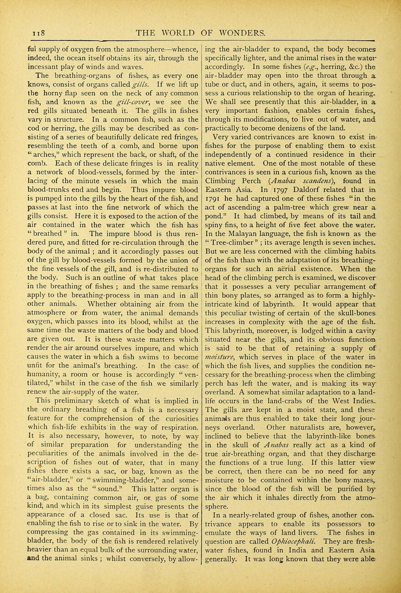 ful supply of oxygen from the atmosphere—whence, indeed, the ocean itself obtains its air, through the incessant play of winds and waves. The breathing-organs of fishes, as every one knows, consist of organs called gills. If we lift up the horny flap seen on the neck of any common fish, and known as the gill-cover, we see the red gills situated beneath it. The gills in fishes vary in structure. In a common fish, such as the cod or herring, the gills may be described as con- sisting of a series of beautifully delicate red fringes, resembling the teeth of a comb, and borne upon arches, which represent the back, or shaft, of the comb. Each of these delicate fringes is in reality a network of blood-vessels, formed by the inter- lacing of the minute vessels in which the main blood-trunks end and begin. Thus impure blood is pumped into the gills by the heart of the fish, and passes at last into the fine network of which the gills consist. Here it is exposed to the action of the air contained in the water which the fish has breathed in. The impure blood is thus ren- dered pure, and fitted for re-circulation through the body of the animal ; and it accordingly passes out of the gill by blood-vessels formed by the union of the fine vessels of the gill, and is re-distributed to the body. Such is an outline of what takes place in the breathing of fishes ; and the same remarks apply to the breathing-process in man and in all other animals. Whether obtaining air from the atmosphere or from water, the animal demands oxygen, which passes into its blood, whilst at the same time the waste matters of the body and blood are given out. It is these waste matters which render the air around ourselves impure, and which causes the water in which a fish swims to become unfit for the animal's breathing. In the case of humanity, a room or house is accordingly ven- tilated, whilst in the case of the fish we similarly renew the air-supply of the water. This prehminary sketch of what is implied in the ordinary breathing of a fish is a necessary feature for the comprehension of the curiosities which fish-life exhibits in the way of respiration. It is also necessary, however, to note, by way of similar preparation for understanding the peculiarities of the animals involved in the de- scription of fishes out of water, that in many fishes there exists a sac, or bag, known as the air-bladder, or swimming-bladder, and some- times also as the sound. This latter organ is a bag, containing common air, or gas of some kind, and which in its simplest guise presents the appearance of a closed sac. Its use is that of enabling the fish to rise or to sink in the water. By compressing the gas contained in its swimming- bladder, the body of the fish is rendered relatively heavier than an equal bulk of the surrounding water, and the animal sinks ; whilst conversely, by allow- ing the air-bladder to expand, the body becomes specifically lighter, and the animal rises in the water accordingly. In some fishes {e.g., herring, &c.) the air-bladder may open into the throat through a tube or duct, and in others, again, it seems to pos- sess a curious relationship to the organ of hearing. We shall see presently that this air-bladder, in a. very important fashion, enables certain fishes> through its modifications, to live out of water, and practically to become denizens of the land. Very varied contrivances are known to exist vet- fishes for the purpose of enabling them to exist independently of a continued residence in their native element. One of the most notable of these contrivances is seen in a curious fish, known as the Climbing Perch {Anabas scandens), found in Eastern Asia. In 1797 Daldorf related that irt 1791 he had captured one of these fishes in the act of ascending a palm-tree which grew near a. pond. It had climbed, by means of its tail and spiny fins, to a height of five feet above the water. In the Malayan language, the fish is known as the Tree-climber ; its average length is seven inches. But we are less concerned with the climbing habits, of the fish than with the adaptation of its breathing- organs for such an aerial existence. When the head of the climbing perch is examined, we discover that it possesses a very peculiar arrangement of thin bony plates, so arranged as to form a highly- intricate kind of labyrinth. It would appear that this peculiar twisting of certain of the skull-bones, increases in complexity with the age of the fish. This labyrinth, moreover, is lodged within a cavity- situated near the gills, and its obvious function is said to be that of retaining a supply of moisture, which serves in place of the water in which the fish lives, and supplies the condition ne- cessary for the breathing-process when the climbing perch has left the water, and is making its way~ overland. A somewhat similar adaptation to a land- life occurs in the land-crabs of the West Indies^ The gills are kept in a moist state, and these animus are thus enabled to take their long jour- neys overland. Other naturalists are, however^, inclined to believe that the labyrinth-like bones in the skull of Atiabas really act as a kind of true air-breathing organ, and that they discharge the functions of a true lung. If this latter view be correct, then there can be no need for any moisture to be contained within the bony mazes,^ since the blood of the fish will be purified by the air which it inhales directly from the atmo- sphere. In a nearly-related group of fishes, another com trivance appears to enable its possessors to emulate the ways of land livers. The fishes in question are called Ophiocephali. They are fresh- water fishes, found in India and Eastern Asia generally. It was long known that they were able: